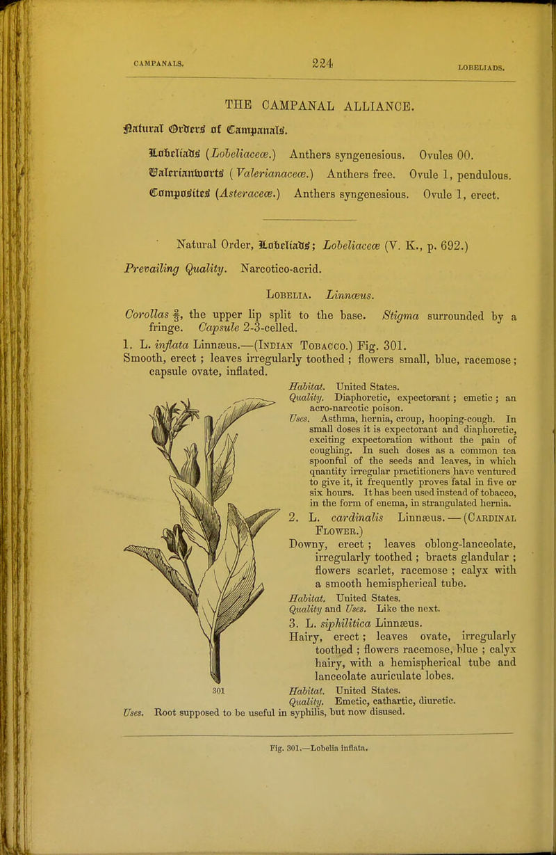 LOBELIADS. THE CAMPANAL ALLIANCE. iSahtral ©rtcriS of CamjjanaW. ILflicKallg {Loheliacece.) Anthers syngenesious. Ovules 00. WnXtrmmaxt^ {Valerianacece.) Anthers free. Ovule 1, pendulous. €am^a^ite^ {Asteracece.) Anthers syngenesious. Ovule 1, erect. Natural Order, HafitliiOsg; Loheliacece (V. K., p. 692.) Prevailing Quality. Narcotico-acrid. Stigma surrounded by a Lobelia. Linnceus. Corollas f, the upper lip split to the base, fringe. Capsule 2-3-eelled. 1. L. injlata Linnseus.—(Indian Tobacco.) Fig. 301. Smooth, erect ; leaves irregularly toothed ; flowers small, blue, racemose; capsule ovate, inflated. Habitat. United States. Qiuxlity. Diaphoretic, expectorant; emetic ; an aero-narcotic poison. Uses. Asthma, hernia, croup, hooping-cough. In small doses it is expectorant and diaphoretic, exciting expectoration without the pain of coughing. In such doses as a common tea spoonful of the seeds and leaves, in which quantity irregular practitioners have ventured to give it, it frequently proves fatal in five or six hours. It has been used instead of tobacco, in the form of enema, in strangulated hernia. 2. L. cardinalis Linnseus. — (Cardinal Flower.) Downy, erect ; leaves oblong-lanceolate, irregularly toothed ; bracts glandular ; flowers scarlet, racemose ; calyx with a smooth hemispherical tube. Habitat. United States. Quality and Uses. Like the next. 3. L. sipMlitica Linnseus. Hairy, erect; leaves ovate, irregularly toothed ; flowers racemose, blue ; calyx hairy, with a hemispherical tube and lanceolate auriculate lobes. 301 Habitat. United States. Quality. Emetic, cathartic, diuretic. Uses. Root supposed to be useful in syphilis, but now disused. Fig. 301.—Lobelia inflata.
