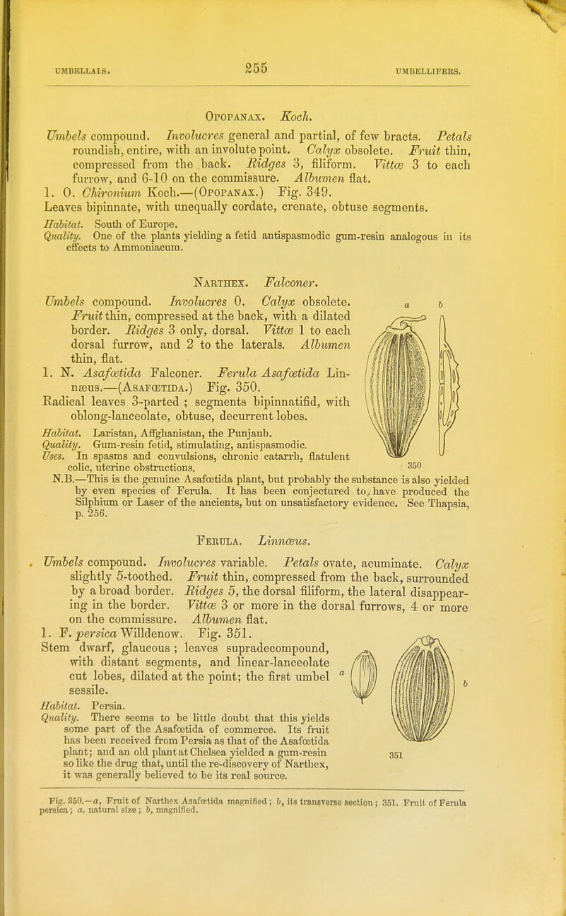 Opopanax. Koch. Umbels compound. Involucres general and partial, of few bracts. Petals roundish, entire, with an involute point. Calyx obsolete. Fruit thin, compressed from the back. Bidges 3, filiform. Vittw 3 to each furrow, and 6-10 on the commissure. Albumen flat. 1. 0. Chironium Koch.—(Opopanax.) Fig. 349. Leaves bipinnate, with unequally cordate, crenate, obtuse segments. Ilahitat. South of Europe. Quality. One of the plants yielding a fetid antispasmodic gum-resin analogous in its effects to Ammoniacum. Narthex. Falconer. Umbels compound. Involucres 0. Calyx obsolete. Fruit thin, compressed at the back, with a dilated border. Bidges 3 only, dorsal. Vittw 1 to each dorsal furrow, and 2 to the laterals. Albumen thin, flat. 1. N. Asafoetida Falconer. Ferula Asafoetida Lin- nffiUS.—(ASAFCETIDA.) Fig. 350. Radical leaves 3-parted ; segments bipinnatifid, with oblong-lanceolate, obtuse, decurrent lobes. Habitat. Laristan, Affghanistan, the Punjaub. Quality. Gum-resin fetid, stimulating, antispasmodic. Uses. In spasms and convulsions, chronic catarrh, flatulent coUc, uterine obstructions. N.B.—This is the genuine Asafoetida plant, but probably the substance is also yielded by even species of Ferula. It has been conjectured to, have produced the SUphium or Laser of the ancients, but on unsatisfactory evidence. See Thapsia, p. 256. Ferula. Linnceus. Umbels compound. Involucres variable. Petals ovate, acuminate. Calyx slightly 5-toothed. Fruit thin, compressed from the back, surrounded by abroad border. Bidges 5, the dorsal filiform, the lateral disappear- ing in the border. Vittw 3 or more in the dorsal furrows, 4 or more on the commissure. Albumen flat. 1. F. jjera'ca Willdenow. Fig. 351. Stem dwarf, glaucous ; leaves supradecompound, with distant segments, and linear-lanceolate cut lobes, dilated at the point; the first umbel  sessile. Habitat. Persia. Quality. There seems to be little doubt that this yields some part of the Asafoetida of commerce. Its fruit has been received from Persia as that of the Asafcntida plant; and an old plant at Chelsea yielded a gum-resin so Uke the drug that, until the re-discovery of Narthex, it was generally believed to be its real source. Fig. 350.—a, Frnit of Narthex Asafoetida mjignifled ; 6, its transverse section; 351. Fruit of Ferula persica; a. natural size ; !>, mngnifled.