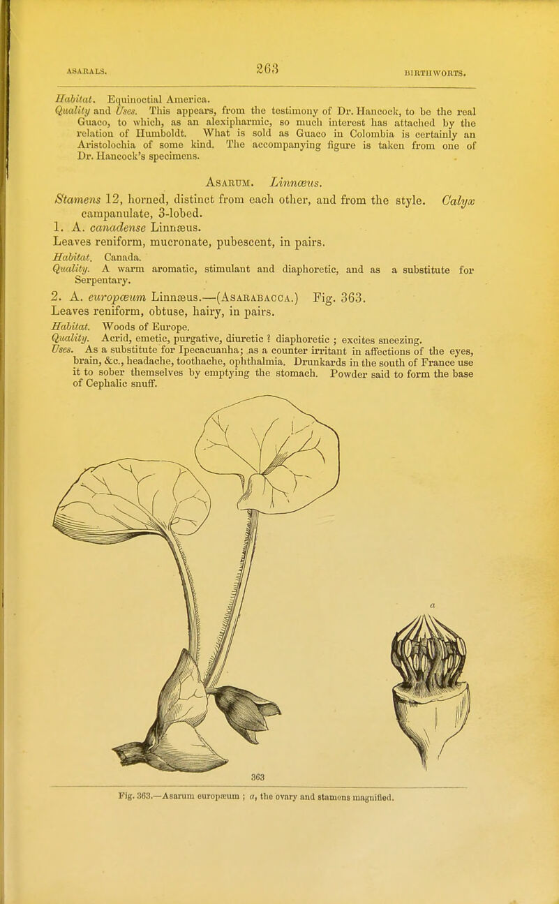 blRTHWOBTS. Habitat. Equinoctial America. Quality and [/sen. This appears, from the testimony of Dr. Ilaucock, to be the real Guaco, to which, as an nioxipharmic, so mucli interest has attached by the relation of Humboldt. What is sold as Guaco in Colombia is certainly an Aristolochia of some kind. The accompanying figure is taken from one of Dr. Hancock's specimens. AsARUM. Linnceus. Stamens 12, horned, distinct from each other, and from the style. Calyx campaniilate, 3-lobed. 1. A. canadense Linnseus. Leaves reniform, mucronate, pubescent, in pairs. Habitat. Canada. Quality. A warm aromatic, stimulant and diaphoretic, and as a substitute for Serpentary. 2. A. europceum Linnseus.—(Asarabacca.) Fig. 363. Leaves reniform, obtuse, hairy, in pairs. Habitat. Woods of Europe. Quality. Acrid, emetic, purgative, diuretic ? diaphoretic ; excites sneezing. Uses. As a substitute for Ipecacuanha; as a counter ii-ritant in affections of the eyes, brain, &c., headache, toothache, ophthalmia. Drunkards in the south of France use it to sober themselves by emptying the stomach. Powder said to form the base of Cephalic snuff. 3G3 Fig. 363.—AsaiTim europxum ; a, the ovary and stamens magnified.