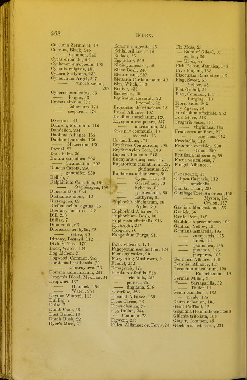 ^68 INDEX. Curcuma Zerumbet, 49 Currant, Black, 245 Commou, 245 Cycas circinalis, 66 Cyclamen europEeum, 198 Cydonia vulgaris, 183 Cynara Scolymus, 233 Cynanclium Argel, 207 vincetoxicuni, 207 Cyperus esculentus, 33 longus, 33 Cytisus alpinus, 174 Laburnum, 174 scopai'ius, 174 Daffodil, 41 Damson, Mountain, 116 Dandelion, 234 Daphnal Alliance, 159 Daphne Laureola, 1 60 Mezereum, 160 Darnel, 27 Date Palm, 36 Datura sanguinea, 203 Stramonium, 202 Daucus Car Ota, 250 gummifer, 250 Dellish, 7 Delphinium Consolida, ] 50 Staphisagi-ia, ISO Dent de Lion, 234 Dictamnus albus, 112 Dictyogeus, 62 Dieffenbachia seguina, 36 Digitalis purpurea, 213 DiU, 253 Dillisk, 7 Dion edule, 66 Dioscorea triphylla, 62 sativa, 63 Dittany, Bastard, 112 Dividivi Tree, 179 Dock, Water, 124 Dog Lichen, 21 Dogwood, Common, 259 Dorstenia brasiliensis, 78 Contrayerva, 78 Dorema ammoniacum, 257 Dragon's Blood, Mexican, 84 Dropwort, 187 Hemlock, 250 Water, 251 Drymis Winteri, 143 Duillisg, 7 Dulse, 7 Dumb Cane, 36 Dust-Brand, 16 Dutch Rush, 22 Dyer's Moss, 21 I EcBALiUM agreste, 95 : I Echial AlUance, 216 Eddoes, 35 Egg Plant, 202 Eteis guiueensis, 39 Elder Bush, 240 Elecampane, 227 Elettaria Cardamomum, 49 Elm, Witch, 163 Endive, 236 Eudogens, 26 Equisetum fiuviatile, 22 byemale, 22 ErgotEetia abortifaciens, 14 Erical AUiance, 105 Erodium moschatum, 120 Eryngium campestre, 257 maritimum, 257 Erysiphe communis, 13 ■ bicornis, 13 Ervum Lens, 171 Erythrsea Centaurium, 195 Erythroxylon Coca, 103 Eugenia Pimenta, 243 Euonymus europseus, 167 Eupatorium cannabinum, 227 glutinosum, 227 Euphorbia antiquorum, 80 Cyparissias, 80 , .. Gerardiana, 80 ■ hyberna, 80 Ipecacuanha, 80 -tj Lathyris, 81 Biiphorbia officinarum, 80 Peplus, 80 Eupliorbial Alliance, 79 Euphorbium Bush, 80 Euphrasia officinalis, 215 Eyebright, 215 Exogens, 70 Exogonium Purga, 211 Faba vulgaris, 171 Fagopyrum esculentum, 124 Fagus sylvatica, 90 Fairy-Ring Mushroom, 9 Fennel, 252 Fenugreek, 175 Ferula Asafoetida, 255 orieutalis, 256 persica, 255 tingitana, 256 Feverfew, 228 Ficoidal Alhance, 158 Ficus Carica, 78 Ficus elastica, 77 Fig, Indian, 244 — Common, 78 Figwort, 214 Filical Alliance; or, Ferns,24 Fir Moss, 23 — Balm of Gilead, 67 — Scotch, 66 — Silver, 67 Fish Poison, Jamaica, 176 Five Fmgers, 183 Flacourtia Ramontchi, 96 Flag, Sweet, 53 — Yellow, 43 Flat Orchill, 21 Flax, Common, 1J iJ — Purging, 118 Floripondio, 203 Fly Agaric, 10 Fceuiculum officinale, 262 Fox-Glove, 213 Fragaria vesca, 184 virginiana, 185 Frauciscea uniflora, 215 Hopeana, 215 Fraxinella, 112 Fraxinus excelsior, 200 Ornus, 200 Fritillaria imperiahs, 59 Fucus vesiculosus, 7 Fungal Alliance, 9 Galangale, 45 Gahpea Cusparia, 112 officinalis Gambir Plant, 238 Gamboge Tree, American, 15 8 Mysore, 156 ■—— Ceylon, 157 Garcinia Mangostana, 156 Garhck, 56 Garlic Pear, 142 Gaultheria procumbens, 106 Gentian, Yellow, 194 Gentiana AmareUa, 195 campestris, 195 lutea, 194 pannonica, 195 pimctata, 195 purpurea, 195 Gentianal Alliance, 190 Geranial Alliance, 117 Geranium maculatum, 120 Robertianum, 119 German Millet, 31 ^ Sarsapai'illa, 32 Tinder, 11 Geum canadeuse, 185 — rival e, 185 Geum urbanum, 185 Giant Puff ball, 12 GigartinaHelminthocliortos 8 Gillenia ti-ifoliata, 188 Ginger, Commou, 45 Glechoma hedei-acea, 221