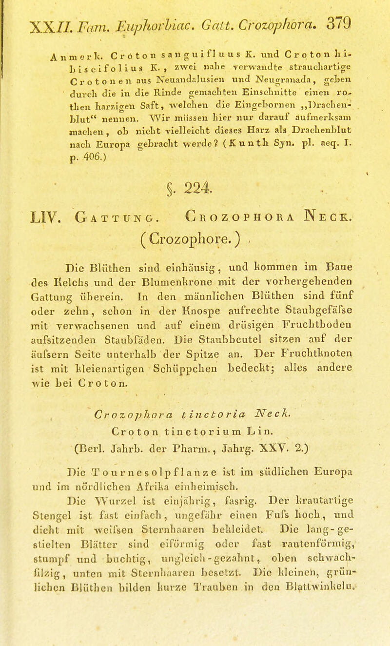 A n m e r Ic. C r ö t o n s a n or u i f 1 u u s K. und C r o t o n Ii i- Lisclfolius K. , zwei nahe verwandte straucliartige C r o t o n e 11 aus Neuandalusien und Neuorrauada, geben durch die In die Rinde gemachten Einschnitte einen ro- then harzigen Saft, welchen die Eingebornen ,,l)raclien- blut nennen. Wir müssen hier nur darauf aufmerksam machen , ob nicht vielleicht dieses Harz als Drachenblut nach Europa gebracht werde? (Kunth Sjn. pl. aeq. I. p. 406.) §. 224 LIV. Gattung. Crozophora Neck. (Crozophore.) / Die Blüthen sind einhäusig, und kommen im Baue des Kelchs und der Blumenhrone mit der vorhergehenden Gattung überein. In den männlichen Blüthen sind fünf oder zehn, schon in der Knospe aufrechte Staubgefäfse mit verwachsenen und auf einem drüsigen Fruchtboden aufsitzenden Staubfäden. Die Staubbeutel sitzen auf der äufsern Seite unterhalb der Spitze an. Der Fruchtknoten ist mit kleienartigen Schüppchen bedeckt; alles andere wie bei C r o t o n. Crozophora binctoria Neck. Croton tinetorium Lin. (Berl. Jahrb. der Pharm., Jahrg. XXV. 2.) Die T o u r n e s o 1 p f 1 a n z e ist im südlichen Europa und im nördlichen Afrika einheimisch. Die Wurzel ist einjährig, fasrig. Der krautarlige Stengel ist fast einfach, ungefähr einen Fufs hoch, und dicht mit weifsen Sternhaaren bekleidet. Die lang-ge- stielten Blätter sind eiförmig oder fast rautenförmig, stumpf und buchtig, ungleich - gezahnt, oben schwach- lllzig, unten mit Sternhaaren besetzt. Die kleinen, grün- lichen Blüthen bilden kurze Trauben in den Blatlwinkclu.