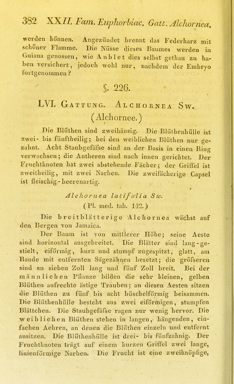 werden Lönnen. Angezündet brennt das Federharz mit schöner Flamme. Die Nüsse dieses Baumes werden in Guiana genossen, wie Aublet dies selbst gethan zu ha- ben versichert, jedoch wohl nur, nachdem der Embryo fortgenommen? §. 226. LVI. Gattung. Alc hörnea Sw. (Alchornee.) Die Blüthen sind zweihäusig. Die BlülhenhüUe ist zwei- bis fünftheilig; bei den weiblichen Blüthen nur ge- zahnt. Acht Staubgefäfse sind an der Basis in einen Ring yerwachsen; die Antheren sind nach innen gerichtet. Der Fruchthnoten hat zwei abstehende Fächer; der Griffel ist zweitheilig, mit zwei Narben. Die zweifächerige Capsel ist fleischig - beerenartig. Alchornea labifolia Sw. ( PI. med. tab. 1412.) Die breitblätterige Alchornea wächst auf den Bergen von Jamaica. Der Baum ist von mittlerer Höhe; seine Aeste sind horizontal ausgebreitet. Die Blätter sind lang-ge- stielt, eiförmig, hurz und stumpf zugespitzt, glatt, am Bande mit entfernten Sägezähnen besetzt; die gröfsereu sind an sieben Zoll lang und fünf Zoll breit. Bei der männlichen Pflfinze bilden die sehr hleinen, gelben Blüthen aufrechte ästige Trauben; an diesen Aesten sitzen die Blüthen zu fünf bis acht büschelförmig beisammen. Die BlüthenhüUe besteht aus zwei eiförmigen, stumpfen Blättchen. Die Staubgefäfse ragen nur wenig hervor. Die weiblichen Blüthen stehen in langen,- hängenden, ein- fachen Aehren, an denen die Blüthen einzeln und entfernt ansitzen. Die BlüthenhüUe ist drei- bis fünfzahnig. Der Fruchtknoten trägt auf einem hurzen Griffel zwei lange, linienförmige Narben. Die Frucht ist eine zweihnöpüge,