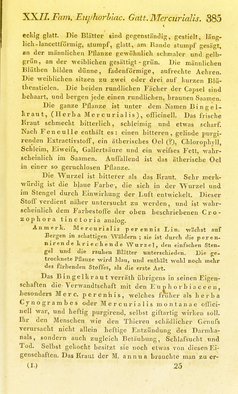 XX7Z Farn, EiiphorUac. Gatt. Mercurialis. 885 \ eckig glatt. Die Blätter sind gegenständig, gestielt, läng- lich-lancettfürmig, stumpf, glatt, am Rande stumpf gesägt, an der männlichen Pflanze gewöhnlich schmaler und gelb- grün , an der -weiblichen gesättigt - grün. Die männlichen Blüthen bilden dünne, fadenförmige, aufrechte Aehren. Die weiblichen sitzen zu zwei oder drei auf hurzen Blü- thenstielen. Die beiden rundlichen Fächer der Capsel sind Lehaart, und bergen jede einen rundlichen, braunen Saamen. Die ganze Pflanze ist unter dem Namen Bingel- liraut, (Herba Mercurialis), officinell. Das frische Kraut schmecht bitterlich, schleimig und etwas scharf. Nach Feneulle enthält es: einen bitteren, gelinde purgi- renden ExtractivstofP, ein ätherisches Oel (?}, Chlorophyll, Schleim, Eiweifs, Gallertsäure und ein weifses Fett, w^ahr- scheinlich im Saamen. Auffallend ist das ätherische Oel in einer so geruchlosen Pflanze. Die Wurzel ist bitterer als das Kraut. Sehr merk- würdig ist die blaue Farbe-, die sich in der Wurzel und im Stengel durch Einwirkung der Luft entwickelt. Dieser Stoff verdient näher untersucht zu werden, und ist wahr- scheinlich dem Farbestoffe der oben beschriebenen C r o- zophora tinctoria analog. Anmerk. Mercurialis perennis Lin. wäclist auf Bergen in schattigen Wäldern ; sie ist durch die peren- nirende kriechende Wurzel, den einfachen Sten- gel und die rauhen Blätter unterschieden. Die ge- trocknete Pflanze wird hlau, und enthält wohl noch mehr des färbenden Stoffes, als die erste Art. Das Bingelkraut verräth übrigens in seinen Eigen- schaften die Verwandtschaft mit den Euphorbiaceen, Jjesonders Merc. perenhis, welches früher als herba Cynogrambes oder Mercurialis montanae offici- nell war, und heftig purgirend, selbst giftartig wirken soll. Ihr den Menschen wie den Thieren schädlicher Genufs verursacht nicht allein heftige Entzündung des Darmka- nals, sondern auch zugleich Betäubung, Schlafsucht und Tod. Selbst gekocht besitzt sie noch etwas von diesen Ei- genschaften, Das Kraut der M. annua brauchte man zu er- (I) 25