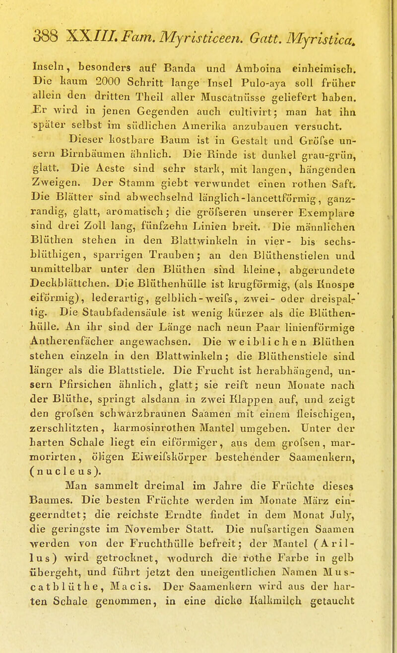 Inseln, besonders auf Banda und Araboina einheimisch. Die kaum 2000 Schritt lange Insel Pulo-aya soll früher allein den dritten Theil aller Muscatnüsse geliefert haben. Er wird in jenen Gegenden auch cultivirt; man hat ihn später selbst im südlichen Amerika anzubauen versucht. Dieser hostbare Baum ist in Gestalt und Grüfse un- sern Birnbäumen ähnlich. Die Rinde ist dunhel grau-grün, glatt. Die Aeste sind sehr starh, mit langen, hängenden Zweigen. Der Stamm giebt verwundet einen rothen Saft. Die Blätter sind abwechselnd länglich - lancettförmig, ganz- randig, glatt, aromatisch; die gröfseren unserer Exemplare sind drei Zoll lang, fünfzehn Linien breit. Die männlichen Blüthen stehen in den Blattwinkeln in vier- bis sechs- blüthigen, sparrigen Trauben; an den Blüthenstielen und unmittelbar unter den Blüthen sind kleine, abgerundete Deckblättchen. Die Blüthenhülle ist krugförmig, (als Knospe eiförmig), lederartig, gelblich-weifs, zwei- oder dreispalr tig. Die Staubfadensäule ist wenig kürzer als die Blüthen- hülle. An ihr sind der Länge nach neun Paar linienförmige Antherenfächer angewachsen. Die weiblichen. Blüthen stehen einzeln in den Blattwinkeln; die Blüthenstiele sind länger als die Blattstiele. Die Frucht ist herabhängend, un- sern Pfirsichen ähnlich, glatt; sie reift neun Monate nach der Blüthe, springt alsdann in zwei Klappen auf, und zeigt den grofsen schwarzbraunen Saamen mit einem fleischigen, zerschlitzten, karmosinrothen Mantel umgeben. Unter der harten Schale liegt ein eiförmiger, aus dem grofsen, mar- morirten, öligen Eiweifskörper bestehender Saamenkern, (nucleus). Man sammelt dreimal im Jahre die Früchte dieses Baumes. Die besten Früchte werden im Monate März ein- geerndtet; die reichste Erndte findet in dem Monat July, die geringste im November Statt. Die nufsartigen Saamen werden von der Fruchthülle befreit; der Blantel ( A r i l - lus) wird getrocknet, wodurch die rothe Farbe in gelb tibergeht, und führt jetzt den uueigentlichen Namen Mus- catblüthe, Macis. Der Saamenkern wird aus der har- ten Schale genommen, in eine dicke Kalkmilch getaucht