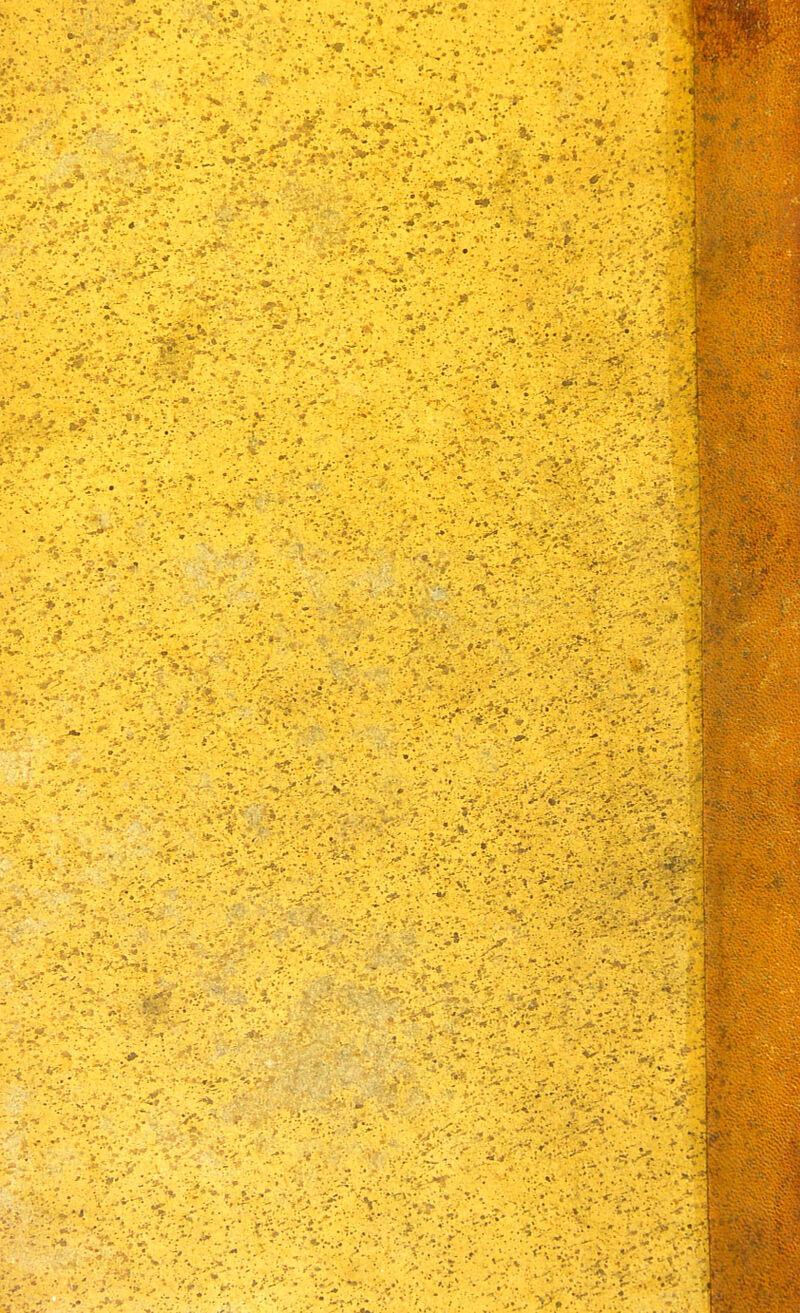 rir:- -^^^v^^-> Iv^'i- .^^^t■^^v»■Vr'r■:-^t ■^.^..>' ■ ^/»/v-:-:- •■■'■*i^r->;i -.-.U. A'.- i-'.v. -