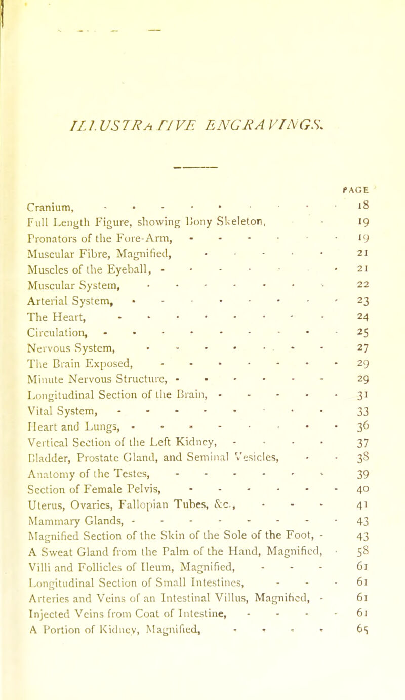 ILIVSIR a TJ VE E NGRA VIN GS, PAGE Cranium, ... • • 18 Full Length Figure, showing Bony Skeleton, • 19 Pronators of the Fore-Ami, - 19 Muscular Fibre, Magnified, 21 Muscles of the Eyeball, - • 21 Muscular System, ■ 22 Arterial System, • - 23 The Heart, 24 Circulation, 25 Nervous System, ........ 27 The Brain Exposed, 29 Minute Nervous Structure, 29 Longitudinal Section of the Brain, 31 Vital System, • • 33 Heart and Lungs, • - 36 Vertical Section of the Left Kidney, - 37 Gladder, Prostate Gland, and Seminal Vesicles, - • 38 Anatomy of the Testes, - 39 Section of Female Pelvis, 40 Uterus, Ovaries, Fallopian Tubes, &c, - - - 41 Mammary Glands, 43 Magnified Section of the Skin of the Sole of the Foot, - 43 A Sweat Gland from the Palm of the Hand, Magnified, 58 Villi and Follicles of Ileum, Magnified, ... 61 Longitudinal Section of Small Intestines, - - - 61 Arteries and Veins of an Intestinal Villus, Magnified, - 61 Injected Veins from Coat of Intestine, - - - - 61 A Portion of Kidney, Magnified, .... (>S