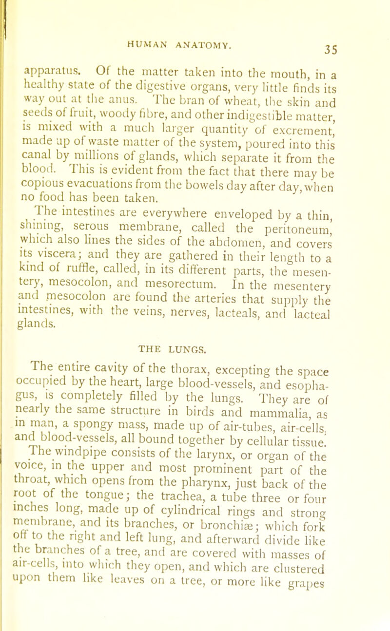 apparatus. Of the matter taken into the mouth, in a healthy state of the digestive organs, very little finds its way out at the anus. The bran of wheat, the skin and seeds of fruit, woody fibre, and other indigestible matter, is mixed with a much larger quantity'of excrement' made up of waste matter of the system, poured into this canal by millions of glands, which separate it from the blood. This is evident from the fact that there may be copious evacuations from the bowels day after day, when no food has been taken. The intestines are everywhere enveloped by a thin, shining, serous membrane, called the peritoneum' which also lines the sides of the abdomen, and covers its viscera; and they are gathered in their length to a kind of ruffle, called, in its different parts, the mesen- tery, mesocolon, and mesorectum. In the mesentery and mesocolon are found the arteries that supply the intestines, with the veins, nerves, lacteals, and lacteal glands. THE LUNGS. The entire cavity of the thorax, excepting the space occupied by the heart, large blood-vessels, and esopha- gus, is completely filled by the lungs. They are of nearly the same structure in birds and mammalia, as in man, a spongy mass, made up of air-tubes, air-cells, and blood-vessels, all bound together by cellular tissue! The windpipe consists of the larynx, or organ of the voice, in the upper and most prominent part of the throat, which opens from the pharynx, just back of the root of the tongue j the trachea, a tube three or four inches long, made up of cylindrical rings and strong membrane, and its branches, or bronchia?; which fork off to the right and left lung, and afterward divide like the branches of a tree, and are covered with masses of air-cells, into which they open, and which are clustered upon them like leaves on a tree, or more like grapes