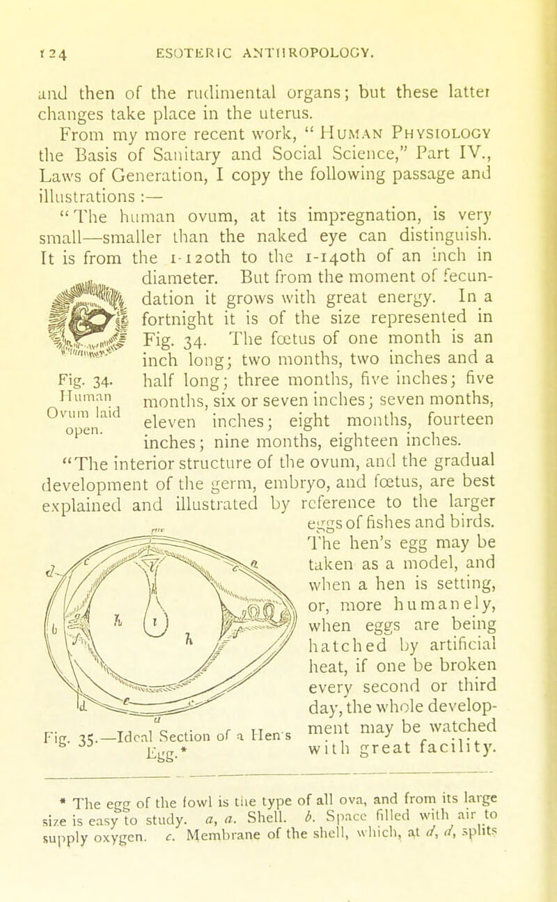 and then of the rudimental organs; but these latter changes take place in the uterus. From my more recent work,  Human Physiology the Basis of Sanitary and Social Science, Part IV., Laws of Generation, I copy the following passage and illustrations :— The human ovum, at its impregnation, is very small—smaller than the naked eye can distinguish. It is from the i- 120th to the i-i4oth of an inch in diameter. But from the moment of fecun- dation it grows with great energy. In a fortnight it is of the size represented in Fig. 34. The foetus of one month is an inch long; two months, two inches and a half long; three months, five inches; five months, six or seven inches; seven months, eleven inches; eight months, fourteen inches; nine months, eighteen inches. The interior structure of the ovum, and the gradual development of the germ, embryo, and foetus, are best explained and illustrated by reference to the larger eggs of fishes and birds. The hen's egg may be taken as a model, and when a hen is setting, or, more humanely, when eggs are being hatched by artificial heat, if one be broken every second or third day, the whole develop- ment may be watched Fie. 1$.—Ideal Section of a liens ■> ... !^g-* wl Sreat facility. Fig- 34- Human Ovum laid open. * The egg of the fowl is the type of all ova, and from its large size is easy to study, a, a. Shell, b. Space filled with air to supply oxygen, c. Membrane of the shell, which, at d, </, splits
