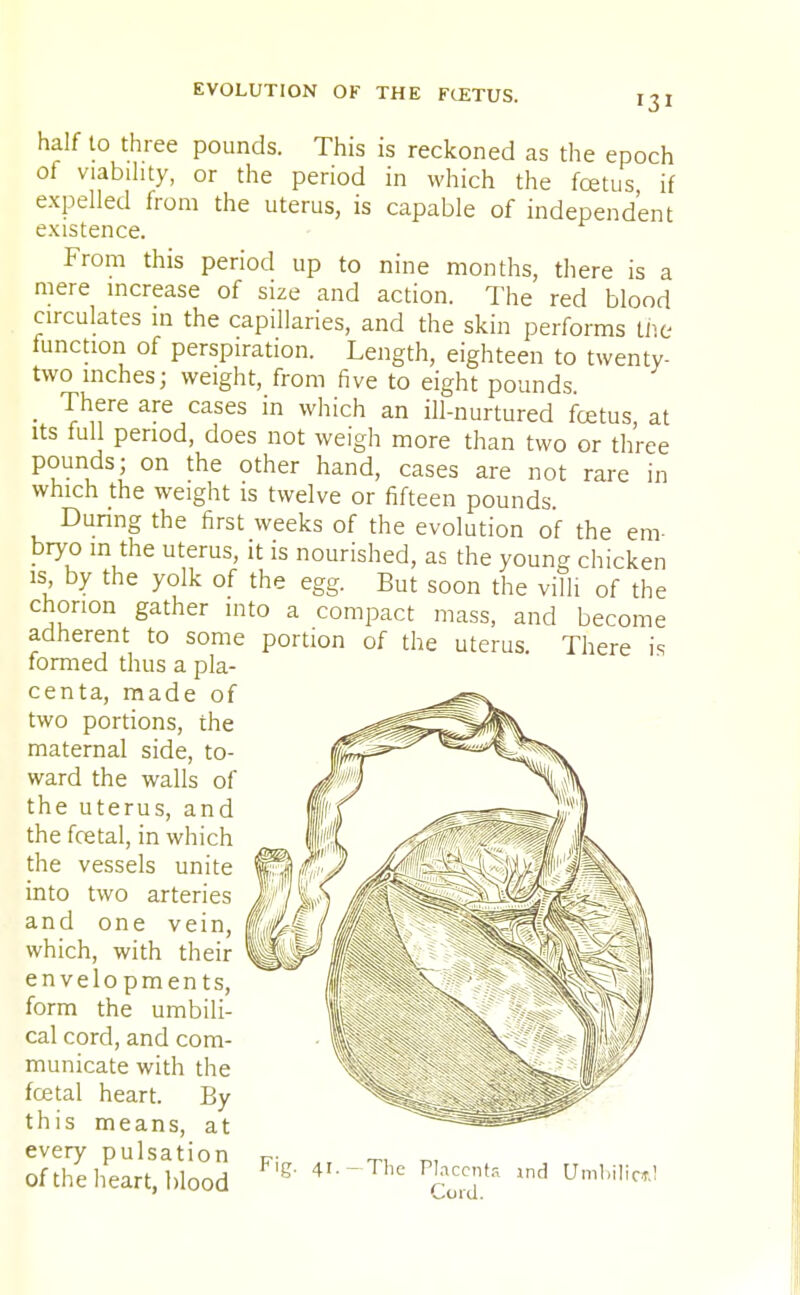 131 half to three pounds. This is reckoned as the epoch of viability, or the period in which the foetus if expelled from the uterus, is capable of independent existence. From this period up to nine months, there is a mere increase of size and action. The red blood circulates in the capillaries, and the skin performs the function of perspiration. Length, eighteen to twenty- two inches; weight, from five to eight pounds _ There are cases in which an ill-nurtured foetus, at its full period, does not weigh more than two or three pounds; on the other hand, cases are not rare in which the weight is twelve or fifteen pounds. During the first weeks of the evolution of the em- bryo in the uterus, it is nourished, as the young chicken is by the yolk of the egg. But soon the villi of the chorion gather into a compact mass, and become adherent to some portion of the uterus. There is formed thus a pla- centa, made of two portions, the maternal side, to- ward the walls of the uterus, and the fcetal, in which the vessels unite into two arteries and one vein, which, with their envelopments, form the umbili- cal cord, and com- municate with the fcetal heart. By this means, at every pulsation F- „ ™ _., of the heart, blood g' 4I'_The Ind Um,,i,i'