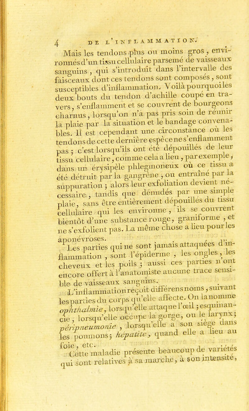 Mais les tendons .plus ou moins gros , envi- ronnés d'un tissu cellulaire parsemé de vaisseaux saneuins , qui s'introduit dans l'intervalle des faisceaux dont ces tendons sont composés, sont susceptibles d'inflammation. Voilà pourquoi les deux bouts du tendon d'achille coupe en tra- vers, s'enflamment et se couvrent de bourgeons charnus, lorsqu'on n'a pas pris soin de reunir la plaie par la situation et le bandage convena- bles Il est cependant une circonstance ou les tendons de cette dernière espèce ne s'enflamment pas : c'est lorsqu'ils ont été dépouilles de leur tissu cellulaire, comme cela a Heu, par exemple, dans un érysipèle phlegmoneux ou ce tissu a été détruit par la gangrène , ou entraîne par la suppuration ; alors leur exfoliation devient né- cessaire/tandis que dénudés par une ample plaie, sans être entièrement dépouillés du tissu cellulaire qui les environne , ils se couvrent bientôt d'une substance rouge, gramforme , et ne s'exfolient pas. La même chose a heu pour les aponévroses. . , Les parties qui ne sont jamais attaquées d in- flammation , sont l'épiderme , les ongles, les cheveux et les poils aussi ces parties 11 ont encore offert à l'anatomiste aucune trace sensi- ble de vaisseaux sang.ûns L'inflammationreeoit differensnoms, suivant lespardes du corps qu'elie affecte. On lanomme oAthalmie, lorsqu'elle attaque 1 œil ;esquman- &} lorsqu'elle occupe -là gorge, ou le arynx; ^r^^^^g g 3Un sièoe dans CeZ maladie présente beaucoup de variétés qui sont relatives à sa marche, u son intensité,