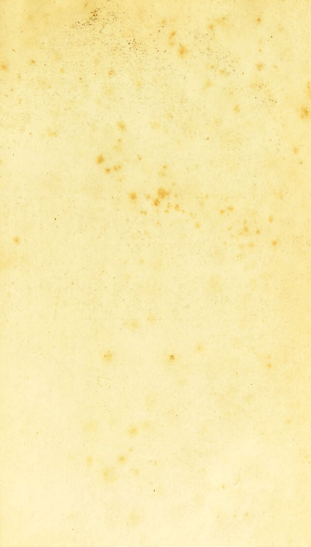 digitised image 3