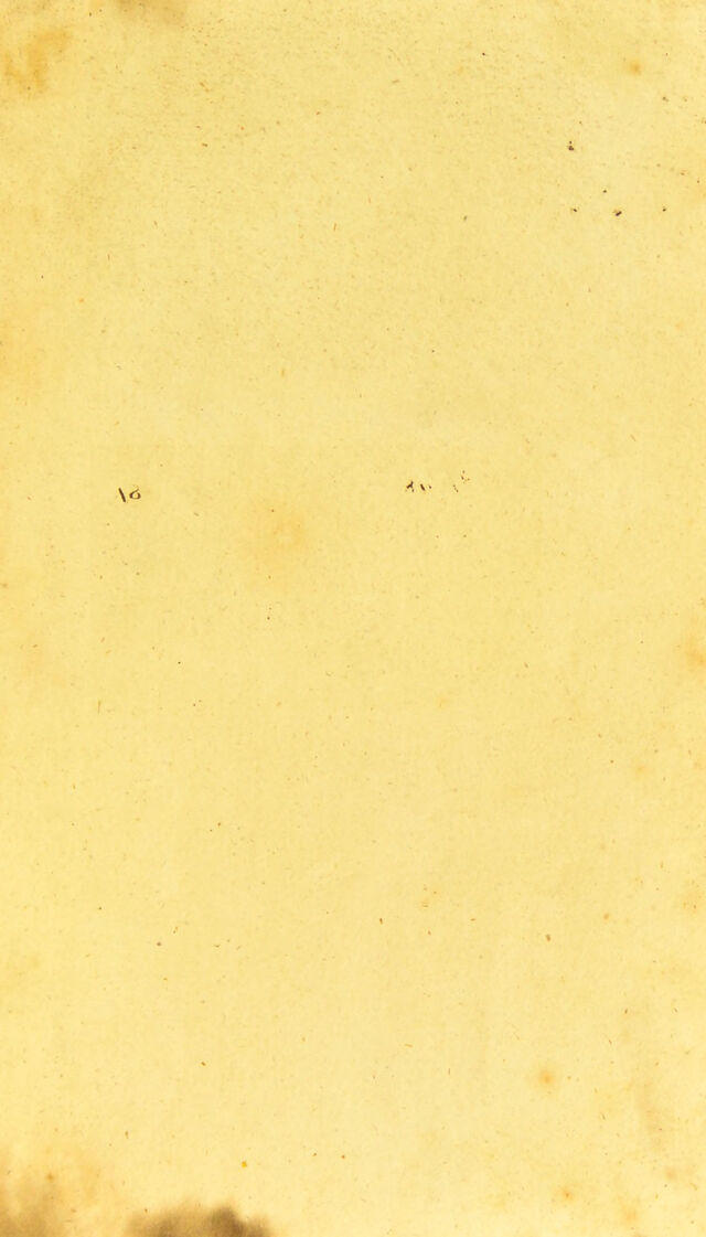 digitised image 3