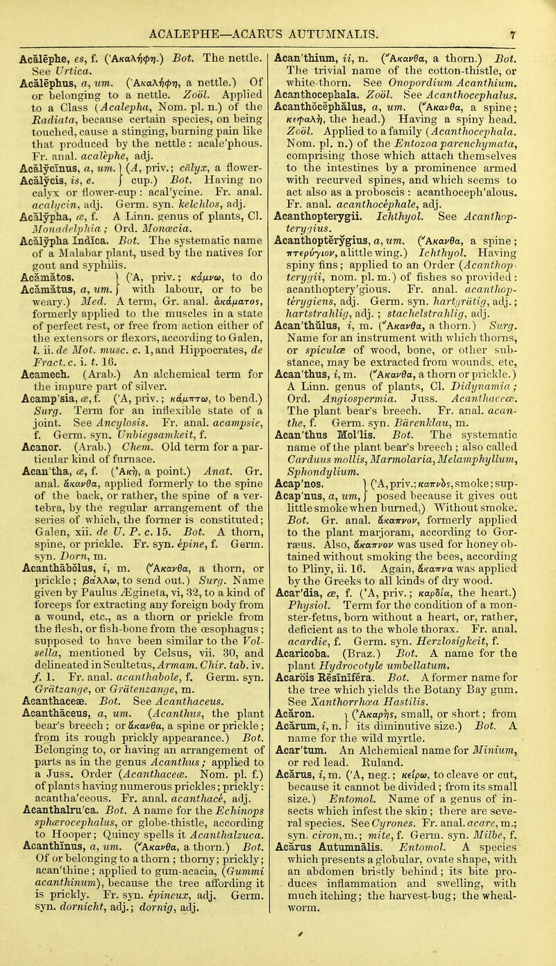 Acalephe, es, f. {'AKa\7i(pr).) Bot. The nettle. See Urtica. Acalephus, a, um. {'AKaX'{i<pT], a nettle.) Of or belonging to a nettle. Zodl. Applied to a Class (Acalejpha, Nom. pi. n.) of the Eadiata, because certain species, on being touched, cause a stinging, burning pain like that produced by the nettle : acale'phous. Fr. anal, acalephe, adj. Acalycmus, a, uni.\{A, priv.; calyx, a flower- Acalycis, is, e. J cup.) Bot. Having no calyx or flower-cup : acal'ycine. Fr. anal. acaliicin, adj. Germ. syn. kelchlos, adj. Acalypha, ce, f. A Linn, genus of plants, CI. ISIonarh'lph.ia ; Ord. Moncecia. Acalypha Indica. Bot. The systematic name of a Malabar plant, used by the natives for gout and syphilis. Acamatos. ) ('A, priv.; Kd/xvai, to do Acamatus, a, um. J with labour, or to be ■weary.) Med. A term, Gr. anal, d/crfjuaroj, formerly applied to the muscles in a state of perfect rest, or free from action either of the extensors or flexors, according to Galen, I. ii. de Blot. muse. c. l,and Hippocrates, de Fract. c. i. t. 16. Acamech.. (Arab.) An alchemical term for the impure part of silver. Acamp'sia, «, f. (A, priv.; KO;UirTai, to bend.) Surq. Term for an inflexible state of a joint. See Ancylosis. Fr. anal, acampsie, f. Germ. syn. Unbiegsamkeit, f. Acanor. (Arab.) Chem. Old term for a par- ticular kind of furnace. Acan'tha, a, f. ('Aicj;, a point.) Anat. Gr. anal. anavSa, applied formerly to the spine of the back, or rather, the spine of a ver- tebra, by the regular arrangement of the series of which, the fonner is constituted; Galen, xii. de tl. P. c. 15. Bot. A thorn, spine, or prickle. Fr. syn. epine, f. Germ, syn. Darn, m. Acanthabolus, i, m. ^AKavda, a thorn, or prickle; ;8a'A\a), to send out.) Surf/. Name given by Paulus ^Egineta, vi, 32, to a kind of forceps for extracting any foreign body from a wound, etc., as a thorn or prickle from the flesh, or fish-bone from the oesophagus ; supposed to have been similar to the Vol- sella, mentioned by Celsus, vii. 30, and delineated in ScultetuSj^rjwam. Chir. tab. iv. /. 1. Fr. anal, acanthahole, f. Germ. syn. Gratzange, or Gratenzange, m. AoanthaceaB. Bot. See Acanthaceus. Acanthaceus, a, um. {Acanthus, the plant bear's breech ; or &K.avSa, a spine or prickle; from its rough prickly appearance.) Bot. Belonging to, or having an arrangement of parts as in the genus Acanthus ; applied to a .Juss. Order {Acanthacece. Nom. pi. f.) of plants ha^ing numerous prickles; prickly: acantha'ceous. Fr. anal, acanthace, adj. Acanthalru'ca. Bot. A name for the Echinops spharocephalus, or globe-thistle, according to Hooper; Quincy spells it Acanthalzuca. Acanthinus, a, um. (AKavSa, a thorn.) Bot. Of or belonging to a thorn ; thorny; prickly; acan'thine ; applied to gum-acacia, {Gummi acanthinum), because the tree affording it is prickly. Fr. syn. epineux, adj. Germ, syn. dornicht, adj.; dornig, adj. Acan'thium, ii, n. (AKavBa, a thorn.) Bot. The trivial name of the cotton-thistle, or white-thorn. See Onopordium Acanthium. Acanthocepiiala, Zodl. See Acanthocephalus. Acanthocephalus, a, um. (^AKavda, a spine; KerpaK^, the head.) Having a spiny head. Zoiil. Applied to a family (Acanthocephala. Nom. pi. n.) of the Entozoaparenchymata, comprising those which attach themselves to the intestines by a prominence armed with recurved spines, and which seems to act also as a proboscis : acanthoceph'alous. Fr. anal, acanthocephale, adj. Acanthopteiygii. Ichthyol. See Acanthop- teryrjius. Acanthopterygius, a, Mm. (^AKavda, a spine; irT6pu7toy, alittle wing.) Ichthyol. Having spiny fins; applied to an Order {Acanthop- terygii, nom. pi. m.) of fishes so provided: acanthoptery'gious. Fr. anal, acanlhop- tenjgiens, adj. Germ. syn. hartgrcitig, adj.; hartstrahlig, adj.; stachelstrahlig, adj. Aean'thiilus, i, m. (AKavda, a, thorn.) Surg. Name for an instrument with which thorns, or spicules of wood, bone, or other sub- stance, may be extracted from wounds, etc, Acan'thus, i, m. ^AKavda, a thorn or prickle.) A Linn, genus of plants, CI. Didynamia ; Ord. Angiospermia. Juss. Acanthacca;. The plant bear's breech. Fr. anal, acan- the, f. Germ. syn. Bdrenklau, m. Acan'thus Mollis. Bot. The systematic name of the plant bear's breech ; also called Carduus mollis, Marmolaria, Melamphyllum, Sphondylium. Acap'nos. ] ('A,priv.; Kairfhs, smoke; sup- Acap'nus, a, um, j posed because it gives out httle smoke when burned.) Without smoke. Bot. Gr. anal. &tcaiTvov, formerly applied to the plant marjoram, according to Gor- raeus. Also, &Ka,Trvov was used for honey ob- tained without smoking the bees, according to Pliny, ii. 16. Again, iLKairva was applied by the Greeks to all kinds of dry wood. Acar'dia, ce, f. ('A, priv.; KapS'ia, the heart.) Physiol. Term for the condition of a mon- ster-fetus, bom \vithout a heart, or, rather, deficient as to the whole thorax. Fr. anal. aca,rdie, f. Germ. syn. Herzlosigkeit, f. Acaricoba. (Braz.) Bot. A name for the plant Hydrocotyle umbellatum. Acarois Kesinifera. Bot. A former name for the tree which yields the Botany Bay gum. See Xanthorrhaa Hastilis. Acaron. i {'AKap^s, small, or short; from Acarum, i, n. f its diminutive size.) Bot. A name for the wild myrtle. Acar'tum. An Alchemical name for Minium, or red lead. Euland. Acarus, i, m. ('A, neg.; Kelpa, to cleave or cut, because it cannot be divided ; from its small size.) Entomol. Name of a genus of in- sects which infest the skin ; there are seve- ral species. SeeCyrones. Fr. anal.ac(jr(;,m.; syn. ciron,m.; mite,i. Germ. syn. Milbe, f. Acarus Autumnalis. Entomol. A species which presents a globular, ovate shape, wdth an abdomen bristly behind; its bite pro- duces inflammation and swelling, with much itching; the harvest-bug; the wheal- worm.