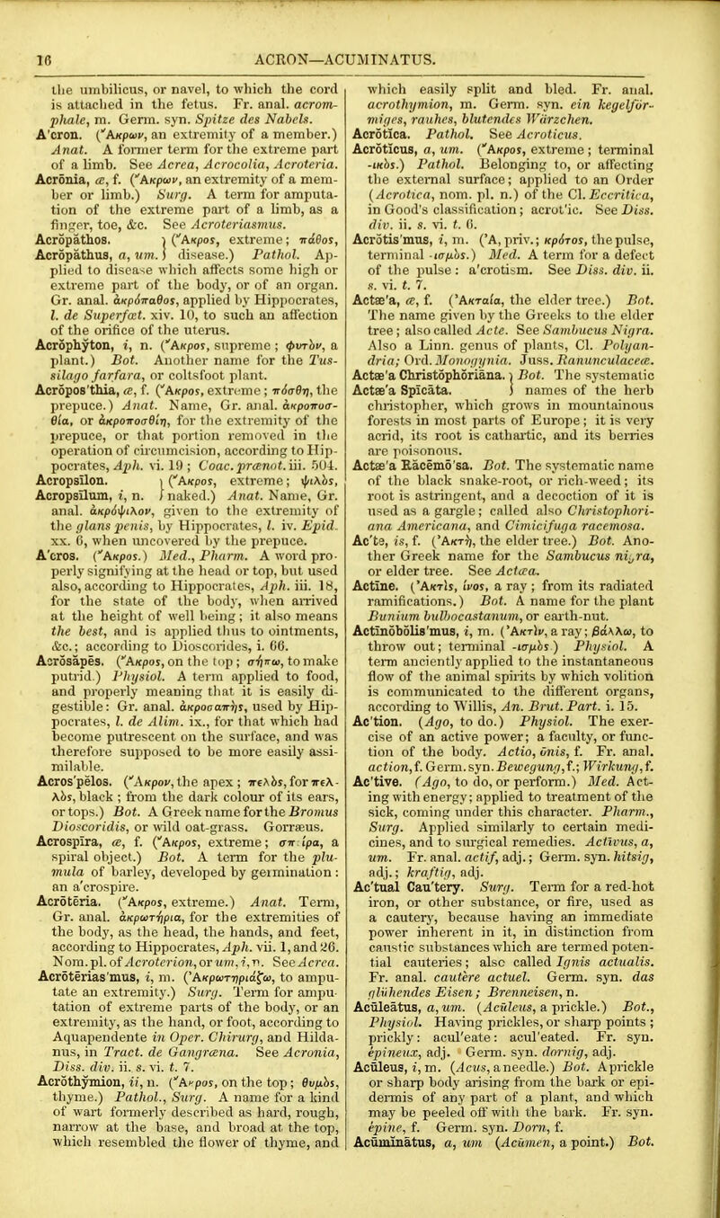 the umbilicus, or navel, to which the cord is attaclied in the fetus. Fr. anal, acrom- phale, m. Germ. syn. Spitze des Nabels. A'cron. (AKpuv, an extremity of a member.) Anat. A former term for the extreme part of a limb. See Acrea, Acrocolia, Acroteria. Acronia, a, f. (^AKpuv, an extremity of a mem- ber or limb.) Siirp. A term for amputa- tion of the extreme part of a limb, as a fiiifter, toe, &c. See Acroteriasmtis. Acr5pathos. i {Axpos, extreme; irdBos, Acropathus, a, um. ] disease.) Pa thol. Ap- plied to disease wliich affects some high or extreme part of the body, or of an organ. Gr. anal. a,t(p6ira9os, applied by Hippocrates, I. de Super/act. xiv. 10, to such an affection of the orifice of the utenis. Acrophyton, i, n. (AKpos, supreme ; (pvThv, a plant.) Bot. Another name for the Tus- silago /arfara, or coltsfoot plant. Acropos'thia, <c, f. {AKpos, extreme; irSc-Ori, the prepuce.) Anat. Name, Gr. anal. aKpoitoa- e'la, or cLKpoiToaO'iri, for the extremity of the prepuce, or that portion removed in the opei'ation of circumcision, according to Hip- pocrates, 19 ; Coac. prannt.iii. .OUi. Acropsilon. i (AKpor, extreme; yj/iKhs, Acropsilum, i, n. J naked.) Anat. Name, Gr. anal. a.Kp6iiKov, given to the extremity of tlie (flans penis, by Hijjpocrates, I. iv. Epid- XX. 0, when uncovered by the prepuce. A'cros. (AKpoj.) Med., Pharm. A word pro- perly signifying at the liead or top, but used also, according to Hippocrates, Aph. iii. 18, for the state of the bodj', wlien airived at the height of well being; it also means the best, and is applied thus to ointments, &c.; according to Uioscorides, i. G6. Aorosapes. (AKpoj, on the top ; aiina, to make jjutrid.) Physiol. A term applied to food, and properly meaning that it is easily di- gestible: Gr. anal. oKpoaairljs, used by Hip- pocrates, I. dc Alim. ix., for that which had become putrescent on the surface, and was therefore supposed to be more easily assi- milable. Acros'pelos. CAKpot, the apex ; ■jr€Aj)j,for7rfX.- \hs, black ; from the dark colour of its ears, or tops.) Bot. A Greek name for the-BroHius Dio!icoridis, or wild oat-grass. Gorrasus. Acrospira, a, f. {AKpos, extreme; air ipa, a spiral object.) Bot. A term for the plu- mtila of barley, developed by germination : an a'crospire. AcrSteria, {AKpos, extreme.) Anat. Term, Gr. anal. aKpurripta, for the extremities of the body, as the head, the hands, and feet, according to Hippocrates, Aph. vii. 1, and 26. Nora.pl. of Acroterio7i,orum,i,v. See Acrea. AcrSterias'mus, i, m. ('AKpwTrjpiaJ'o), to ampu- tate an extremity.) Surg. Term for ampu- tation of extreme parts of the body, or an extremity, as the hand, or foot, according to Aquapendente in Oper. Chirurg, and Hilda- nus, in Tract, de Oangrcena. See Acronia, Diss. div. ii. s. vi. t. 7. AcrSthymion, ii, n. (Ai-pos, on the top; ev/xhs, thyme.) Pathol., Surg. A name for a kind of wart formerly described as hard, rough, narrow at the base, and broad at the top, which resembled the flower of thyme, and which easily split and bled. Fr. anal. acrothymion, ra. Germ. syn. ein kegelfir- miges, rauhcs, blutendes Wdrzclien. Acrotica. Pathol. See Acroticus. Acroticus, a, um. {'AKpos, extreme ; terminal -iKhs.) Pathol. Belonging to, or affecting the external surface; applied to an Order {Acrotica, nom. pi. n.) of the C\. Eccritica, in Good's classification; acrot'ic. See Diss, dii'. ii. s. vi. t. (i. Acrotis'mus, i, m. ('A, priv.; KpSros, the pulse, terminal -kt/jlos.) Med. A term for a defect of the pulse : a'crotism. See Diss. div. ii. s. vi. t. 7. Actee'a, <c, f. {'AktuIo, the elder tree.) Bot. Tlie name given by the Greeks to tlie elder tree; also called Acte. See Sambucxis Nigra. Also a Linn, genus of plants, CI. Polyan- dria; Oy(\. Monogynia. Jans. Ranunculacece. Actae'a Christophoriana. i Bot. The systematic Actae'a Spicata. ) names of the herb Christopher, which grows in mountainous forests in most parts of Europe; it is very acrid, its root is cathartic, and its berries are poisonous. Actae'a Bacemo'sa. Bot. The systematic name of tlie black snake-root, or rich-weed; its root is astringent, and a decoction of it is used as a gargle; called also Christophori- ana Americana, and Cimicifuga raccmosa. Ac'te, is, f. (Akt^), the elder tree.) Bot. Ano- ther Greek name for the Sambucus ni^ra, or elder tree. See Actaa, Actme. ('AktIs, iVos, a ray ; from its radiated ramifications.) Bot. A name for the plant Bunium bulbocastanum, or eai'th-nut. Actinobolis'mus, i, m. ('AktIi;, a ray; fi<i\\ci>, to throw out; terminal -lanhs) Physiol. A teiTn anciently applied to the instantaneous flow of the animal spirits by which volition is communicated to the different organs, according to Willis, An. Brut. Part. i. 15. Ac'tion. {Ago, to do.) Physiol. The exer- cise of an active power; a faculty, or func- tion of the body. Actio, Cnis, f. Fr. anal. action,{. Germ.syn.Bewegung,f.; Wirkung,f. Ac'tive. M(;o, to do, or perform.) 3Ied. Act- ing with energy; applied to treatment of the sick, coming under this character. Pharm., Surg. Applied similarly to certain medi- cines, and to surgical remedies. Actlvus, a, um. Fr. anal, actif, adj.; Germ. syn. hitsig, adj.; kraftig, adj. Ac'tual Cau'tery. Surg. Term for a red-hot iron, or other substance, or fire, used as a cautery, because having an immediate power inherent in it, in distinction from caustic substances which are termed poten- tial cauteries; also called Ignis actualis. Fr. anal, eautere actuel. Germ. syn. das glxihendes Eisen; Brenneisen,n. Aculeatus, a, Mm. (ylcf(fc)ts, a prickle.) Bot., Physiol. Having prickles, or sharp points ; prickly: acul'eate: acul'eated. Fr. syn. ipineux, adj. Germ. syn. dornig, adj. Acflleus, i, m. (/Icu.s, aneedle.) Bot. Aprickle or sharp body arising from the bark or epi- dermis of any part of a plant, and which may be peeled ofl' with the bark. Fr. syn. epine, f. Germ. syn. Dorn, f. Acurainatus, a, um {Acumen, a point.) Bot.