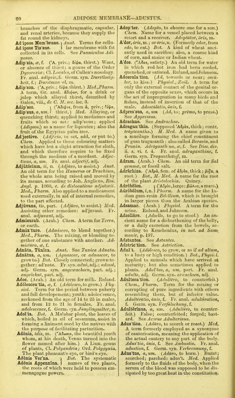 so ADIPOSE MEMBRANE—ADUSTUS. brandies of tlie diaphragmatic, capsular, and renal arteries, because they supply the fat round the kidneys. Adipose Mem'brane. i Anat. Terms for cellu- Ad ipose Xis'sue. ) lar membrane with fat collected in its cells. See Panniculus Adi- pnsus. Adip'sia, «, f. ('A, priv.; Si'ifia, thirst.) Want, or absence of thirst; a Renus of the Order Di/snrrxice; CI. Lncoks, of CuUen's nosolofjy, Fr. anal. adipxicA'. Uerm. syn. Durstlosi;/- l-eit, f.; Durstman •el. m. Adip'son. ('A,priv.; Si'iffa.thirst.) Med.,Pharm. A term, Gr. anal. ASfpov, for a drink or julep which alliiyed tliirst, described by Galen, viii., de C. M. sec. loc. 3. Adip'sos. 1 (ASt^-ys, from a, priv.; ^'fpa, Adip'sus, a,«m. f thirst.) il/erf. Allaying, or quenching thirst; ajiplied to medicines and fruits which so net: adip'sous; applied (Adipsos,) as a name for liquorice; also the fnjit of the Egyptian palm tree. Adjective. {Adju-io, to set, add, or put to.) Chem. Applied to those colouring matters which have but a -iligiil attraction for cloth, and which therefore require to be fixed through the medium of a mordant. Adjec- t'lvua, a, urn. Fr. anal, adjcctif, adj. Adjutorium, ii, n. {.4.djrwn, to assist.) Anat. An old term for the Humerus or Brachiam, the whole ainn being raised and moved by its means, according to Job. Anglii us, lios. Angl. p. 1000, c. de dislocatione adjutorii. Med., Pharm. Also applied to a medicament used e.Ktemally, in aid of internal remedies, to the part afl'ected. Adjiivans, tis, part. {Adjiivo, to assist.) Med. Assisting other remedies: ad'juvaut. Fr. anal, adjuvant, adj. Admisurab, (Ai-ab.) Chem. A term for Terra, or earth. Admix'ture. {AdmUcco, to blend together.) Med., Pharm. The mixing, or blending to- gether of one substance with another. Ad- mistfira, ce, f. Adnata, Tiinica. Anat. See Tunica Adnata. Adnatus, a, um. (Ar/nascor, or adnascor, to growto.) Bot. Closely connected; grown to- gether: ad'nate. Fr.syn.arfne,adj.; adosse, adj. Germ. syn. angewachsen, pait. adj.; angelehnt, pait. adj. Adoc, (Arab.) An old tenn for milk. Ruland. Adolescen'tia, cc, f. (/lf?t;/esco, to grow.) Phy- siol. Term for the period between puberty and full developement; youth: adoles'cence, reckoned from the age of 14 to 25 in males, and from 12 to 21 in females. Fr. anal. adolescence, f. Gei-m. ^yn.Junglingsalter, n. Adol'ia. Bot. A Malabar plant, the leaves of which, boiled in oil of sesamum, assist in forming a huiment used by the natives with the pm-pose of facilitating parturition. AdSnis, ~idis, m. (ASmj/ij, the beautiful youth whom, at his death, Venus turned into the flower named after him.) A Linn, genus of plants, C\. Polyandria; Oid. Polygynia. The plant pheasant's-eye, or bird's-eye. Adonis Ver'na. -i Bot. The systematic Adonis Appennina. ) names of two plants, tlie roots of which were held to possess em- menagogue powers. Adop'ter. {Adopto, to choose one for a son.) Chem. Name for a vessel placed between a retort and a receiver. Adoptator, Oris, m. A'dor, or!s,m.; or oris, n. (Formerly erfor, from edn, to eat.) Bot. A kind of wheat aiui- ently used in sacrifice; also, a coarse kiud of corn, and maize or Indian wheat. A'dos. ('A5os, satiety.) An old term for water in which red hot iron had been cooled, quenched, or satiated. Uuland, and Johnson. Adoscula'tion. {Ad, towards or near; oscu- lar, to kiss.) Physiol., Zoiil. A term for only the external contact of the genital or- gans of the opposite sexes, which occurs in the act of impregnation in many birds and fishes, instead of insertion of that of the male. AdoscuUitio, Onis, f. Adpres'sus, a,um (--Ic?, to; ^rcmo, to press.) See Apprcssus. Adrachne. See Andrachne. Adragan'thin. (Supposed'A5p!>j, thick ; contr. tragiicantlia.) M. Med. A name given to a mucilage forming the chief constituent of gum tragacanth ; also called JBcrasin, and Prunin. Adragantlina, cc,{. See Diss. div. ii. s. vi. t. 4. Fr. anal, adraganthine, f. Germ. syn. Traganthsloff, m. Adram. (Arab.) Chem. An old term for SaJ genuiice, or fossil salt. Adrarhiza. ('A5pd, fem. of aSphs, thick ; ^I'fa, a root.) Bot., 31. Med. A name for the root of the plant Arixtolochia. Quincy. Adrobolon. i ('Aopcis,large: jSwAoj,amass.) Adrobolnm, ?,n.) Pharm. A name for the In- dian gum-resin BddUum, which is brought in larger pieces than the Arabian species. Adsamar. (Arab.) Physiol. A term for the m ine. Ruland, and Johnson. Adsellare. (Adsello, to go to stool.) An an- cient name for a disburthening of the belly, or a daily excretion from the bowels, ac- cording to Keuchenius, in not. ad Sam- mnnic, p. 197. Adstantes. See Astantes. Adstric'tion. See Astriction. Adul't. {Adolcsco, to grow, or as if ad altmn, to a lusty or high condition.) Bot., Physu.l. Applied to animals which have aiTived at matiu-ity; but also sometimes applied to plants. Advl'tus, a, um, part. Fr. anal. adulte, adj. Germ. syn. encachsen, adj. Adultera'tion. {Adultero, to coimterfeit.) Chem., Pharm, Term for the mixing or corrupting of pure ingredients with others resembling them, but of inferior value. Adulteratio, Onis, f. Fr. anal, adulteration, f. Germ. syn. Verfdlschung, f. Adulterinus, a, um. {Adultero, to counter- feit.) False; counterfeited; forged; bast- ard. See^corus Adulterinus. Adns'tion. (.(4(Zf(ro, to scorch or roast.) Med. A term formerly employed as a synonyme of cauterisation, meaning the application of the actual cautery to any part of the body. Adus'tio, onis, f. See Ambustio. Fr. anal. adustion, f. Germ. syn. Verhrennung, f. Adus'tus, a,um. (Aduro, to burn.) Burnt; scorched; parched: adus't. Med. Applied fomierly to the fluids of the body, when the serum of the blood was supposed to be ths- sipated by too great heat in the constitution.