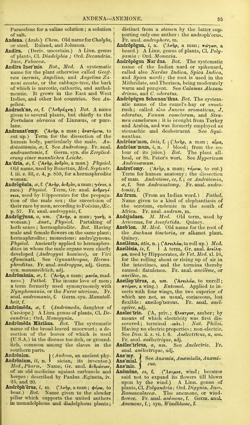 Paracelsus for a saline solution ; a solution ' of salt. I Andena. (Arab.) Chem. Old name for C/iaZj/6s, or steel. Ruland, and Johnson. Andira. (Ueriv. uncertain.) A Linn, genus of plants, CI. Biadeljjliia ; Ord. Decandria. Juss. Fabdcecs. Andira Iner'mis. Bot., Med. A systematic name for the plant otherwise called Geoff- rcBa inermis, Angelina., and Angelina Za- noni acostce, or the cabbage-tree, the bark of which is narcotic, cathartic, and anthel- mentic. It grows in the East and West Indies, and other hot countries. See An- gelica. Andrach'ne, es, f. kv^pixvi]) Bot. A name given to several plants, but chiefly to the Portulaca oleracea of Linnseus, or purs- lane. I Andranat'omy. {'Av^p, a man; avar^fivm., to j cut up.) TeiTn for the dissection of the human body, particularly the male. An- \ drdnatomia, ce, f. See Androtomy. Fr. anal. andranatomie, f. Germ. syn. die Zerglied- erung einer mannlichen Leiche. An'dria, a, f. {'Avijp, avSphs, a man.) Physiol. Old name, used by Bonettus, Med. Septentr. I. iii. s. 32, c. 4, p. 859, for a hermaphrodite woman. Androgenla, ce, f. {'Av^p, afSphs, aman; yevos, a race.) Physiol. Term, Gr. anal. avSpoy^- veia, used by Hippocrates for the propaga- tion of the male sex; the succession of their race by men, according toFoesius, CEc. p. 57. Fr. anal, androgynie, f. Androgynus, a, um. ('Af^jp, a man; yw^, a woman.) Anat., Physiol. Partaking of . both sexes ; hemi aphrodite. Bot. Having male and female flowers on the same plant; hermaphrodite; monecious: andro'gynous. Physiol. Anciently applied to hermaphro- dites in whom the male organs were chiefly developed {Androgyni homines), or Viri effoeminati. See Gynanthropus, Herma- phroditus. Fr. anal, androgyne, adj. Germ. ■ syn. mannweihlich, adj. Andromania, ^, f. ('Acr/p, a man; juai'io, mad- ness.) Pathol. The insane love of men ; a term formerly used synonymously with Nymphomania, or the Furor uterinus. Fr. anal, andromanie, f. Germ. syn. Manntoll- heit, f. Andromeda, «, f. (Andromeda, daughter of Cassiope.) A Linn, genus of plants, CI. De- candria ; Ord. Monogynia. Andromeda Mariana. Bot. The systematic - name of the broad-leaved moorwort; a de- coction of the leaves of wliich is used (U.S.A.) in the disease toe-itch, or ground- itch, common among the slaves in the soutliem parts. Andronion. ) (Andi-on, an ancient phy- Androninm, it, n. j sician, its inventor.) Med.,Pharm. Name, Gr. anal. i.v5p<iviou, of an old medicine against carbuncle and herpes : described by Paulus iEgineta, iv. 25,^and 20. Androph'orus, i, m. ('Av^jp, a man; <pep<t>, to bear.) Bot. Name given to the slender pillar which supports the united anthers in monadelphous and diadelphous plants; distinct from a stamen by the latter sup- porting only one anther: the androph'orus. Fr. anal, androphure, m. Andropogou, i, n. ('Av})p, a man; Trtcyaiv, a beard.) A Linn, genus of plants, CI. Poly- gamia : Ord. Moncecia. Andropogon Nar'dus. Bot. The systematic name of the Indian nard or spikenard, called also Nardus Indica, Spica Indica, and Spica nardi; the root is used in the Mithridate, and Theriaca, being moderately warm and pungent. See Calamus Alexan- drimis, and C. odoratus. Andropogon Schoenan'thus. Bot. The system- atic name of the camel's-hay or sweet- rush ; called also J uncus aromaticus, J. odoratus, Foemim camelorum, and Stra- men camelorum; it is brouglit from Turkey and Arabia, and was formerly employed as stomachic and deobstruent See Squi- nanthus. Androsse'mon, Onis, f. ) {'Av^p, a man ; at/xa, Androsae'mum, i, n. i blood; from the co- lour of its juice.) Bot. The plant all- heal, or St. Peter's wort. See Hypericum Androscemum. Androt'omy. {'Aurjp, a man; Teavco, to cut.) Term for human anatomy : the dissection of man. Andrutdme, es, f.; or AndrOtuniia, ce, f. See Andra)iatomy. Fr. anal, andro- tomie, f. An'drum. (From an Indian word.) Pathol. Name given to a kind of elephantiasis of the scrotum, endemic in the south of Aft'ica. Fr. anal, andrum, m. Andsjudaen. M. Med. Old term, used by Avicenna, for Assafoetida. Quincy. Aneb'ion. M. Med. Old name for the root of the Anchusa tinctoria, or alkanet plant. Quincy. Aneilema, atis, d.| ('Av6i\ectf,toroll up.) Med. Aneilesis, is, f. ) A term, Gr. anal. are/Aij- /xa, used by Hippocrates, de Vet. Med. xl. Ki, for the rolling about or rising up of air in the intestines, and tlie tormina thereby caused: flatulence. Fr. anal, aneileme, or aneilese, m. AneUop'terus, a, um. {'Avei\ea>, to unroll; TTTipov, a wing.) Entomol. Applied to in- sects with four wings, the two superior of which are not, as usual, coriaceous, but flexible: aneilop'terous. Fr. anal, anel- optere, adj. Anelec'tric. ('A, priv.; ijheKTpov, amber; by means of which electricity was first dis- covered; terminal -tichs.) Nat. Philos. Having no electric properties; non-electric. See Diss. ii. s. vi. t. 6. Anelectricus, a, um. Fr. anal, anelectrique, adj. Anelec'tricus, a, um. See Anelectric. Fr. anal, anelectrique, adj. Ane'mSl 1 Ancemia, Ancemialis, Ancemi- Ane'mio.'j Anemone, es, f. (Ave/ios, wind; because said not to expand its flowers till blown upon by the wind.) A Linn, genus of plants, CI. Polyandria; Ord. Digynia. Juss. Ranunculaceoe. The anemone, or wind- flower. Fr. anal, anemone, f. Germ. anaL Anevione, f.; syn. Windblume, f.