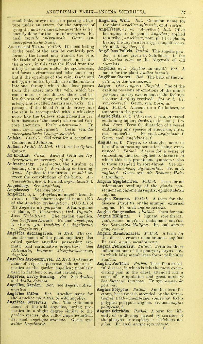 small bole, or eye; used for passing a liga- ture under an ai'ter3', for the purpose of tying it; and so named, because this is fre- quently done for the cure oi aneurism. Fr. final, aiguille amvrysmale. Germ. syn. anevrijf^inatische Nadel. Aaeuris'mal Va'rix. Pathol. If blood letting at the bend of the arm be carelessly per- formed, the lancet may traiTifix the vein, the fascia of the biceps muscle, and enter the artery; in this case the blood from the ai'tery accumulates under the aijoneurosis, and forms a ciixumscribed false aneurism ; but if the openings of the vein, fascia and artery, are united by adhesive inflammation into one, through which the blood passes from the artery into the vein, which be- comes more or less dilated above and be- low the seat of injury, and pulsates like an artery, this is called Aneurismal varix; the passage of the blood from the artery into the vein is accompanied with a whizzing noise like the bellows sound heard in cer- tain diseases of the heart; also called Yaii- cose aneurism. Varix Aneurismalc. Fr. anal, varix anevrysmale. Germ. syn. das anevrysmalische Veiiengcsclnoulst. Aafaka. (Arab.) Old term for a coagulum. Ruland, and Johnson. Anfian. (Arab.) 31. Med. Old term for 02?ntw. t^uincy. An-fir-filius, Chem. Ancient term for Ily- draryyrum, or mercury. Quincy. Anfractuos'ity. {Anfractus, the turning, or bending of a way.) A winding or turning. Anat. Applied to the furrows, or sulci be- tween the convolutions of the brain. Aii- fractuosltas,atis, f. Fr. anal, anfractuosite, f. Angeiology. See Angiology. Angeiotomy, See Angiotomy. Angelica, cc, f. {Angelus^axi angel: from its virtues.) The pharmacopoeial name (E.) • of the Angelica archangelica ; (U.S.A.) of the Angelica atropurpurea. A Linn, genus ■ of plants, CI. Pentandria; Ord. Digynia. Juss. Umbelliferce. The garden angelica. See Geoffraealnermis. Fr. anal, angilique, f. Germ. syn. Angelika, f.; Angelkraut, n.; Engelicurz, f. Angelica Archangel'ica. M. Med. The sys- tematic name of the plant angelica; also called garden angelica, possessing aro- matic and carminative properties. See Milzadella, Princeps Alexiyharmacorum, Angelica. AngelicaAtro-purpii'rea. M.Med. Systematic name of a species possessing the same pro- perties as the garden angelica; popularly used in flatulent colic, and cardialgia. Angel'ica, Ber'ry-Bearing. Bot. See Aralia, and Aralia Spinosa. Angelica, Gar'den. Bot. See Angelica Arch- angelica. Angelica Satlva. Bot. Another name for the Angelica sylvestris, or wild angelica. Angelica, Sylves'tris. Bot. The systematic name of the wild angelica, having pro- perties in a slight degree similar to the garden species; also called Angelica sativa. Fr. anal, angelique sauvage. Germ. syn. wildes Engelkraut. Angelica, Wild. Bot. Common name for the plant Angelica sylvestris, or A. sativa. Angeli'ceus, a, um. {Angelica.) Bot. Of or belonging to the genus Angelica; applied to a tribe {AngclicccB, nom. pi. f.) of plants, having the angelica for a type: angeli'ceous. Fr. anal, angelice, adj. Angellcus Pul'vis, Pathol. The angelic pow- der; a name given by Schroderus to the Mercurius vita, or the Algeroth of old chemists. Angelina, a, f. {Angelus, an angel.) Bet. A name for the plant Andira inermis. Angelinae Cor'tes. Bot. The bark of the^K- gelina, or Andira inermis. An'ger. {Sax. Anger.) Physiol. One of the exciting passions or emotions of the mind; passion; uneasy excitement of the feelings because of injury received. Ira, ce, f. Fr. syn. colere, f. Germ. syn. Zorn, m. Angi. Pathol. Ancient term for buboes, or tumours in the groin. Angiec'tasis, is, f. ('A776roi', a vein, or vessel containing liquor; eKTOTir, extension.) Pa- thol., Surg. Term for dilatation of a vessel embracing any species of aneurism, varix, etc.: angiec'tasis. Fr. anal, angiectasie, f. Germ. anal. Angiektasie, f. Angina, ce, f. (^Ayxi^, to strangle; more or less of a suffocating sensation being expe- rienced. ) Pathol. A term for a sense of suffocation, and, so, applied to diseases in which this is a prominent symptom : also to those attended by sore-throat. See Au- gor, Pmdanchone, Squinanthia. Fr. anal. angine, f. Germ. syn. die Brdune ; Flals- entzundung. Angina Epiglottid'ea. Pathol. Term for an oedematous swelling of the glottis, con- sequent on chronic laryngitis: epiglottide'an angi'na. Angina Exter'na. Pathol. A tei-m for the disease Parotitis, or the mumps : external angina. Fr. anal, angine externe. Angina Gangraenosa. ) Pathol. Term for ma- Angina Malig'na. ) lignant sore-throat: gan'grenous angi'na: malig'nant angi'na. See Scarlatina Maligna. Fr. anal, angine gangrencuse. Angina Membranacea. Pathol. A term for the disease croup : mem'brauous angi'na. Fr. anal, angine rnembraneuse. Angina Pellicularis, Pathol. Term for those inflammations of the pharynx, larynx, etc., in which false membranes form : pellic'ular angi'na. Angina Pec'toris. Pathol. Term for a dread- ful cUsease, in which is felt the most excru- ciating pain in the chest, attended with a sense of strangulation and great anxiety. See Syncope Anginosa. Fr. syn. angine de poitrine. Angina Polyposa. Pathol. Another term for cioup, because it is attended by the forma- tion of a false membrane, somewhat like a polypus: pol'ypous angi'na. Fr. anal, angine polypeuse, f. Angina SoirrMsa. Pathol. A term for diffi- culty of swallowing caused by scirrhus of the pharynx or oesojjhagus : scirrhous an- gi'na. Fr. anal, angine squirrhcuse. 8