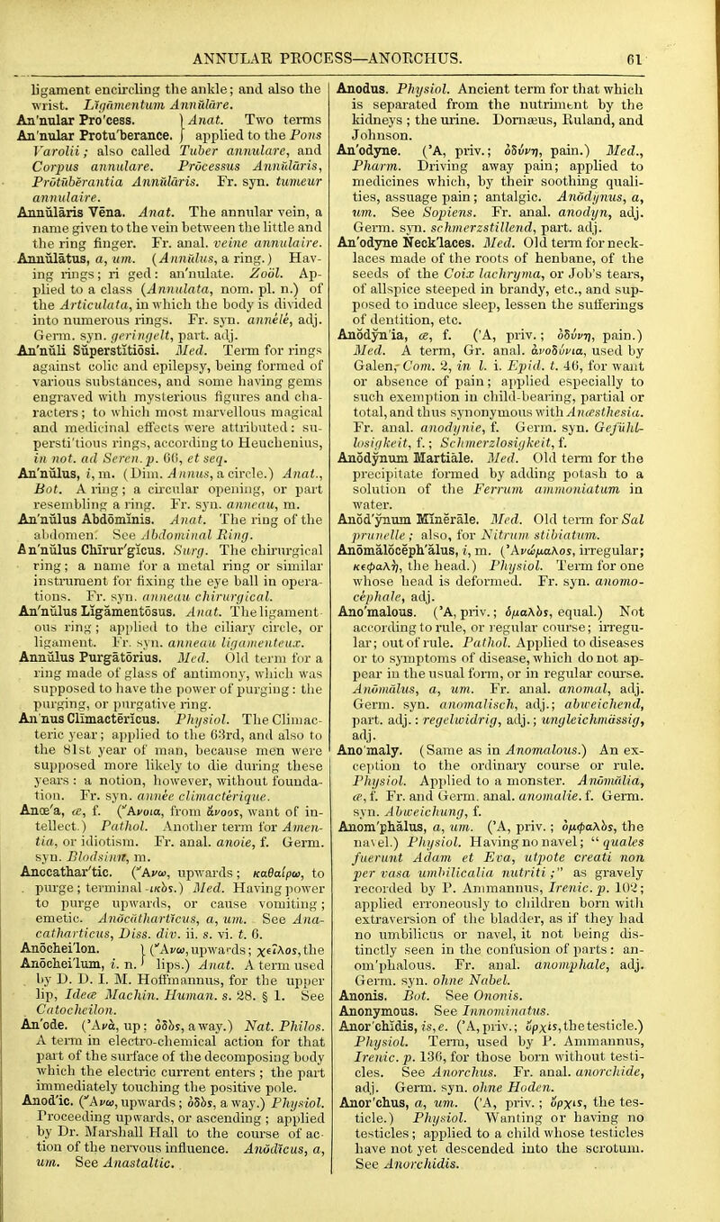 ligament encircling the ankle; and also the wrist. Ligiimmtum Annulare. Aa'ntilar Pro'cess. \Anat. Two terms An'nular Protu'berance, | applied to the Pons Varolii; also called Tuber an7mlare, and Cori^us annulare. Processus Annfdaris, Protuberantia Annularis. Fr. syn. tumeur ann ulaire. Annularis Vena. Anat. The annular vein, a name given to the vein between the little and the ring finger. Fr. anal, veine annulalre. Anniilatus, a, ttm. {Annidus, a. iiag.) Hav- ing rings; ri ged: an'nulate. Zo'61. Ap- plied to a class {Annulata, nom. pi. n.) of the Articulata, in which the body is divided into numerous rings. Fr. syn. annele, adj. Germ. syn. geringeU, part. adj. An'niili Siiperstitiosi. Med. Teitn for rings against cohc and epilepsy, being formed of various substances, and some having gems engraved with mysterious figures and cha- racters; to which most marvellous magical and medicinal effects were attributed: su- persti'tious rings, according to Heuchenius, in not. ad Seven.p. G(i, et seq. An'niilus, i, m. (Dim.a circle.) Anai., Bot. A ring ; a circular opening, or part resembling a ring. Fr. syn. anncau, m. An'niilus Abdominis. Anat. The ring of the filidomcn. See Abdominal Ring. An'niilus Cliirur'gicus. Hm-g. The chirurgical ring; a name for a metal ring or similar instrument for fixing the eye ball in opera- tions. Fr. syn. anneau chirurgical. An'nulus Ligamentosus. Anat. The ligament ous ring ; appHed to the ciliary circle, or ligament. Fr. syn. anneau ligamenteu.v. Anniilus Purgatorius. 3Ied. Old term for a ring made of glass of antimony, which was supposed to liave the power of purging: the purging, or purgative ring. An nus Climactericus. Phijsiol. The Climac- teric year; appHed to tlie 03rd, and also to the 81st year of man, because men were supposed more lilcely to die during these years : a notion, liowever, without founda- tion. Fr. syn. annee climacterique. AncB'a, a, f. (Avoia, from afoos, want of in- tellect.) Pathol. Anotlier term for .(4?ft(,')i- tia, or idiotism. Fr. anal, anoie, f. Germ, syn. Blodsinn, m. Anocathar'tic. (Avw, upwards ; KaBatpw, to . purge ; terminal-iK^r.) 3Ied. Having power to purge upwards, or cause vomiting; emetic. AnociitliartU-ns, a, um. See Ana- catharticus, Diss. div. ii. s. vi. t. 0. Anochei'lon. 1 (Avw,upwards; x^'^'^ositlje Anochei'lum, i. n. > lips.) Anat. A term used , by D. D. I. M. Hoffmannus, for the upper lip, Idece Machin. Human, s. 28. § 1. See Catocheilon. An'ode. ('Ai/o, up: oSbs, away.) Nat. Pliilos. A term in electro-chemical action for that part of the surface of the decomposing body which the electric current enters ; the part immediately touching the positive pole. Anod'ic. (A va), upwards ; o5bj, away.) Physiol. Proceeding upwai-ds, or ascending ; applied by Dr. Marshall Hall to the course of ac- tion of the nervous influence. Anud'icus, a, um. See Anastaltic. Anodus. Physiol. Ancient term for tliat which is separated from the nutrunent by tlie kidneys ; the urine. Domaius, Euland, and Johnson. An'odyne. ('A, pi-iv.; oSvvri, pain.) Med., Pharm. Driving away pain; applied to medicines which, by their soothing quali- ties, assuage pain; antalgic. Anodi/nus, a, um. See Sapiens. Fr. anal, anodyn, adj. Germ. sya. schmerzstillend, part. adj. An'odyne Neck'laces. Med. Old term for neck- laces made of the roots of henbane, of the seeds of the Coix lachryma, or Job's tears, of allspice steeped in brandy, etc., and sup- posed to induce sleep, lessen the sufferings of dentition, etc. Anodyn la, «, f. ('A, priv.; o8wij, pain.) 3Ied. A term, Gr. anal. di'oSucio, used by Galen,-Com. 2, in I. i. Epid. t. 40, for want or absence of pain; applied especially to such exemption in child-bearing, partial or total, and thus synonymous mthAneesthesia. Fr. anal, anodynie, f. Germ. syn. Gefiild- hisigkeit, f.; Sclimerzlosigkeit,f. Anodynuni Martiale. Bled. Old term for the precipitate formed by adding potash to a solution of the Ferrum ammoniatum in water. Anod'ynum Minerals. Med. Old tenn tor Sal prunelle ; also, for Nitniin stUiiatum. Anomaloceph'alus, i, m. {'Avd/jLaKos, irregular; K€<f)aA^, the head.) Physiol. Term for one wliose head is deformed. Fr. syn. anomo- cephede, adj. Ano'malous. ('A, priv.; tfxoKhs, equal.) Not aci^ording to rule, or l egular course; irregu- lar; out of rule. Pathol. Applied to diseases or to symptoms of disease, which do not ap- pear in the usual form, or in regular course. Anointdus, a, um. Fr. anal, anomal, adj. Germ. syn. anomalisch, adj.; abweicheiid, part. adj.: regelwidrig, adj.; unyleichmassig, adj. Ano'maly. (Same as in Anomalous.) An ex- ception to the ordinary course or rule. Physiol. Applied to a monster. Anomfdia, a', f. Fr. and Germ. anal, anomalie. f. Germ, syn. Abweichuny, f. Anom'phalus, a, um. ('A, priv.; dfi<pa\hs, the na\el.) Physiol. Having no navel;  quales fuerunt Adam et Eva, utpote creati non per vasa umhilicalia nutriti; as gravely recorded by P. Ammannus, Irenic. p. 102; applied erroneously to children born with extraversion of the bladder, as if they had no umbilicus or navel, it not being dis- tinctly seen in the confusion of parts : an- om'phalous. Fr. anal, anomphale, adj. Germ. syn. ohne Nabel. Anonis. Bot. See Ononis. Anonymous. See Tnnominatus. Anor'chidis, 7S,f. (A,priv.; opxiSitlietesticle.) Physiol. Term, used by 1*. Ammannus, Irenic. p. 130, for those born without testi- cles. See Anorehus. Fr. anal, anorchide, adj. Germ. syn. ohne Hoden. Anor'chus, a, um. ('A, priv.; opxis, the tes- ticle.) Physiol. Wanting or having no testicles; applied to a child whose testicles have not yet descended into the scrotum. See Anorchidis.