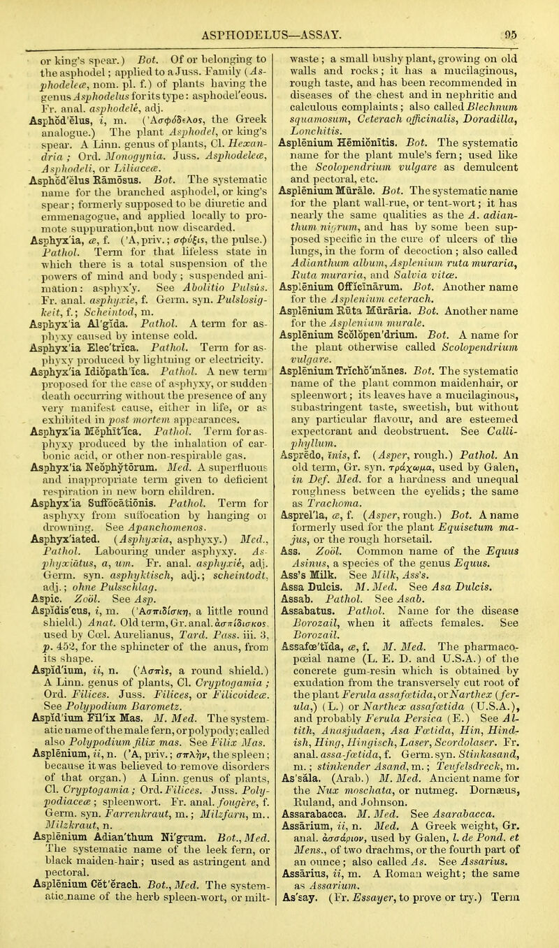 or king's spepa-.) Bot. Of or belonging to the asphodel; applied to a Juss. Family (As- phodelea, nom. pi. f.) of plants haxing the genus ^.sjj/io<?t'?i(,s-for its type: asphodel'eous. I'r. anal. aqjJiodele, adj. Asphod'elus, i, in. ('A(r<p65fKos, the Greek analogue.) The plant A^-phodel, or king's spear. A Linn, genus of plants, CI. Hexan- dria ; OvA. Mnnogynia. Jxiss. Asphodelece, A.tjilwdcli, or Liliace(c. AsphSd'elus Eamosus. Bot. The systematic name for the branched asphodel, or king's speai'; formerlj' supposed to be diuretic and emmenagogue, and applied locally to pro- mote suppm-ation,but now discarded. Asphyx'ia, a, f. ( 'A,priv.; a(pu^is, the pulse.) Fatliol. Tei-m for that lifeless state in which there is a total suspension of the powers of mind and body ; suspended ani- mation : asphyx'y. See Abolitin Pulsus. . 'Er. mm\. ttspliij.vie, {. Geim. syn. Pulslosig- A-f('f, f.; Scheiiitod, m. Aspbyx'ia Al'gida. Pathol. A term for as- ])hyxy caused by intense cold. Asphyx'ia Elec'trlca. Pathol. Term for as- Iiliyxy produced by lightning or electricity. Asphyx'ia Idiopath'ica. Pathol. A new tenn proposed for the case of asphyxy, or sudden death occurring without the presence of any very manifest cause, either in life, or as exhibited in jjo.st mortem appearances. Asphyx'ia MepMt'ica. Patliol. Term for as- phy.^y produced by the inhalation of car- bonic acid, or other non-respirable gas. Asphyx'ia Neophytorum. Med. A superfluous and inapproiiriate term given to deficient re>ipiration in new born children. Asphyx'ia Suifocationis. Pathol. Term for asphyxy from suii'ocation by hanging oi drowning. See Apanchomenos. Asphyxiated. {Asphyxia, asphyxy.) Med., Pathol. Labouring under asphyxy. As lihyxiutus, a, um. Fr. anal, asphyxie, adj. Germ. syn. asphyktisch, adj.; scheintodi, adj.; ohne Pulsscldag. Aspic. Zodl. See Asp. Aspidis'cus, i, m. ('AcririSi'crKTj, a little round shield.) Anat. Old term, Gr. anal. ao-Tn'Sia/cos. used by Cu?l. Aurelianus, Tard. Pass. iii. .'5, p. 45'2, for the sphincter of the anus, from its shape. Aspid'ium, ii, n. ('Ao-iris, a round shield.) A Linn, genus of plants, CI. Cryptoyamia ; Ord. Filices. Juss. Filices, or FilicoidecB. See Polypodium Barometz. Aspid'ium Fil'ix Mas. M. Med. The system- atic name of themale fern, or polypody; called also Polypodium filix mas. See Filix Mas. Asplenium, ii, n. (A, priv.; ci?\7]v, the spleen; because it was believed to remove disorders of that organ.) A Linn, genus of plants, CI. Cryptoyamia; Ord. Filices. Juss. Poly- podiacea ; spleenwort. Fr. anal. /o!(fl'«'e, f. Germ. syn. Farrenkraut, m.; Milzfarn, m.. Milzkraut, n. Asplenium Adian'thum Ni'gmm. Bot., Med. The systematic name of the leek fern, or black maiden-hair; used as astringent and pectoral. Asplenium Cet'erach. Bot., Med. The system- atic.name of the herb spleeu-wort, or milt- waste ; a small bushy plant, growing on old walls and rocks; it has a mucilaginous, rough taste, and has been recommended in diseases of the chest and in nephritic and calculous comjilaints; also called iJ/ec/MMure squamosum., Ceterach officinalis, Doradilla, Lonchitis. Asplenium Hemionitis, Bot. The systematic name for the plant mule's fern; used like the Scolopendrium vulgare as demulcent and pectoi-al, etc. Asplenium Murale. Bot. The systematic name for the plant wall-rue, or tent-wort; it has nearly tlie same qualities as the A. adian- thum nil/rum, and has by some been sup- posed specific in the ciu-e of ulcers of the lungs, in the form of decoction ; also called Adianthum album, Asplenium ruta muraria, Rata 7nuraria, and Salvia vitce. Asplenium Officinarum. Bot. Another name for the Asplenium ceterach. Asplenium Riita Muraria. Bot. Another name for the Aspleiiiufu murale. Asplenium Scolopen'drium. Bot. A name for the plant otherwise called Scolopendrium vulgare. Asplenium Tricho'manes. Bot. The systematic name of the plant common maidenliair, or spleenwort; its leaves have a mucilaginous, subastringent taste, sweetish, but without any particular flavoxir, and are esteemed expectorant and deobstrueut. See Calli- phyllum. Aspredo, Inis, f. {Asper, rough.) Pathol. An old tenn, Gr. syn. Tpdxoofia, used by Galen, in Def. Med. for a hardness and unequal roughness between the eyelids; the same as Trachoma. Asprel'ia, cE, f. {Asper, rongh.) Bot. Ajiame formerly used for the plant Equisetum ma- jus, or the rough horsetail. Ass. Zo'61. Common name of the Equus Asinus, a species of the genus Equus. Ass's MUk. See Blilk, Ass's. Assa Dulcis. M.Med. See Asa Dulcis. Assah. Pathol. See Asab. Assabatus. Pathol. Name for the disease Borozail, when it affects females. See Bo7vzail. Assafoe'tida, ce, f. M. Med. The pharmaco.- poeial name (L. E. D. and U.S.A.) of the concrete gum-resin which is obtained by exudation from the transversely cut root of the plant Ferula assafaitida, orNarthex {fer- ula,) (L.) or Narthex assafoitida (U.S.A.), and probably Ferula Persica (E.) See Al- tith, Anasjudaen, Asa Fatida, Hin, Hind- ish, Hiny, Hinyisch, Laser, Scordolaser. Fr. anal, assa-foetida, f. Germ. syn. Stinkasand, m.; stinkender Asand, m.; Tcufclsdreck, m. As'sala. (Arab.) M.Med. Ancient name for tlie Nux moschata, or nutmeg. Dornseus, Ruland, and Johnson. Assarabacca. M. Med. See Asarabacca. Assarium, ii, n. Med. A Greek weight, Gr. anal, aaadpiov, used by Galen, I. de Pond, et Mens., of two drachms, or the fourth part of an otmce ; also called As. See Assarius. Assarius, ii, m. A Eomaii weight; the same as Assarium. As'say. (Fr. Essayer, to prove or try.) Term