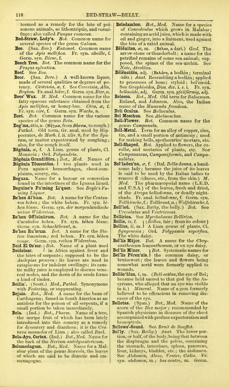 teemed as a remedy for the bite of poi- sonous animals, as lithontriptic, and vermi- fuge ; also called Fungus rosacem. Bed-Straw, Lady's. Bot. Common name for several species of the genus Galium. Bee. (Sax. Beo.) Entomol. Common name of the Apis melUfica. Fr. syn. abeille, f. Germ. syn. Biene, f. Beech Tree. Bot. The common name for the Fragus sylvatica. Beef. See Bos. Beer. (Sax. Bere.) A ■well-known liquor, made of several qualities or degrees of po- tency. Cerevlsia, ce, f. See Cerevisia, Alia, Bryton. Fr. anal, fa/ere, f. Germ. syn. Bier,n. Bees' Wax. 31. Med. Common name for the fatty opaeous substance obtained from the Apis mellifica, or honey-bee. Cera, ce, f. Fr. syn. cire, f. Germ. syn. Waclis, n. Beet. Bot. Common name for the various species of the genus Beta. Beg'ma, dtis, n. {Briy/xa, from ^-hacrw, to cough.) Pathol. Old term, Gr. anal, used by Hip- pocrates, de Morb. I. ii. xliv. 8, for the Spu- tum, or matter expectorated by coughing; also, for the cough itself. Begonia, f. A Linn, genus of plants, CI. MIoncecia ; Ord. Polyandria. Begonia Grandiflora. i Bot., Med. Names of Begonia T6ment5sa, j two plants used in Peru against hemorrhages, chest-com- plaints, scurvy, etc. Beguan. Name for a bezoar or concretion found in the intestines of the Iguana lizard. Beguine's Fu'ming Li'quor. See Boyle's Fu- ming Liquor. Belien Al'bum. Bot. A name for the Centau- rea bchen; the white behen. Fr. syn. he- licn blanc. Germ. syn. der morgenlandische tueisse IJ'iderstoss. Belieu Officinarum. Bot. A name for the Cucubalus bchen. Fr. syn. behen blanc. Germ. syn. Schachtkraut, n. BeTien Ku'brum. Bot. A name for the Sta- tice limonium; red behen. Fr. syn. behen rnnge. Germ. syn. rothcn Widerstoss. Beid El Os'sar. i Bot. Name of a plant used Beidelsar. ) in Afiica against fever and the bites of serpents ; supposed to be the Asclepias procera: its leaves are used in cataplasms for indolent swellings; its caus- tic milky juice is employed to discuss vene- real nodes, and the down of its seeds forms a kind of tinder. Beilin'. (Scott.) Med., Pathol. Synonymous with Festering, or suppurating. Bejuio. Bot., Med. A name for the bean of Carthagena; famed in South America as an antidote for the poison of all serpents, if a small portion be taken immediately. Bela. (Ind.) Bot., Pharm. Name of a ti-ee, the unnpe fruit of which has been lately introduced into this country as a remedy for dysentery and diarrlxra; it is the Cra- treva mannclns of Linn.; also called Bael. Bela-Aye, Cortex. (lud.) Bot.,l\Ied. Name for tb(! b.-ivk of the Neriim antidysentericum. Belamodagam. Bot., Med. NameforaMal- ul)!U' plant of the genus Sctevola, the leaves of wliicli are said to be diuretic and em- meuagoguo. Beledamboo. Bot., Med. Name for a species of Convolvulus which grows in Malabar; containing an aei-id juice, which is made with oil and ginger, into a linimeut, used against the bite of a rabid animal. Belenites, tE, m. (BeAos, adart.) Geol. The arrow-stone or thunderbolt; a name for the petrified remains of some sea-animal; sup- posed, the spines of the sea-urchin. See Note, Aerolites. Belenoides, adj. (BeXJcr), a bodkin ; terminal -Ides.) Anat. Eesembling a bodkin; applied to processes of bone; styloid: bel'enoid. See Graphioides, Diss. div. i. s. i. Fr. sjti. belenoide, adj. Germ. syn.pfeilformig, adj. Beleson. Bot., Bled. Old term tor Balsamum. Euland, and Johnson. Also, the Indian name of the Mussenda frondosa. Beli Oculus. See Belloculus. Bel Moschus. See Abelrnoschus. Bell-Flower. Bot. Common name for the genus Campanula. Bell-Metal. Term for an alloy of copper, zinc, tin, and a small portion of antimony ; used for making bells, apothecaries' mortars, etc. Bell-Shaped. Bot. Applied to flowers, the co- rolla, and nectaries of plants, etc. Sea Campanaceus, Campaniformis, and Campa- nulfitus. Bel'ladon'na, ce, f. (Ital. Bella donna, a hand- some lady; because the juice of its leaves is said to be used by the Italian ladies to remove fl ridness, etc., fi-om the skin.) M. Med. The pharmacopuoial name (L.E.D. and U.S.A.) of the leaves, fresh and dried, of the Atropa belladonna, or deadly night- shade. Fr. anal, belladnnne, f. Genn. syn. ToUkirsche,f.; Tollkraut,n.; Wolfskirsche,L Bell'ied. {Sax. Balig, the heWy.) Bot. See Urceolatus and Ventricosiis. BeUirica. See Myrohalanus Bellirica. Bellis, is, f. ) (Belhis, fair; from its colour.) Bellius, ii, m.) A Linn, genus of plants, CI. Syngenesia; Ord. Polygamia superflua. The white daisy. Bellis Major. Bot. A name for the Chry- santhemum Icucanthemum, or ox-eye daisy. Bel'Us Minor. ■> Bot. Systematic names for Bellis Peren'nis. J the common daisy, or bruisewort; the leaves and flowers being somewhat acrid were formerly apphed to wounds. BeUoc'iilus, i,m. (BcH ocilhw, the eye of Bel; because held sacred to that god by the As- syrians, who alleged that an ej'e was risible in it.) Mineral. Name of a gem formerly believed to be efficacious in removing dis- eases of the eye. Bellotas. (Span.) Bot., Med. Name of the acorn of the Ilex major ; recommended by Spanish pliysicians in diseases of the chest accompanied with profuse expectoration and hemoptysis. Bellows'-Sound. See Bruit de Soufflet. Belly. (Siix. Brelig.) Anat. The lower por- tion, or half, of the liody. being tlint between the diaphragm and the pelvis, containing the stomach, intestines, spleen, pancreas, liver, kidneys, bladder, etc.; the abdomen. See Abdomen, Alvus, Venter, Cmlia. Fr. syn. abdomen, m.; bas-vcntre, m. Germ.