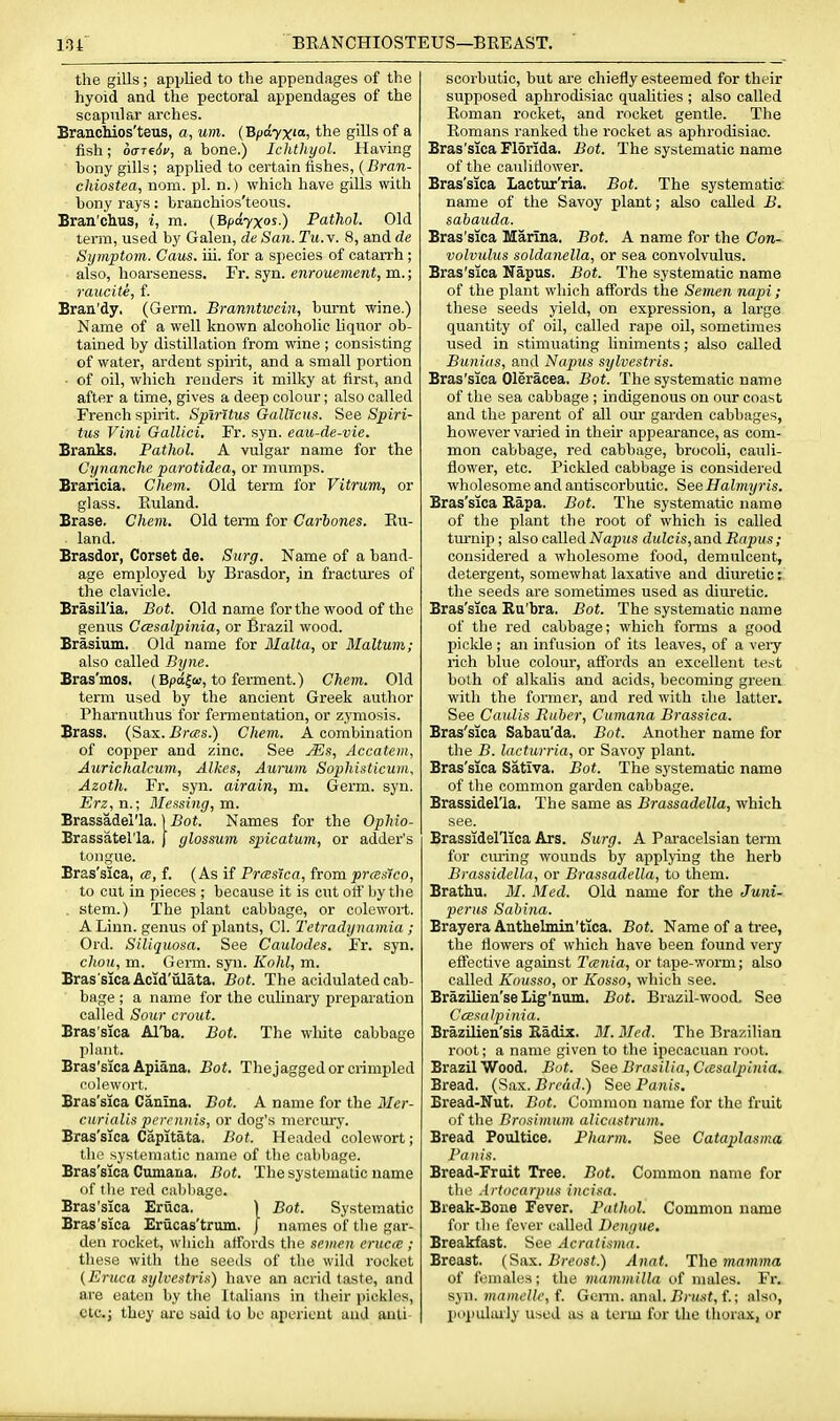 the gills; applied to the appendages of the hyoid and the pectoral appendages of the scapular arches. BrancMos'teus, a, um. {Bpdyxia, the gills of a fish; oaTiSv, a hone.) Ichthyol. Having hony gills; applied to certain fishes, {Bran- chiostea, nom. pi. n.) which have gills with hony rays: hranchios'teous. Bran'chus, i, m. (Bpdyx^ ) Pathol. Old term, used by Galen, de San. Tu.\. 8, and de Symptom. Caus. iii. for a species of catarrh; also, hoarseness. Fr. syn. enrouement, m.; raucite, i. Brau'dy. (Germ. Branntwein, humt wine.) Name of a well known alcoholic liquor oh- tained by distillation from wine ; consisting of water, ardent spirit, and a small portion - of oil, which renders it milky at first, and after a time, gives a deep colour; also called French spirit. Spirttus Gallicus. See Spiri- tus Vini Galliei, Fr. syn. eau-de-vie. Branks. Pathol. A vulgar name for the Cynanche parotidea, or mumps. Braricia, Chem. Old term for Vitrum, or glass. Euland. Brase. Chem. Old term for Carhones. Eu- land. Brasdor, Corset de. Surg. Name of a hand- age employed hy Brasdor, in fractures of the clavicle. Brasilia. Bat. Old name for the wood of the genus Ccesalpinia, or Brazil wood. Brasium. Old name for Malta, or Maltum; also called Byne. Bras'mos. (B/>a|a!, to ferment.) Chem. Old term used hy the ancient Greek author Pharnuthus for fermentation, or zymosis. Brass. (Sax. Bras.) Chem. A combination of copper and zinc. See Ma, Accatem, Aurichalcum, Alkes, Aumin Sophisticum, Azoth. Fr. syn. airain, m. Germ. syn. Erz, n.; Messing, m. Brassadel'la,) Bof. Names for the Ophio- Brassatel'la. ) glossum spicatum, or adder's tongue. Bras'sica, <b, f. (As if Prcssica, from prasico, to cut in pieces ; because it is cut off by the . stem.) The plant cabbage, or colewoi-t. A Linn, genus of plants, CI. Tetradynamia ; Old. Siliquosa. See Caulodes. Fr. syn. chou, m. Germ. syn. Kohl, m. Bras'sica Acid'ulata. Bat. The acidulated cab- bage ; a name for the culinary preparation called Sour crout. Bras'sica AlTja. Bat. The white cabbage I)lant. Bras'sica Apiana. Bot. Thejaggedor crimpled colewort. Bras'sica Canina. Bot. A name for the 3Ier- carialis perrnnis, or dog's mercury. Bras'sica Capitata. Bot. Headed colewort; thi.^ systemutic name of the cabbage. Bras'sica Cmnana. Bot. The systematic name of the red ciibliage. Bras'sica Eruca, \ Bot. Systematic Bras'sica Erucas'trum. } names of the gar- den rocket, which affords the semen critcfc ; these with the seeds of tlie wild rocket (Eruca sylcestris) liave an acrid taste, and are eaten by the Italians in their pickles, etc.; they arc said to bo aperient and anti- scorbutic, but ai-e chiefly esteemed for their supposed aphrodisiac qualities ; also called Eoman rocket, and rocket gentle. The Eomans ranked the rocket as aphrodisiac. Bras'sica Florida. Bot. The systematic name of the cauHtlower. Bras'sica Lactur'ria. Bot. The systematic: name of the Savoy plant; also called B. sabauda. Bras'sica Marina. Bot. A name for the Con- volvulus soldanella, or sea convolvulus. Bras'sica Napus. Bot. The systematic name of the plant which affords the Semen napi; these seeds yield, on expression, a large quantity of oil, called rape oil, sometimes used in stimuating liniments; also called Bunias, and Napus sylvestris. Bras'sica Oleracea. Bot. The systematic name of the sea cabbage ; indigenous on our coast and the parent of all om- garden cabbages, however varied in their appearance, as com- mon cabbage, red cabbage, brocoU, cauli- flower, etc. Pickled cabbage is considered wholesome and antiscorbutic. SeeHalmyris. Bras'sica Rapa. Bot. The systematic name of the plant the root of which is called turnip; also called Napus dulcis, and Bcqnis; considered a wholesome food, demulcent, detergent, somewhat laxative and diuretic: the seeds are sometimes used as diuretic. Bras'sica Ru'bra. Bot. The systematic name of the red cabbage; which forms a good piclde; an infusion of its leaves, of a very rich blue colour, affords an excellent test both of alkalis and acids, becoming green with the former, and red with the latter. See Caulis Ruber, Cumana Brassica. Bras'sica Sabau'da. Bot. Another name for the B. lacturria, or Savoy plant. Bras'sica Sativa. Bot. The systematic name of the common garden cabbage. Brassidel'la. The same as Brassadclla, which see. Brassidellica Ars. Surg. A Paracelsian term for cm-ing wounds by applying the herb Brassidella, or Brassadella, to them. Brathu. M. Med. Old name for the Juni- perus Sabina. Brayera Antlielmin'tica. Bot. Name of a tree, the flowers of which have been found very effective against Tania, or tape-worm; also called Kousso, or Kosso, which see. BrazlHen'se Lig'num. Bot. Brazil-wood, See Ccesalpinia. BraziUen'sis Radix. M. Med. The Brazilian root; a name given to the ipecacuan root. Brazilwood. Bot. See Brasilia, Ctesalpinia. Bread. (Sax. BccacL) See Panis. Bread-Nut. Bot. Common name for the fruit of the Brosimum alicastrujn. Bread Poultice. Pharm. See Cataplasma Panis. Bread-Fruit Tree. Bot. Common name for the .irtocarpus incisa. Break-Boue Fever. Pathol. Common name for the fever called Dengue, Breakfast. See Acratisma. Breast. (Sax. Breast.) Anat. The mamma of foiiial(!s; the mammilla of males. Fr. syi\. mamelk, f. Gcnn. anal. l?nt.s't, f.; also, l)opulai]y used as u term for the thorax, or