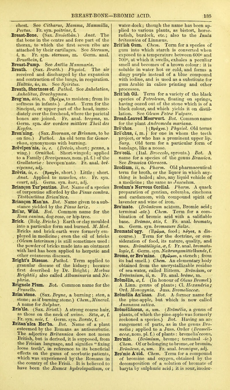 BEEAST-BONE—BROMIC ACID. 1S5 chest. See Citharus, Mamma, Mammilla, Pectus. Fr. syn. poitrine, f. Breast-Bone. (Sax. Breusthan.) Anat. The flat bone in the centre and fore part of the thorax, to which the first seven ribs are attached by their cartilages. See Sternum, i, n. Fr. syn. sternum, m. Genn. anal. Brustbein, f. Breast-Pump. See Antlia Mammaria. Breath. (Sax. Brmth.) Physiol. The air received and discharged by the expansion and contraction of tlie hings, in respu'ation. HalUus, us, m. See Spiritus. Breath, Shortness of. Pathol. See Anhelation, Anheiitus, Brachijpnaa. Breg'ma, dtis, n. (Bfiexw,to moisten; from its softness in infants.) A7iat. Term for tlie Sinciput, or upper part of the head, imme- diately over the forehead, where the parietal bones are joined. Fr. anal, bregma, m. Germ. syn. der vordere mittlere Theil des Kopfes. Bren'ning. (Sax. Beornan, or Brinnan, to be on fire.) Pathol. An old term for Gonor- rhcea, synonymous with bvirning. Brevipen'nis, is, e. (Brevis, short; penna, a wing.) Ornithol. Short-winged; applied to a Family {Brevipennes, nom. pi. f.) of the GrallatoricB: brevipen'nate. Fr. anal, bre- vipenne, adj. Brevis, is, e. (Bpox^r, short.) Little; short. Anat. Apphed to muscles, etc. Fr. syn. court, adj. Germ. syn. kurz, adj. Brian^on Tur'pentine. Bot. Name of a species of turpentine afforded by the Pinus combra. Terehintlnna Brian'ttca. Brian9on Man'na. Bot. Name given to a sub- stance yielded by the Pinus larix. Bri'ar, Wild. Bot. Common name for the Rosa canina, dog-rose, or hip-tree. Brick. (Jielg.Bricke.) Earth or clay moulded into a paiticular form and burned. M. Med. Bricks and brick-earth were formerly em- . ployed in medicine; even the oil of bricks . (Oleum laterinum) is still sometimes used : the powder of bricks made into an ointment with lard has been applied to herpetic and other cutaneous diseases. Bright's Disease. Pathol. Term applied to granular disease of the kidney; because first described by Dr. Bright; Morbus Brightii; also called Albuminuria and Ne- phria. Brignole Plum. Bot. Common name for the Prunello. Brim stone. (Sax. Bryne, a burning ; stan, a stone; as if burning stone.) Chem.,Mineral. A name for Sulphur. Bris'tle. {Sax. Bristl.) A strong coarse hair, as those on the neck of swine. Seta, as, f. Fr. syn. soxe, f. Germ. syn. Borste, f. Britan'nica HerT)a. Bot. Name of a plant esteemed by the Eomans as antiscorbutic. The adjective Britannica does not mean British, but is derived, it is supposed, from the Frisian language, and signifies  fixing loose teeth, in reference to its beneficial effects on the gums of scorbutic patients, which was experienced by the Eomans in the country of the Frisii. It is believed to have been the .Rumex hydrolapathum, or water-dock; though the name has been ap- plied to various plants, as bistort, horse- radish, burdock, etc.; also to the Inula britannica of Linnaeus. Brit'ish Gum, Chem. Term for a species of gum into which starch is converted when exposed to a temperature between 600° and 700°, at which it swells, exhales a peculiar smell and becomes of a brown colour: it is soluble in water hot or cold, and foims a dingy piu^le instead of a blue compound with iodine, and is used as a substitute for gum Aiabic in calico printing and other processes. Brit'ish Oil. Term for a variety of the black species of Petroleum, floating on springs, having oozed out of the stone which is of a black colour, and which yields it on distil- lation. See Oleum PetrcB Vulgare. Broad-Leaved Moorwort. Bot. Common name for the plant Andromeda mariana. Bro'chos. ) {Bp6xos.) Physiol. Old terms Bro'chus, i,m.\ for one in whom the teeth project, or who has a prominent upper lip. Surg. Old teim for a paiticular form of bandage, like a noose. Ero'coli. (Ital. Broccolo, sprouts.) Bot. A name for a species of the genus Brassica. See Brassica Oleracea. Brodium, ii, n. Pharm. Old pharmaceutical term for broth, or the hquor in which any- thing is boiled; also, any liquid vehicle of a medicine ; the same as Jasculum. Brodum's Nervous Cordial. Pharm. A quack preparation of gentian, columba, cinchona and cardamom, with compound spirit of lavender and wine of iron. Bro'mate. {BrOmtcum acidum, Bromic acid; terminal -ate.) Chem. Term for a com- bination of bromic acid with a salifiable base. Brimas, atis, f. Fr. anal, bromate, m. Germ. syn. bromsaure Salze. Bromatol'ogy. CBpHna, food; \6yos, a dis- course.) Term for the doctrine, or con- sideration of food, its nature, quaUty, and uses. Broinat6l6gia,<E,i. Fr.anal, ftromafo- logie, f. Germ. syn. Nahrungsmittelhunde, f. Brome, or Bro'mine. (Bpwfios, a stench ; from its bad smell.) Chem. An elementary body obtained from the uncrystallizable residue of sea-water, called Bittern. Brovdum, or Brmninium, ii, n. Fr. anal, brome, m. Bromelia, cb, f. (In honour of Olaus Bromel.) A Linn, genus of plants; C\. Hexandria; Ord. Monogynia. Juss. Bromeliacew. Bromelia Au'anas. Bot. A former name for the pine apple, but which is now called Ananassa sativa. Bromeliaceus, a, um. (Bromelia, a genus of plants, of which the pine-apple was formerly reckoned a species.) Bot. Having an ar- rangement of parts, as in the genus Bro- melia; applied to a Juss. Order {Bromeli- acecB, noni. pi. f.) of plants : bromelia'ceous. Bro'mic. {Brumium, brome; terminal -ic.) Chem. Of or belonging to brome, or bromin. Brom'icus, a, um. Fr. anal, bromique, adj. Bro'mic A'cid, Chem. Term for a compound of bromine and oxygen, obtained by the decomposition of a solution of bromate of bai'yta by svilphuric acid; it is sour, iuodor-