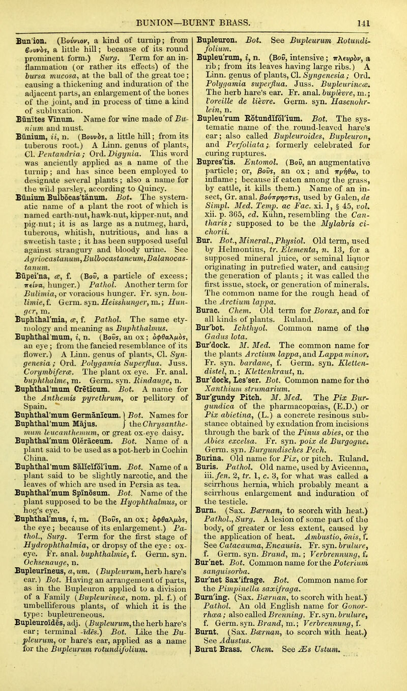 BUNION—BURNT BRASS. Ill Bunion. (Jioinou, a kind of turnip; from Suvvhs, a little hiU; because of its round prominent form.) Surg. Tenn for an in- flammation (or rather its effects) of the bursa mucosa, at the ball of the great toe ; causing a thickening and indmation of the adjacent parts, an enlargement of the bones of the joint, and in process of time a kind of subluxation. Bunites Yinum. Name for wine made of Bu- nium and must. Bunium, ii, n. {Bovvhs, a little hill; from its tuberous root.) A Linn, genus of plants, C\. Pentandria ; Old. Digtjnia. This word was anciently applied as a name of the turnip; and has since been employed to designate several plants; also a name for the wild parsley, according to Quincy. Buuium Bulbocas'tanum. Bot. The system- atic name of a plant the root of which is named earth-nut, hawk-nut, kipper-nut, and pig nut; it is as large as a nutmeg, hard, tuberous, whitish, nuUitious, and has a sweetish taste ; it has been supposed useful against strangury and bloody urine. See Ayriocastanum,Bulhocastancum,Balanocas- tanum. Bupei'na, a, f. (Bo5, a particle of excess; TTciVa, hunger.) Pathol. Another tenn for Bulimia, or voracious hunger. Fr. syn. hou- limie,i. Germ. syn. Heisshunger,m.; Hun- ger, m. Buphthal'mia, <e, f. Pathol. The same ety- mology and meaning as Btiphthalnms. Buphthal'mum, i, n. (BoGj, au ox ; 6(p9a\iJ.6s, an eye; from the fancied resemblance of its flower.) A Linn, genus of plants, CI. Syn- genesia ; Ord. Polygamia Superjiua. Juss. CorymbifercB. The plant ox eye. Fr. anal. buphthalme, ra. Genn. syn. Bindauge, n. Buphtharmom Creticum. Bot. A name for the Anthemis pyrethi-um, or pellitory of Spain. Buphthal'mum Germamcum. \Bot. Names for Eaphthal'mum Majus. J the Chrysanthe- mum leucantliemum, or great ox-eye daisy. Buphthal'mum Oleraceum. Bot. Name of a plant said to be used as a pot-herb in Cochin China. Buphthal'mum Saliciforium. Bot. Name of a plant said to be slightly narcotic, and the leaves of which are used in Persia as tea. Buphthal'mum Spinosum. Bot. Name of the plant supposed to be the Hyophthalmus, or hog's eye. Buphthal'mus, i, m. (BoOj, an ox; o(pea\fihs, the eye ; because of its enlai'gement.) Pa- thol., Surg. Term for the first stage of Hydrophthalmia, or dropsy of the eye: ox- eye. Fr. anal, buphthalmie, f. Germ. syn. Ochsenauge, n. Bnpleurlneus, a, urn. (Bupleurum, herb hare's ear.) Bot. Having an arrangement of parts, as in the Bupleuron applied to a division of a Family [Bupleurinece, nom. pi. f.) of umbelliferous plants, of which it is the type: bupleureneous. Bupleuroides, adj. {Bupleurum, the herb hare's ear; terminal -Ides.) Bot. Like the Bu- pleurum, or hare's ear, applied as a name for the Bupleurum, rotundij'olium. Bupleuron, Bot. See Bupleurum Rotuiidi- folium. Bupleu'rum, i, n. (BoC, intensive; irMvphv, a rib ; from its leaves having large ribs.) A Linn, genus of plants, CI. Syngenesia ; Ord. Polygamia superjiua. Juss. Bupleurineoe, The herb hare's ear. Fr. anal, buplevre, m.; Voreille de lievre. Germ. syn. Hasenohr- lein, n. Bupleu'rum Kotundiforium. Bot. The sys- tematic name of the rouud-leaved hai-e's ear; also called Bupleuroides, Bupleuron, and PerfoUata; formerly celebrated for curing ruptures. Bupres'tis. Entomol. (BoD, an augmentative particle; or, fiovs, an ox; and Trfi-fidw, to inflame; because if eaten among the grass, by cattle, it kills them.) Name of an in- sect, Gr. anal. ^ouirpriaTts, used by Galen, de Simpl. Med. Temp, ac Fac. xi. ], § 45, vol. xii. p. 305, ed. Kiihn, resembling the Can- tharis; supposed to be the Myldbris ci- chorii. Bur. Bot., Mineral., Physiol. Old term, used by Helmontius, tr. Elementa, n. 13, for a supposed mineral juice, or seminal liquor originating in putrefied water, and causing the generation of plants ; it was called the first issue, stock, or generation of minerals. The common name for the rough head of the Arctium lappa. Burac. Chem. Old term for Borax, and for aU kinds of plants. Ruland. BurTjot. Ichthyol. Common name of the Gadus lota. Bur'dock. M. Med. The common name for the plants Arctium lappa, and Lappa ruinur. Fr. syn. bardane, f. Germ. syn. Kletten- distel, n.; Klettenhraut, n. Bur'dock, Les'ser. Bot. Common name for the Xanthiwii strumarium. Bur'gundy Pitch. M. Med. The Fix Bur- gimdica of the pharmacopoeias, (E.D.) or Fix abietina, (L.) a concrete resinous sub- stance obtained by exudation from incisions through the bark of the Pinus dbies, or the Abies excelsa. Fr. syn. poix de Burgogne. Germ. syn. Burgundisches Pech. Borina. Old name for Pix, or pitch. Euland. Buris. Pathol. Old name, used by Avicenna, iii. fen. 2, tr. I, c. 3, for what was called a scirrhous hernia, which probably meant a sciiThous enlargement and induration of the testicle. Bum. (Sax. Bcernan, to scorch with heat.) Pathol., Surg. A lesion of some part of the body, of greater or less extent, caused by the application of heat. Ambustio, unis, f. See Catacauma, Encausis. Fr. syn. brulure, f. Geim. syn. Brand, m.; Verbrennung, ft Bur'net. Bot. Common name for the Potertunt sanguisorba. Bur'net Sax'ifrage. Bot. Common name for the Pimpinella saxifraga. Bura'ing. (Sax. Bairuan, to scorch with heat.) Pathol. An old English name for Gonor- rhma; also called Bren?ijn^. Fr.syn. 6?-wZu.re, f. Germ. syn.-Brand, m.; Verbrennung, i. Burnt. (Sax. jBtBTOan, to scorch with heat.) See Adustus. Biu'at Brass. Chem. See .^s Ustum.