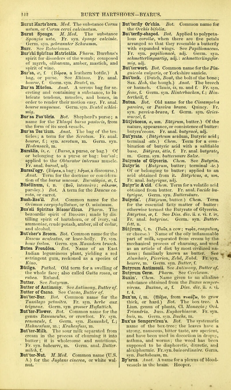 Burnt Harts'horn, Med. The substance Cornu ustum, or Curnu cervi calcinatum. Burnt Sponge. 31. Med. The substance Spoiiijia usta. Fr. syn. eponge calcinee. Germ. syn. gehrannter Schwamm. Bun*. See Rotocismus. Bur'rhi Spiritus Matricalis. Pharm. Burrhus's spirit for disorders of the womb; composed of myrrh, olibanum, amber, mastich, and spirit of wine. Bur'sa, ce, f. {Bvpaa, a leathern bottle.) A bag, or purse. See Rhinos. Fx. anal. bourse, f. Germ. syn. Beutel, m. Bur'sa Mucosa. Anat. A serous bag for se- creting and containing a substance, to lu- bricate tendons, muscles, and bones, in order to render their motion easy. Fr. anal. bourse muqueuse. Germ. syn. Beutel schlei- mig. Bur'sa Pas'toris, Bot. Shepherd's purse; a name for the Thlaspi bursa pastoris, from the form of its seed-vessels. Bur'sa Tes'tium. Anat. Tlie bag of the tes- ticles ; a term for tlie Scrotum. Fr. anal. bourse, f.; syn. scrotum, m. Germ. syn. Hndensack, m. Bursalis, is, e. (Bursa, a purse, or bag.) Of or belonging to a purse or bag: bur'sal; applied to the Obturator internus muscle. Fr. anal, bursal, adj. Bursal'Dgy. (Bup(To,a bag; A({70$,a discourse.) Anat. Tenn for the doctrine or considera- tion of the bursce mucosa. Bursnlogia, ce, f. Biiselinum, i, n. (BoD, intensive; aihivov, jiarsley.) Bot. A tenn for the Daucus ca- rnta., or carrot. Bush-Bas'il. Bot. Common name for the Orimiim caryophyUatuin, or 0. minimum. Bus'sii Spiritus Bezoar'dicus. Pharm. Tlie bezoardic spirit of Bussius; made by dis- tilling spirit of hartsliorn, or of ivory, sal ammoniac, crude potash, amber, oil of cedar, and alcohol. But'cher's Broom. Bot. Common name for the Ruscus aculeatus, or knee-holly. Fr. syn. hou.v frelon. Germ. syn. Maundern brusch. Butea Frondosa. Bot. Name of an East Indian leguminous plant, yielding a red astringent gum, reckoned as a species of Kino. BiitTga. Pathol. Old term for a swelling of the whole face; also called Gutta rosea, or riibea. Ruland. Butter. See Bntyrum. Butter of Antimony. See Antimony, Butter of. Butter of Cacao. See Cacao, Butter of. But'ter-Bur. Bot. Common name for the Tussilago petasitcs. Fr. syn. herbe aux tcignenx. Germ. syn. grosser Huflattich. But'ter-Flower. Bot. Common name for tlie genus Rammeulus, or crowfoot. Fr. syn. renoncule, f. Genu. syn. Ranunkcl, f.; Tfnhnrn fuss, m.; Kruhcnfuss, m. But'ter-Milk. The sour milk separated from cream in the process of churning it into butter; it is wholesome and nutritious. Fr. syn. babeurrc, m. Germ. anal. Buttcr- mih-h, f. But'ter-Nut. M. Med. Common name (U.S. A.) for the Juglans cincrea, or white wal- nut. ' But'terfly Or'cMs. Bot. Common name for the Orchis bifolia. But'terfly-shaped, Bot. Applied to polypeta- lous coroUce, when there are five petals arranged so that they resemble a butterily with expanded wings. See Papilionaceus. Fr. syn. papilionace, adj. Geim. syn. schmetterlingsartig, adj.: schmetterlingsfor- mig, adj. But'terwort. Bot. Common name for the Pin- guicola vulgaris, or Yorkshire sanicle. But'tock, (Dutch, Bout, the bolt of the bone ; Sax. Hoh, the hough.) Aiiat. The breech or haunch. Clunis, is, m. and f. Fr. syn. fesse, i. Germ. sj-n. Hinterbacken, f.; Hin- tertheil, f. Butua. Bot. Old name for the Gissampelos pareira, or Pareira brava. Quincy. Fr. syn. pareira brava, f. Germ. syn. Gries- wurzel, f. Biityraoeus, a, MOT. Butyrum, hutter.) Of the nature, appearance, or consistence of butter: butyra'ceous. Fr. anal, butyrace, adj. But'3rrate. (Butjjricum acidmn, Butyiic acid; terminal -ate.) Chem. Term for a com- bination of butyric acid with a salifiable base. Butijras, atis, f. Fr. anal, butyrate, m. Germ. syn. buttersaure Salze. Butyrate of Glycerin. Chem. See Butyrin. Butjrr'ic. (Butyrum, butter; terminal -ic.) Of or belonging to butter; applied to an acid obtained from it. Buti/ricus, a, tun, Fr. anal, bulyrique, adj. Butyr'ic A'cid. Chem. Term for a volatile acid obtiiined from butter. Fr. anal. Vacide bu- tyrique. Germ. syn. Buttersaure. Butyrin'. (Bfitynim, butter.) Chem. Term for the essential fatty matter of butter: otherwise termed the Butyrate of Glycerin. Butyrina, ce, f. See Diss. div. ii. s. vi. t. iv. Fr. anal, butyrine. Germ. syn. Butter- fett, n. Butyrum,/, n. (BoDs, acow; rvphs,coaguhim, or cheese.) Name of the oily inllammable pai't of milk, sepai'ated from cream by tlie mechanical process of churning, and used as an article of diet by most civilized na- tions ; familiarly known as butter. See Ahinihair, Picerion, Zebd, Zubd. Fr. syn. beuire, ra. Germ. syn. Butter, f. Butyrum Antimonii. See Antimony, Butter of. Butyrum Cerse. Pharm. See CeveUcum. Buxin'. Chem. Name given to an alkaline substance obtained from the Buxus semper- virens. Buxlna, ce, f. Diss. div. ii. s. vi. t. 4. Bux'us, /, m. (riujos, from irvKa^ai, to grow thick, or hard.) Bot. The box tree. A Linn, genus of plants, CI. Moneccia; Old. Triandria. Juss. Euphorbiacece. Fr. syn. biiis, m. Geini. sui. Buchs, m. Bux'us Semperviren's. Bot. The sj'stematie name of the box-tree; the leaves have a strong, nauseous, bitter taste, are apei'icnt, and have been used in doeoclion in dropsy, asthma, and worms; the wood has been supposed to be diaphoretic, diuretic, and al('xi])lmimic. Fr.syn. fcuisordinaire. Germ, syn. Buchsbaum, m. By'arus. .1 nat. An ame for a plexus of blood- vobscls in the brain. Hooper.