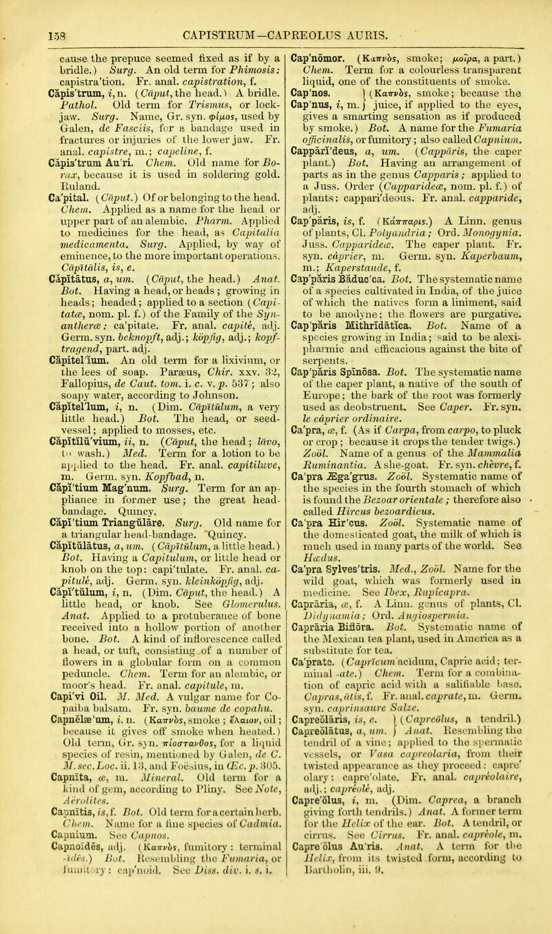 cause the prepuce seemed fixed as if by a bridle.) Surg. An old term, fov Phimosis: capistra'tion. Fr. anal, capistration, f. Capis'trum, i,n. {Caput,the hea.dA A bridle. Pathol. Old term for Trismus, or lock- jaw. Surg. Name, Gr. syn. (pl^os, used by Galen, de Fasciis, fur a bandage used in fractiu'es or injuries of the lower jaw. Fr. anal, capistre, m.; capeline, f. Capis'trum Au'ri. Chem. Old name for Bo- rax, because it is used in soldering gold. Finland. Ca'pital. {Caput.) Of or belonging to the head. Chem. Applied as a name for the head or upper part of an alembic. Pharm. Applied to medicines for the head, as Capitalia viedicamenta. Surg. Applied, by way of eminence, to the more important operations. Cdpltalis, is, e, Capitatus, a, (CrTpitJ, the head.) Anat. But. Having a head, or heads ; growing in heads; headed; applied to a section (Copi- tat<s, nom. pi. f.) of the Family of the Syn- anthercB: ca'pitate. Fr. anal, capite, adj. Germ. syn. beknopft,a,di.; k'&pfig, adj.; kopif- tragend, part. adj. Capiterium. An old term for a lixivium, or the lees of soap. Parseus, Chir. xxv. 'Ai, Fallopius, de Caut. torn. i. c. v. p. 537; also soapy water, according to Johnson. Capitel'lum, i, n. (Dim. Cdpttulum, a very little head.) Bot. The head, or seed- vessel ; applied to mosses, etc. Capitilu'vimn, ii, n. {Caput, the head; Mvo, tn wash.) Med. Term for a lotion to be api/lied to the head. Fr. anal, caxiitiluve, m. Germ. syn. Kopfbad, n. Capi'tium Mag'uum. Surg. Term for an ap- pliance in former use; the great head- bandage. Qmncy. Capi'tium Triangiilare. Surg. Old name for a tiiangular liead-bandage. Quincy. Capitiilatus, a, urn. (Capttidum, a little head.) Bot. Having a Capitulum, or little head or knob on the top: capi'tulate. Fr. anal, ca- pitule, adj. Germ. syn. kleinkdpjig, adj. Capi'tulum, i, n. (Dim. Caput, the head.) A little head, or knob. See Glomcrubis. Anat. xVpplied to a protuberance of bone received into a hollow portion of another bone. Bot. A kind of inflorescence called a head, or tuft, consisting of a number of flowers in a globular form on a common peduncle. Chem. Term for an alembic, or moor's head. Fr. anal, capitule, m. Capi'vi Oil. M. Med. A vulgar name for Co- paiba balsam. Fr. syn. bauine de copahu. Capnelae'um, t. n. {Ka-uvhs, smoke ; eAaioi/, oil; because it gives oif smoke when heated.) Old term, Gr. syn. nioaTavdos, for a liiiuid species of resin, rnentinued Ijy Galen, de C. M. sec.hoc. ii. 1;J, and Foe.aus, in (Ec.p. 305. Capnita, <e, m. Mineral. Old tenn for a kind of gem, according to Pliny. SeelVotc, Aernlitcs. Capnitis, (.s,f. Bot. Old term foracertainlierb. Chriii. Name for a tine species of Cadmia. Capuium, See Cupiios. Capnoides, adj. (Kan-vis, fumitory : temiinal -Ides.) Bot. Kcsembling tlio Fumaria, or fumitory: cap'noid. >iea Diss, div. 'i. s. i. Cap'nomor, {Kairvhs, smoke; /uoip(x, a part.) Chem. Term for a colourless transparent liquid, one of the constituents of smoke. Cap'nos. ) (Kairi/bs, smoke; because the Cap'nus, i, m. J juice, if applied to the eyes, gives a smarting sensation as if produced by smoke.) Bot. A name for the Fumaria officinalis, or fumitory; also called Ca^wtiwi. Capparr'deus, a, um. {Cappdris, the caper jjlant.) Bot, Ha™g an arrangement of parts as in the genus Capparis; applied to a Juss. Order {Capparidece, nom. pi. f.) of plants: cappari'deous. Fr. anal, capparide, adj. Cap'paris, ts, f. (KaTrrrapis.) A Linn, genus of plants, CI. Polyaiulria ; Ord. Monogynia. Juss. Capparidea. The caper plant. Fr. syn. caprier, m. Germ. syn. Kaperhaum, m.; Kaperstande, {. Cap'paris Baduc'ca, Bot. The systematic name of a species cultivated in India, of the juice of which the natives form a liniment, said to be anodyne; tlie flowers are pui'gative. Cap'paris Mithridatica. Bot. Name of a species growing in India; said to be alexi- pliannic and efficacious against the bite of sei-pents. Cap'paris Spinosa. Bot. The systematic name of the caper plant, a native of tlie south of Europe; tlie bark of the root was formerly used as deobstruent. See Caper. Fr. syn. le caprier ordinaire. Ca'pra, a, f. (As if Carpa, from carpo, to pluck or crop ; because it crops the tender twigs.) Zool. Name of a genus of the Mammalia Ruminantia. Aslie-goat. Fr. syn. c/ieyre, f. Ca'pra .Ega'grus. Zo'61. Systematic name of the species in the fourth stomach of which is found the Bezoar orientate ; therefore also called Uircus bezoardicus. Ca'pra Hir'cus. Zo'61. Systematic name of the domesticated goat, the milk of which is much used in many parts of the world. See Hccdus. Ca'pra Sylves'tris. Med., Zool. Name for the wild goat, which was formerly used iu medicine. See Ibex, Rupicapra. Capraria, tc, f. A Linn, genus of plants, CI. I Didynumia; Oxd. Angiospermia. Capraria Biflora. Bot. Systematic name of the Mexican tea plant, used in America as a substitute for tea. Ca'prats. (Cajjncwreacidum, Capric acid; ter- minal-aie.) Chem. Term for a combina- tion of capric acid with a salifiable liase. Capras,dtis,i. Fr. aual.c«j;rote,m. Germ, syn. caprinsaure Salze. Capreolaris, is, (!. \{Capredhis, a temlril.) Capreolatus, tt, H/H. J Anat. llescmbling the tendril of a vino; applied to the spermatic vessels, or Vasa capreolaria, from their twisted appearance as they proceed : caprc' olary: capre'olate. Fr. anal, capriolaire, adj.; capriole, adj. Capre'olus, i, m. (Dim. Caprea, a branch giving fortli tendrils.) Anat. A former term for the Hi'li.x of the eai-. Bot. A tendril, or cirrus. Sec Cirrus. Fr. anal, capriole, m. Capre'olus Au'ris. Anat. A tei-m for the Helix, from its twisted form, according to liiulhohn, iii. !).