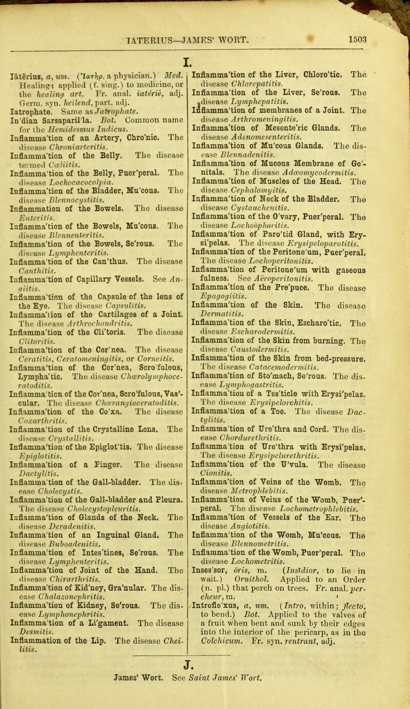 lATERIUS—JAMES' WORT. laterius, a, im. ('IaT7)p, a physician.) Med. Healing; applied (!'. sing.) to medicine, or the healinri art. Fr. anal. iaterU, adj. Germ. syn. /ift/enrf, part. adj. latrophate. Same HsJatrophate. In dian Sarsaparil'la. Bot. Common name for the Hcmidesmus Indicns. Inflamma'tion of an Artery, Chro'nic. The disease Chroniarteritis. Inflamma'tion of the Belly. The disease termed Civliiiis. Inflamma'tion of the Belly, Puer'peral. The disease Lochocacocolpia. Inflamma'tion of the Bladder, Mu'cous. The disease Blennociistitis. Inflammation of the Bowels. The disease Enteritis. Inflamma'tion of the Bowels, Mu'cous. The disease Blcnnentfritia. Inflamma'tion of the Bowels, Se'rous. The disease Lijmphctiteriti.i. Inflamma'tion of the Can'thus. The disease Canthitii. Inflamma'tion of Capillary Vessels. See An- fi litis. Inflamma'tion of the Capsule of the lens of the Eye. The disease Capsulitis. Inflamma'tion of the Cartilages of a Joint. The disease Arlhrochondritis. Inflamma'tion of the Cli'toris. The disease Clitoritis. Inflamma'tion of the Cor'nea. The disease Ceratitis, Ccralomcniiujitis, or Corneitis. Inflamma'tion of the Cor'nea, Scrofulous, Lympha'tic. The disease Chcerohjiuphoce- ratoditis. Inflamma'tion of the Cor'nea, Scro'fulous, Vas'- cular. The disease Chmranyioceratoditis. Inflamma'tion of the Co'xa. The disease doxartliritis. Inflamma'tion of the Crystalline Lens. The disease Crystalliiis. Inflamma'tion of the Epiglot'tis. The disease Epiglotitis. Inflamma'tion of a Finger. The disease Dactylitis. Inflamma'tion of the Gall-bladder. The dis- ease CJtolecystis. Inflamma'tion of the Gall-bladder and Pleura. The disease Cholecyist.npleitritis. Inflamma'tion of Glands of the Neck, The disease Deradenitis. Inflamma'tion of an Inguinal Gland. The ilisease Buhoadenitis. Inflamma'tion of Intes'tines, Se'rous. The disease Lyniplienteritis. Inflamma'tion of Joint of the Hand, The disease Chirarthritis. Inflamma'tion of Kid'ney, Gra'nular. The dis- ease Chalazonepliritis. Inflamma'tion of Kidney, Se'rous. The dis- ease Lymplwnephritis. Inflamma'tion of a Li'gameut. The disease Desmitis. Inflammation of the Lip. The disease Chei- litis. Inflamma'tion of the Liver, Chloro'tic. The disease Chlorcpatitis. Inflamma'tion of the Liver, Se'rous. The •disease Lyinphepatitis. Inflamma'tion of membranes of a Joint. The disease Arthromeningitis. Inflamma'tion of Mesente'rio Glands. The disease Adenomesenteritis. Inflamma'tion of Mu'cous Glands. The dis- ease Blennadenitis. Inflamma'tion of Mucous Membrane of Ge'- nitals. The disease Ada-omycodcrmitis. Inflamma'tion of Muscles of the Head. Tlie disease Ceplialoinyitis. Inflamma'tion of Neck of the Bladder. The disease Cystauc hen it is. Inflamma'tion of the O'vary, Puer'peral. The disease Lochobphoritis. Inflamma'tion of Paro'tid Gland, with Ery- si'pelas. The disease Erysipeloparotitis. Inflamma'tion of the Peritone'um, Puer'peral. Tlie disease Lochnpcritonitis. Inflamma'tion of Peritone'um with gaseous fulness. See A'eropcritonitis. Inflamma'tion of the Pre'puce. The disease Epagogiitis. Inflamma'tion of the Skin. The disease Dermatitis. Inflamma'tion of the Skin, Escharo'tic. The disease Escharodermitis. Inflamma'tion of the Skin from burning. The disease Caustodermitis. Inflamma'tion of the Skin from bed-pressure. The disease Catacemoderiiiitis. Inflamma'tion of Sto'mach, Se'rous. The dis- ease Lyniplwgastritis. Inflamma'tion of a Tes'ticle with Erysi'pelas. Tlie disease Erysipelorchitis. Inflamma'tion of a Toe. The disease Dac- tylitis. Inflamma'tion of Ure'thra and Cord. The dis- ease Chordurcthritis. Inflamma tion of Ure'thra with Erysi'pelas. The disease Erysipelurcthritis. Inflamma'tion of the U'vula. The disease Cionitis. Inflamma'tion of Veins of the Womb. The disease Metrophlebitis. Inflamma'tion of Veins of the Womb, Puer'- peral. The disease Lochomctrophlehitis. Inflamma'tion of Vessels of the Ear, The disease Angiotitis. Inflamma'tion of the Womb, Mu'cous. The disease Blennometritis. Inflamma'tion of the Womb, Puer'peral. The disease Lochovietritis. Inses'sor, oris, m. {Insldior, to lie in wait.) Ornithol. Applied to an Order (n. pi.) that perch on trees. Fr. anal._per- cheur, m. < . Introfle'xus, a, um. (Intro, within; flecto, to bend.) Bot. Apphed to the valves of a fruit when bent and sunk by their edges into the interior of the pericarp, as in the Colchicum. Fr. syn. rcntrant, adj. J. James' Wort. See Saint James' Wort.