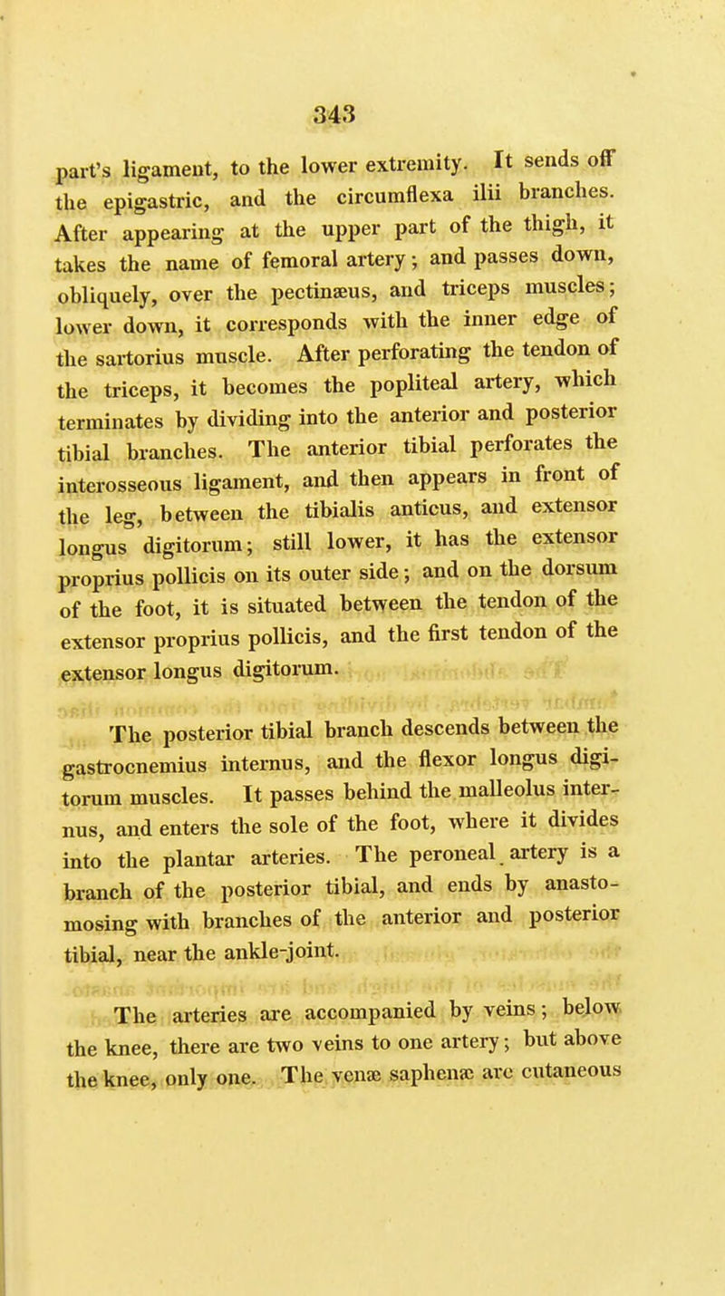 part's ligament, to the lower extremity. It sends off the epigastric, and the circumflexa ilii branches. After appearing at the upper part of the thigh, it takes the name of femoral artery; and passes down, obliquely, over the pectinaeus, and triceps muscles; lower down, it corresponds with the inner edge of the sartorius muscle. After perforating the tendon of the triceps, it becomes the popliteal artery, which terminates by dividing into the anteiior and posterior tibial branches. The anterior tibial perforates the interosseous ligament, and then appears in front of the leg, between the tibialis anticus, and extensor longus 'digitorum; still lower, it has the extensor proprius poUicis on its outer side; and on the dorsum of the foot, it is situated between the tendon of the extensor proprius poUicis, and the first tendon of the extensor longus digitorum. The posterior tibial branch descends between the gastrocnemius internus, and the flexor longus digi- torum muscles. It passes behind the maUeolus inter- nus, and enters the sole of the foot, where it divides into the plantar arteries. The peroneal artery is a branch of the posterior tibial, and ends by anasto- mosing with branches of the anterior and posterior tibial, near the ankle-joint. The arteries are accompanied by veins; bejo-w the knee, there are two veins to one artery; but above the knee, only one., ,iThe, wnae saphenac arc cutaneous