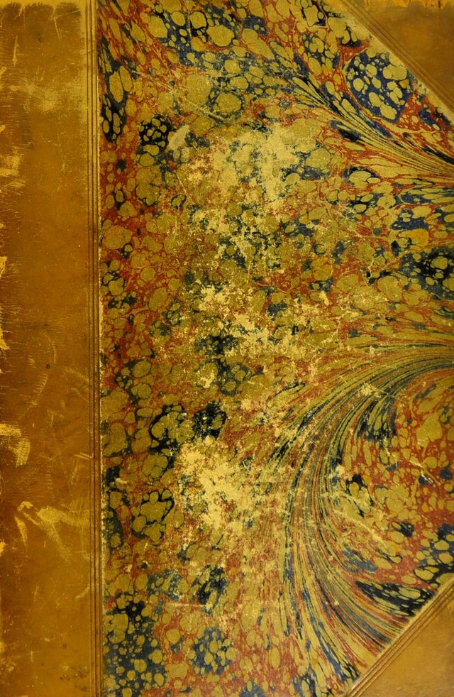 No text description is available for this image