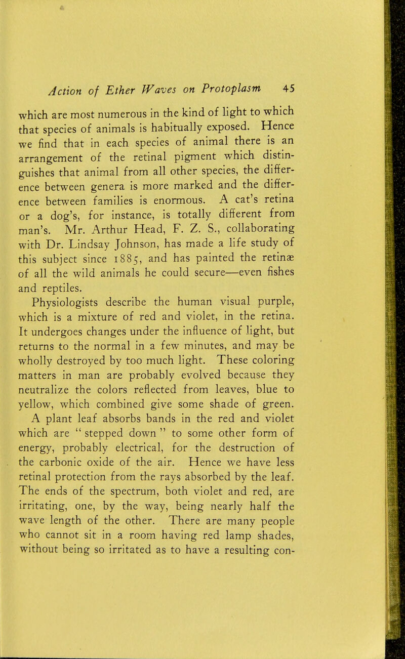 which are most numerous in the kind of light to which that species of animals is habitually exposed. Hence we find that in each species of animal there is an arrangement of the retinal pigment which distin- guishes that animal from all other species, the differ- ence between genera is more marked and the differ- ence between families is enormous. A cat's retina or a dog's, for instance, is totally different from man's. Mr. Arthur Head, F. Z. S., collaborating with Dr. Lindsay Johnson, has made a life study of this subject since 1885, and has painted the retinae of all the wild animals he could secure—even fishes and reptiles. Physiologists describe the human visual purple, which is a mixture of red and violet, in the retina. It undergoes changes under the influence of light, but returns to the normal in a few minutes, and may be wholly destroyed by too much light. These coloring matters in man are probably evolved because they neutralize the colors reflected from leaves, blue to yellow, which combined give some shade of green. A plant leaf absorbs bands in the red and violet which are  stepped down  to some other form of energy, probably electrical, for the destruction of the carbonic oxide of the air. Hence we have less retinal protection from the rays absorbed by the leaf. The ends of the spectrum, both violet and red, are irritating, one, by the way, being nearly half the wave length of the other. There are many people who cannot sit in a room having red lamp shades, without being so irritated as to have a resulting con-