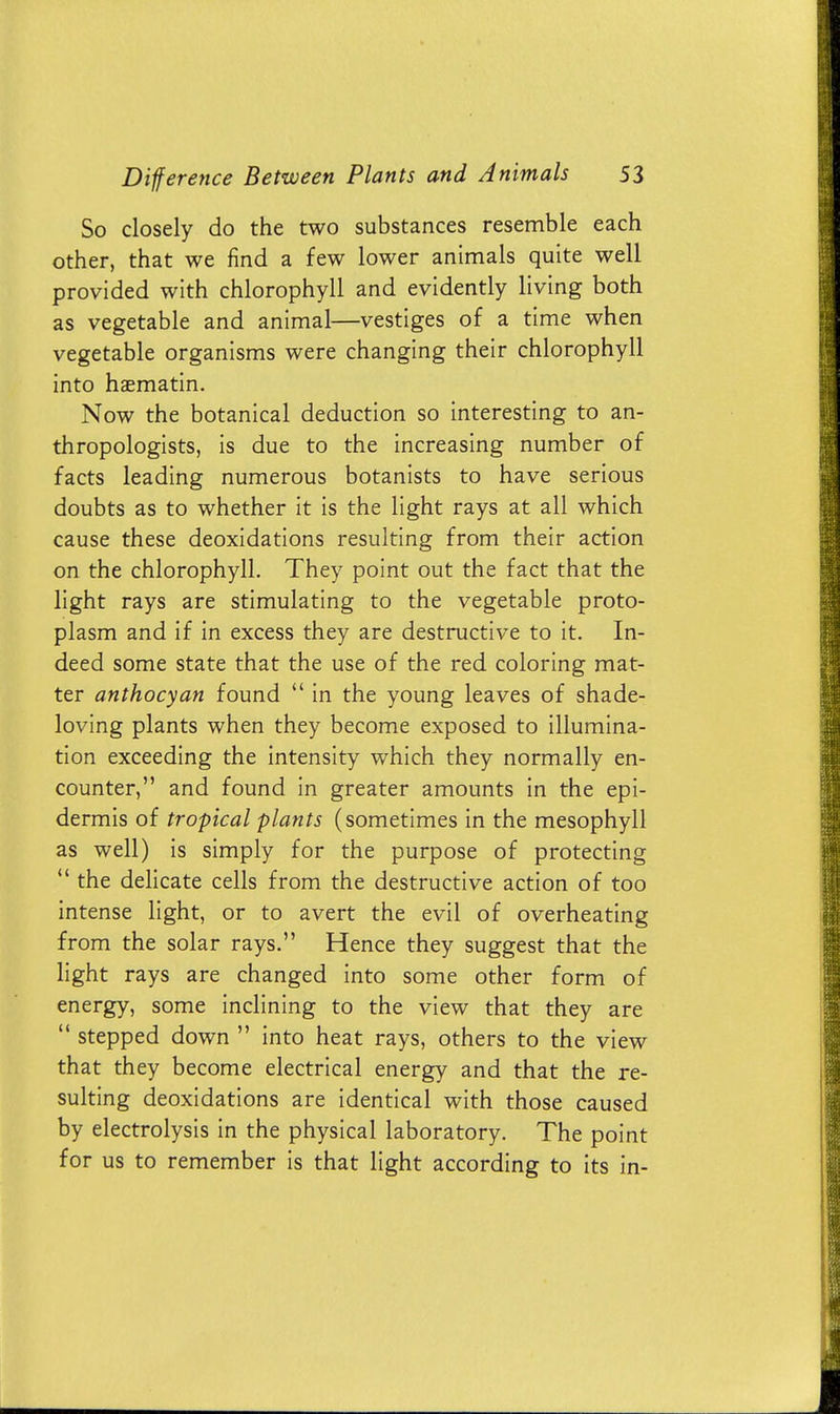 So closely do the two substances resemble each other, that we find a few lower animals quite well provided with chlorophyll and evidently living both as vegetable and animal—vestiges of a time when vegetable organisms were changing their chlorophyll into haematin. Now the botanical deduction so interesting to an- thropologists, is due to the increasing number of facts leading numerous botanists to have serious doubts as to whether it is the light rays at all which cause these deoxidations resulting from their action on the chlorophyll. They point out the fact that the light rays are stimulating to the vegetable proto- plasm and if in excess they are destructive to it. In- deed some state that the use of the red coloring mat- ter anthocyan found  in the young leaves of shade- loving plants when they become exposed to illumina- tion exceeding the intensity which they normally en- counter, and found in greater amounts in the epi- dermis of tropical plants (sometimes in the mesophyll as well) is simply for the purpose of protecting  the delicate cells from the destructive action of too intense light, or to avert the evil of overheating from the solar rays. Hence they suggest that the light rays are changed into some other form of energy, some inclining to the view that they are  stepped down  into heat rays, others to the view that they become electrical energy and that the re- sulting deoxidations are identical with those caused by electrolysis in the physical laboratory. The point for us to remember is that light according to its in-