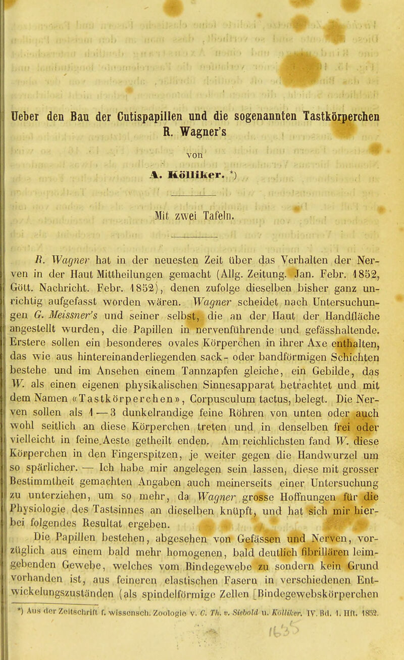 Ueber den Bau der Cutispapillen und die sogenannten Tastkörperchen R. Wagner's von V. Kölliker. *.) Mit zwei Tafeln. B. Wagner hat in der neuesten Zeit über das Verhalten der Ner- ven in der Haut Mittheilungen gemacht (Allg. Zeitung. Jan. Febr. 4 852, Gött. Nachricht. Febr. 4 852), denen zufolge dieselben bisher ganz un- richtig aufgefasst worden wären. Wagner scheidet nach Untersuchun- gen G. Meissners und seiner selbst, die an der Haut der Handfläche angestellt wurden, die Papillen in nervenführende und gefässhaltende. Erstere sollen ein besonderes ovales Körperchen in ihrer Axe enthalten, das wie aus hintereinanderliegenden sack- oder bandförmigen Schichten bestehe und im Ansehen einem Tannzapfen gleiche, ein Gebilde, das W. als einen eigenen physikalischen Sinnesapparat betrachtet und mit dem Namen «Tastkörperchen», Corpusculum tactus, belegt. Die Ner- ven sollen als \-—3 dunkelrandige feine Röhren von unten oder auch wohl seitlich an diese Körperchen treten und in denselben frei oder vielleicht in feine.Aeste getheilt enden. Am reichlichsten fand W. diese Körperchen in den Fingerspitzen, je weiter gegen die Handwurzel um so spärlicher. — Ich habe mir angelegen sein lassen, diese mit grosser Bestimmtheit gemachten Angaben auch meinerseits einer Untersuchung zu unterziehen, um so mehr, da Wagner grosse Hoffnungen für die Physiologie des Tastsinnes an dieselben knüpft, und hat sich mir hier- bei folgendes Resultat ergeben. Die Papillen bestehen, abgesehen von Gefässen und Nerven, vor- züglich aus einem bald mehr homogenen, bald deutlich fibrillären leim- -i l»enden Gewebe, welches vom Bindegewebe zu sondern kein Grund vorhanden ist, aus feineren elastischen Fasern in verschiedenen Ent- wickelungszuständcn (als spindelförmige Zellen [Bindegewebskörperchcn