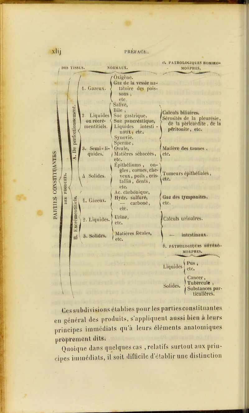 DES TISSUS. NOllMAUX. 0* V \ 1 Miil.iM.ii.il I - HOMIKU- MOHPHES. 1. Gazeux. (Calculs biliaires. Ôxigène. Gaz de la vessie na- tatoire des pois- sons | etc. Salivé, N Bile , ouiecrc s bue pancréatique, s dè la pérlcardite , de la uztz^ \ Synovie. Sperme, Ovule, Matières sébacées, (etc. etc. Épithélinms , on- 1 gles, cornes, che- veux, poils, cris- tallin , dents, menti tiels. [3. Semi-li- quides. h Solides. Matière des tannes , /fumeurs épilliéliales, ,etc. % l 1. Gazeux. g « \ 2. Liquides. etc. Ac. carbonique, Hydr. sulfuré, — carboné, etc. Urine, etc. *|\ 3. Solide j Matières fécale,, Gaz des trmpanites. etc. 'Calculs urinaires. — intestinaux. b. pathologiques hétérô- MOEPHES. Liquides j^' i Cancer, ... ) Tubercule , boiiaes. \ Subslances pui.. * ticulières. Cessnbdivisions établies pour les parties constituantes en général des produits, s'appliquent aussi bien à leurs principes immédiats qu'à leurs éléments anatomiques proprement dits. Quoique dans quelques cas .relatifs surtout aux prin- cipes immédiats, il soit difficile d'établir une distinction