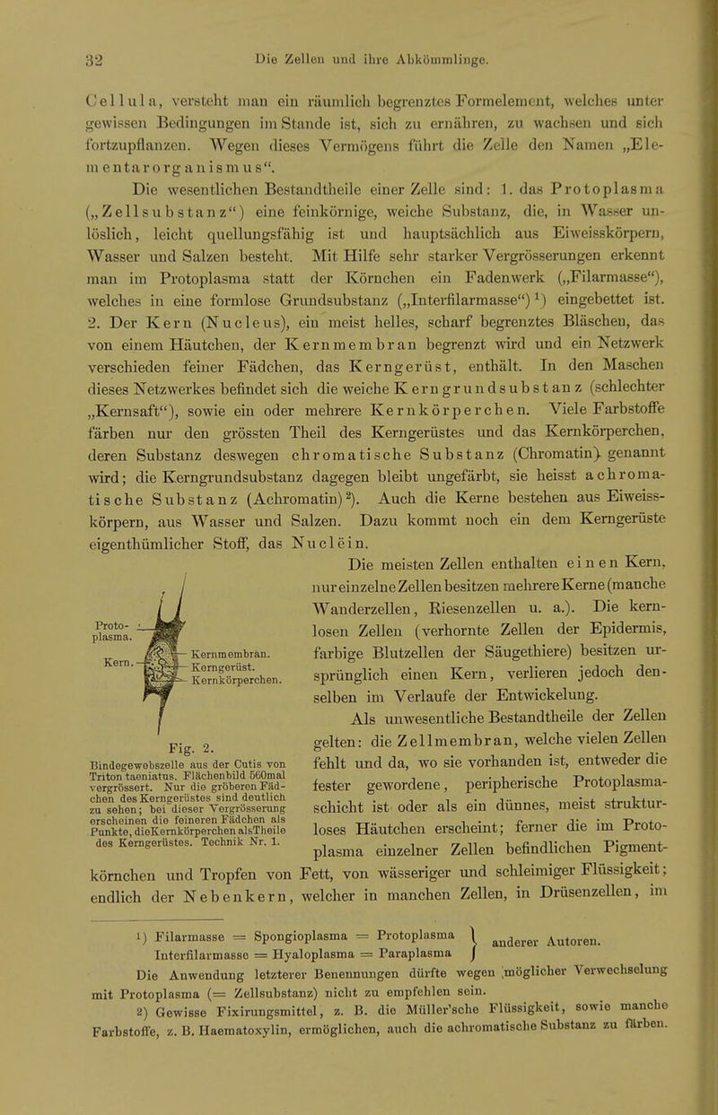 Cellula, versteht man ein räumlich begrenztes Formelement, welches unter gewissen Bedingungen im Stande ist, sich yai ernähren, zu wachsen und ßicli fortzupflanzen. Wegen dieses Vermögens führt die Zelle den Namen „Sie- men t a r o rg a n i s m u s Die wesentlichen Bestandtheile einer Zelle sind: 1. das Protoplasma („ Z eil Sil b stan z) eine feinkörnige, weiche Substanz, die, in Wasser un- löslich, leicht quellungsfähig ist und hauptsächlich aus Eiweisskörpern, Wasser und Salzen besteht. Mit Hilfe sehr starker Vergrösserungen erkennt man im Protoplasma statt der Körnchen ein Fadenwerk („Filarmasse), welches in eine formlose Grundsubstanz („luterfilarmasse) ^) eingebettet ist. 2. Der Kern (Nucleus), ein meist helles, scharf begrenztes Bläschen, das von einem Häutchen, der Kernmembran begrenzt wird und ein Netzwerk verschieden feiner Fädchen, das Kerngerüst, enthält. In den Maschen dieses Netzwerkes befindet sich die weiche Kerngrundsubstanz (schlechter „Kernsaft), sowie ein oder mehrere Kernkörperchen. Viele Farbstoffe färben nur den grössten Theil des Kerngerüstes und das Kernkörperchen, deren Substanz deswegen chromatische Substanz (Chromatin) genannt wird; die Kerngrundsubstanz dagegen bleibt ungefärbt, sie heisst achroma- tische Substanz (Achromatin)2). Auch die Kerne bestehen aus Eiweiss- körpern, aus Wasser und Salzen. Dazu kommt noch ein dem Kerngerüste eigen thümlicher StofiP, das Nu dein. Die meisten Zellen enthalten einen Kern, nur einzelne Zellen besitzen mehrere Kerne (manche Wanderzellen, Riesenzellen u, a,). Die kern- pUsmä.^^^ losen Zellen (verhornte Zellen der Epidermis, Kern Kernmemträn. farbige Blutzellen der Säugethiere) besitzen ur- ■~^^Ke^!lkSerchen. sprünglich einen Kern, verlieren jedoch den- selben im Verlaufe der Entwickelung. Als unwesentliche Bestandtheile der Zellen 2 gelten: die Zellmembran, welche vielen Zellen Bindegewebszeiie aus der Cutis von fehlt und da, WO sie vorhanden ist, entweder die Triton taeniatus. Flächenbild 560mal • r • !,„ D„„+„„1„c.tv,o vergrössert. Nur die gröberenFiid- fester gewordene, peripherische rrotopiasma- äTeheni^be^^dieTe^VeJ'grös^ser^ schicht ist oder als ein dünnes, meist struktur- FMkte^dreKemkörperch loscs Häutchen erscheint; ferner die im Proto- des Kerngerüstes. Technik Nr. 1. ^^^^^^ einzelner Zellen befindlichen Pigment- körnchen und Tropfen von Fett, von wässeriger und schleimiger Flüssigkeit; endlich der Nebenkern, welcher in manchen Zellen, in Drüsenzellen, im 1) Filarmasse = Spongioplasma = Protoplasma 1 anderer Autoren. Interfilarmasse = Hyaloplasma = Paraplasma j Die Anwendung letzterer Benennungen dürfte wegen ;möglicher Verwechselung mit Protoplasma (= Zellsubstanz) nicht zu empfehlen sein. 2) Gewisse Fixirungsmittel, z. B. die Müller'sche Flüssigkeit, sowie manche Farbstoffe, z. B. Haeraatoxylin, ermöglichen, auch die achromatische Substanz zu färben.