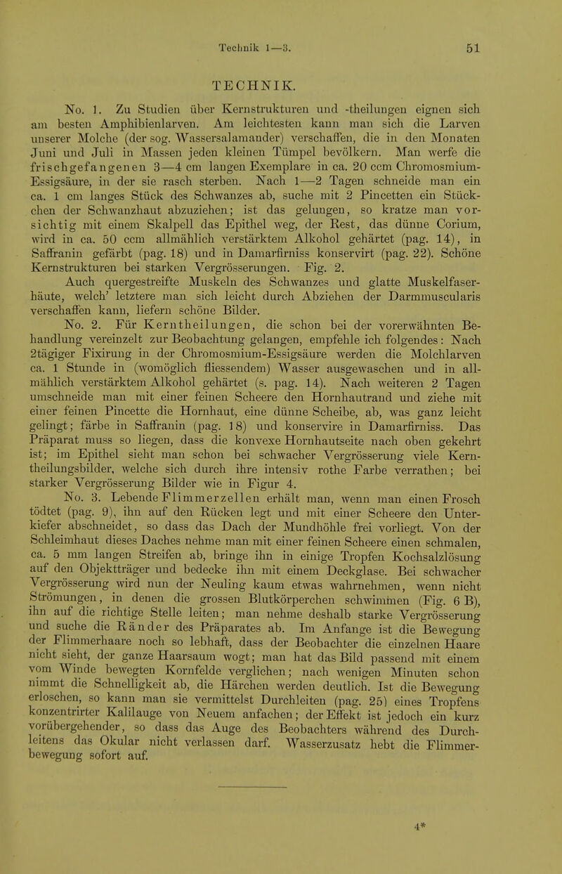 TECHNIK. No, 1. Zu Studien über Kern strukturen und -theilungen eignen sich nni besten Ampliibienlarven. Am leichtesten kann man sich die Larven imserer Molche (der sog. Wassersalamander) verschaffen, die in den Monaten Juni und Juli in Massen jeden kleinen Tümpel bevölkern. Man werfe die frischgefangenen 3—4 cm langen Exemplare in ca. 20 ccm Chromosmium- Essigsäure, in der sie rasch sterben. Nach 1—2 Tagen schneide man ein ca. 1 cm langes Stück des Schwanzes ab, suche mit 2 Pincetten ein Stück- chen der Schwanzhaut abzuziehen; ist das gelungen, so kratze man vor- sichtig mit einem Skalpell das Epithel Aveg, der Rest, das dünne Corium, wird in ca. 50 ccm allmählich verstärktem Alkohol gehärtet (pag. 14), in Saffranin gefärbt (pag. 18) und in Damarfirniss konservirt (pag. 22). Schöne Kemstrukturen bei starken Vergrösserungen, Fig. 2. Auch quergestreifte Muskeln des Schwanzes und glatte Muskelfaser- häute, welch' letztere man sich leicht durch Abziehen der Darmmuscularis verschaffen kann, liefern schöne Bilder. No. 2. Für Kerntheilungen, die schon bei der vorerwähnten Be- handlung vereinzelt zur Beobachtung gelangen, empfehle ich folgendes: Nach 2tägiger Fixirung in der Chromosmium-Essigsäure werden die Molchlarven ca. 1 Stunde in (womöglich fliessendem) Wasser ausgewaschen und in all- mählich verstärktem Alkohol gehärtet (s. pag. 14). Nach weiteren 2 Tagen, umschneide man mit einer feinen Scheere den Hornhautrand und ziehe mit einer feinen Pincette die Hornhaut, eine dünne Scheibe, ab, was ganz leicht gelingt; färbe in Saffranin (pag. 18) und konservire in Damarfirniss. Das Präparat muss so liegen, dass die konvexe Hornhautseite nach oben gekehrt ist; im Epithel sieht man schon bei schwacher Vergrösserung viele Kern- theilungsbilder, welche sich durch ihre intensiv rothe Farbe verrathen; bei starker Vergrösserung Bilder wie in Figur 4. No. 3. Lebende Flimmerzellen erhält man, wenn man einen Frosch tödtet (pag. 9), ihn auf den Rücken legt und mit einer Scheere den Unter- kiefer abschneidet, so dass das Dach der Mundhöhle frei vorliegt. Von der Schleimhaut dieses Daches nehme man mit einer feinen Scheere einen schmalen, ca. 5 mm langen Streifen ab, bringe ihn in einige Tropfen Kochsalzlösung auf den Objektträger und bedecke ihn mit einem Deckglase. Bei schwacher Vergi-össerung wird nun der Neuling kaum etwas wahrnehmen, wenn nicht Strömungen, in denen die grossen Blutkörperchen schwiminen (Fig. 6 B), ihn auf die richtige Stelle leiten; man nehme deshalb starke Vergrösserung und suche die Ränder des Präparates ab. Im Anfange ist die Bewegung der Flimmerhaare noch so lebhaft, dass der Beobachter die einzelnen Haare nicht sieht, der ganze Haarsaum wogt; man hat das Bild passend mit einem vom Winde bewegten Kornfelde verglichen; nach wenigen Minuten schon nimmt die Schnelligkeit ab, die Härchen werden deutlich. Ist die BcAvegung erloschen, so kann man sie vermittelst Durchleiten (pag. 25) eines Tropfens konzentrirter Kalilauge von Neuem anfachen; der Effekt ist jedoch ein kurz vorübergehender, so dass das Auge des Beobachters während des Durch- leitens das Okular nicht verlassen darf. Wasserzusatz hebt die Flimmer- bewegung sofort auf 4*