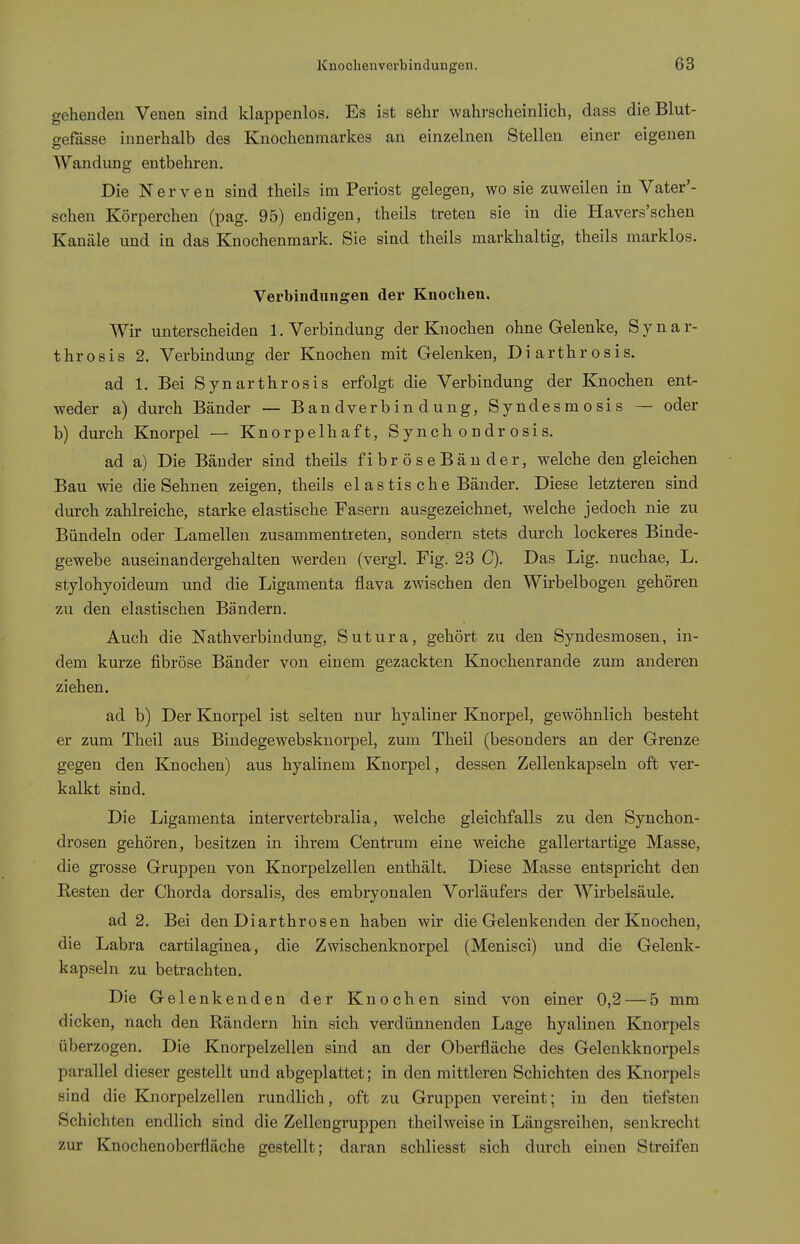 gehenden Venen sind klappenlos. Es ist sehr wahrscheinlich, dass die Blut- gefässe innerhalb des Knochenmarkes an einzelnen Stellen einer eigenen AVandung entbehren. Die Nerven sind theils im Periost gelegen, wo sie zuweilen in Vater'- schen Körperchen (pag. 95) endigen, theils treten sie in die Havers'schen Kanäle und in das Knochenmark. Sie sind theils markhaltig, theils marklos. Verbindungen dei* Knochen. Wir unterscheiden 1. Verbindung der Knochen ohne Gelenke, S y n a r- throsis 2. Verbindung der Knochen mit Gelenken, Diarthrosis. ad 1. Bei Synarthrosis erfolgt die Verbindung der Knochen ent- weder a) durch Bänder — Bandverbindung, Syndesmosis — oder b) durch Knorpel — Knorpelhaft, Synch ondr osis. ad a) Die Bänder sind theils fibröseBänder, welche den gleichen Bau wie die Sehnen zeigen, theils el astis che Bänder. Diese letzteren sind durch zahlreiche, starke elastische Fasern ausgezeichnet, welche jedoch nie zu Bündeln oder Lamellen zusammentreten, sondern stets dvirch lockeres Binde- gewebe auseinandergehalten werden (vergl. Fig. 23 C). Das Lig. nuchae, L. stylohyoideum und die Ligamenta flava zwischen den Wirbelbogen gehören zu den elastischen Bändern. Auch die Nathverbindung, Sutura, gehört zu den Syndesmosen, in- dem kurze fibröse Bänder von einem gezackten Knochenrande zum anderen ziehen. ad b) Der Knorpel ist selten nur hyaliner Knorpel, gewöhnlich besteht er zum Theil aus Bindegewebsknorpel, zum Theil (besonders an der Grenze gegen den Knochen) aus hyalinem Knorpel, dessen Zellenkapseln oft ver- kalkt sind. Die Ligamenta intervertebralia, welche gleichfalls zu den Synchon- drosen gehören, besitzen in ihrem Centrum eine weiche gallertartige Masse, die grosse Grujjpen von Knorpelzellen enthält. Diese Masse entspricht den Resten der Chorda dorsalis, des embryonalen Vorläufers der Wirbelsäule. ad 2. Bei den Diarthrosen haben wir die Gelenkenden der Knochen, die Labra cartilaginea, die Zwischenknorpel (Menisci) und die Gelenk- kapseln zu betrachten. Die Gelenkenden der Knochen sind von einer 0,2 — 5 mm dicken, nach den Rändern hin sich verdünnenden Lage hyalinen Knorpels überzogen. Die Knorpelzellen sind an der Oberfläche des Gelenkknorpels parallel dieser gestellt und abgeplattet; in den mittleren Schichten des Knorpels sind die Knorpelzellen rundlich, oft zu Gruppen vereint; in den tiefsten Schichten endlich sind die Zellengruppen theilweise in Längsreihen, senkrecht zur Knochenoberfläche gestellt; daran schliesst sich durch einen Streifen