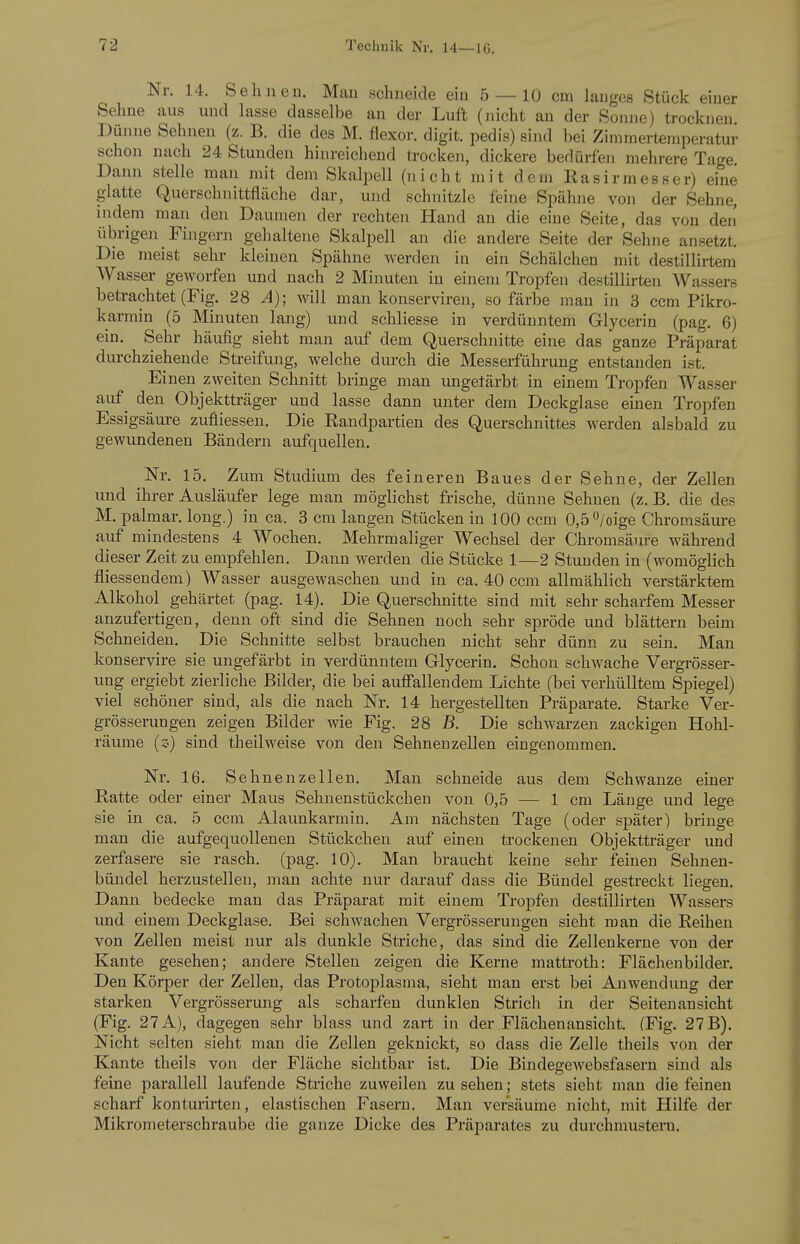 Nr. 14. Sehnen. Mau schneide eiu 5 — 10 cm langes Stück einer Sehne aus und lasse dasselbe an der Luft (nicht an der Sonne) trocknen. Dünne Sehnen (z. B. die des M. flexor. digit. pedis) sind bei Zimmertemperatur schon nach 24 Stunden hinreichend trocken, dickere bedürfen mehrere Tage. Dann stelle man mit dem Skalpell (nicht mit dem Easirmesser) eine glatte Querschnittfläche dar, und schnitzle feine Spähne von der Sehne, indem man den Daumen der rechten Hand au die eine Seite, das von den übrigen Fingern gehaltene Skalpell an die andere Seite der Sehne ansetzt. Die meist sehr kleinen Spähne werden in ein Schälchen mit destillirtem AVasser geworfen und nach 2 Minuten in einem Tropfen destillirten Wassers betrachtet (Fig. 28 A); will man konserviren, so färbe man in 3 ccm Pikro- karmin (5 Minuten lang) und schliesse in verdünntem Glycerin (pag. 6) ein. Sehr häufig sieht man auf dem Querschnitte eine das ganze Präparat durchziehende Streifung, welche durch die Messerführuug entstanden ist. Einen zweiten Schnitt bringe man ungefärbt in einem Tropfen Wasser auf^ den Objektträger und lasse dann unter dem Deckglase einen Tropfen Essigsäui-e zufiiessen. Die Randpartien des Querschnittes werden alsbald zu gewundenen Bändern aufquellen. Nr. 15. Zum Studium des feineren Baues der Sehne, der Zellen und ihrer Ausläufer lege man möglichst frische, dünne Sehnen (z. B. die des M. palmar, long.) in ca. 3 cm langen Stücken in 100 ccm 0,5 0/oige Chromsäure auf mindestens 4 Wochen. Mehrmaliger Wechsel der Chromsäure während dieser Zeit zu empfehlen. Dann werden die Stücke 1—2 Stunden in (womöglich fliessendem) Wasser ausgewaschen und in ca. 40 ccm allmählich verstärktem Alkohol gehärtet (pag. 14). Die Querschnitte sind mit sehr scharfem Messer anzufei'tigen, denn oft sind die Sehneu noch sehr spröde und blättern beim Schneiden. Die Schnitte selbst brauchen nicht sehr dünn zu sein. Man konservire sie ungefärbt in verdünntem Glycerin. Schon schwache Vergrösser- ung ergiebt zierliche Bilder, die bei aufiallendem Lichte (bei verhülltem Spiegel) viel schöner sind, als die nach Nr. 14 hergestellten Präparate. Starke Ver- grösserungen zeigen Bilder wie Fig. 28 B. Die schwarzen zackigen Hohl- räume (z) sind theilweise von den Sehnenzellen eingenommen. Nr. 16. Sehnenzellen. Man schneide aus dem Schwänze einer Ratte oder einer Maus Sehnenstückchen von 0,5 — 1 cm Länge und lege sie in ca. 5 ccm Alaunkarmin. Am nächsten Tage (oder später) bringe man die aufgequollenen Stückchen auf einen trockenen Objektträger und zerfasere sie rasch, (pag. 10). Man braucht keine sehr feinen Selmen- bündel herzustellen, man achte nur darauf dass die Bündel gestreckt liegen. Dann bedecke man das Präparat mit einem Tropfen destillirten Wassers und einem Deckglase. Bei schwachen Vergrösserungen sieht man die Reihen von Zellen meist nur als dunkle Striche, das sind die Zellenkerne von der Kante gesehen; andere Stellen zeigen die Kerne mattroth: Flächenbilder. Den Körper der Zellen, das Protoplasma, sieht man erst bei Anwendung der starken Vergrösserung als scharfen dunklen Strich in der Seitenansicht (Fig. 27 A), dagegen sehr blass und zart in der Flächenansicht. (Fig. 27 B). Nicht selten sieht man die Zellen geknickt, so dass die Zelle theils von der Kante theils von der Fläche sichtbar ist. Die Bindegewebsfasern sind als feine parallell laufende Striche zuweilen zu sehen; stets sieht man die feinen scharf konturirteji, elastischen Fasern. Man versäume nicht, mit Hilfe der Mikrometerschraube die ganze Dicke des Präparates zu durchmustern.
