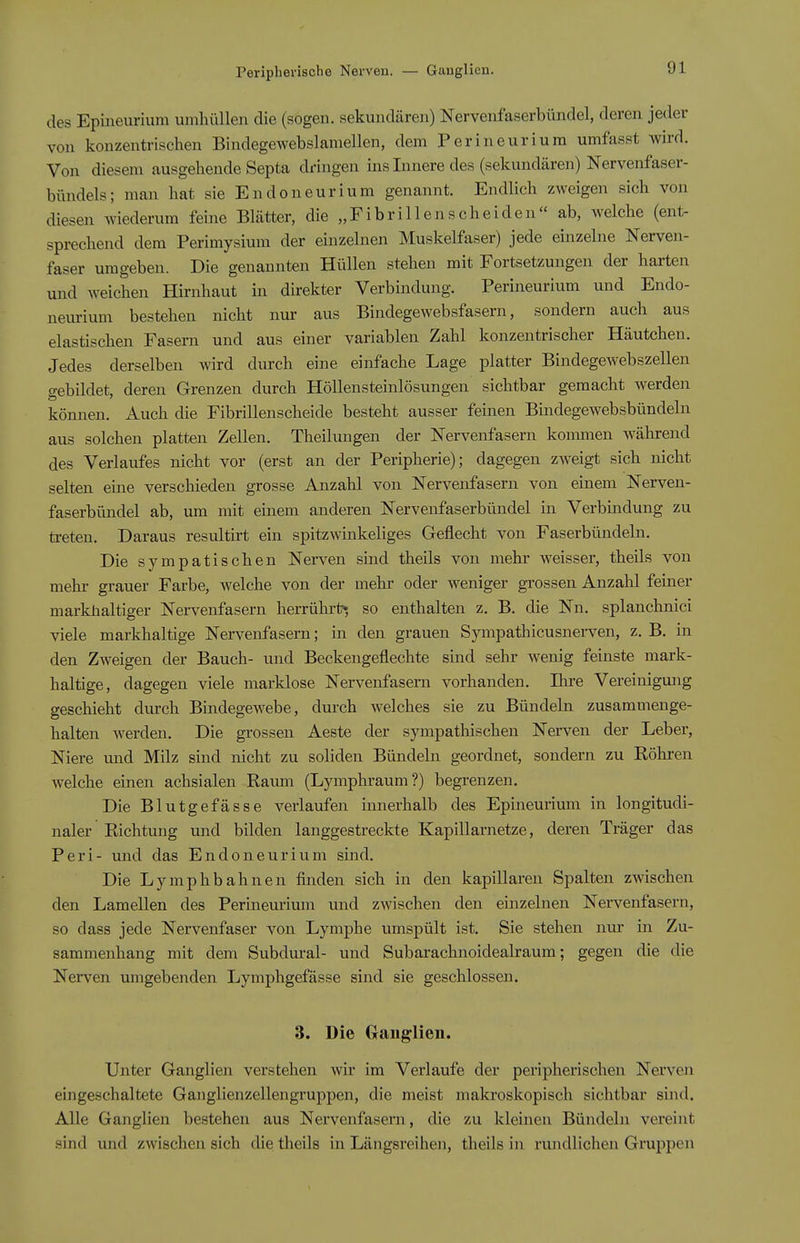 des Epineurium umhüllen die (sogen, sekundären) Nervenfaserbündel, deren jeder von konzentrischen Bindegewebslamellen, dem Perineurium umfasst wird. Von diesem ausgehende Septa dringen ins Innere des (sekundären) Nervenfaser- bündels; man hat sie Endoneurium genannt. Endlich zweigen sich von diesen wiederum feine Blätter, die „Fibrillenscheiden ab, welche (ent- sprechend dem Perimysium der einzelnen Muskelfaser) jede einzelne Nerven- faser umgeben. Die genannten Hüllen stehen mit Fortsetzungen der harten und weichen Hirnhaut in direkter Verbindung. Perineurium und Endo- neurium bestehen nicht nur aus Bindegewebsfasern, sondern auch aus elastischen Fasern und aus einer variablen Zahl konzentrischer Häutchen. Jedes derselben wird durch eine einfache Lage platter Bindegewebszellen gebildet, deren Grenzen durch Höllensteinlösungen sichtbar gemacht werden können. Auch die Fibrillenscheide besteht ausser feinen Bindegewebsbündeln aus solchen platten Zellen. Theilungen der Nervenfasern konnnen während des Verlaufes nicht vor (erst an der Peripherie); dagegen zweigt sich nicht selten eine verschieden grosse Anzahl von Nervenfasern von einem Nerven- faserbündel ab, um mit einem anderen Nervenfaserbündel in Verbindung zu ti-eteu. Daraus resultirt ein spitzwinkeliges Geflecht von Faserbündeln. Die sympatischen Nerven sind theils von mehr weisser, theils von mehi- grauer Farbe, welche von der mehr oder weniger grossen Anzahl feiner markiialtiger Nervenfasern herrührt* so enthalten z. B. die Nn. splanchnici viele markhaltige Nervenfasern; in den grauen Sympathicusnei-ven, z. B. in den Zweigen der Bauch- und Beckengeflechte sind sehr wenig feinste mark- haltige, dagegen viele marklose Nervenfasern vorhanden. Ihre Vereinigung geschieht durch Bindegewebe, durch welches sie zu Bündeln zusammenge- halten werden. Die grossen Aeste der sympathischen Nerven der Leber, Niere und Milz sind nicht zu soliden Bündeln geordnet, sondern zu Röhi-en welche einen achsialen Raum (Lymphraum?) begrenzen. Die Blutgefässe verlaufen innerhalb des Epineui'ium in longitudi- naler Richtung und bilden langgestreckte Kapillarnetze, deren Träger das Peri- und das Endoneurium sind. Die Lymphbahnen finden sich in den kapillaren Spalten zwischen den Lamellen des Perineurium und zwischen den einzelnen Nervenfasern, so dass jede Nervenfaser von Lymphe umspült ist. Sie stehen nur in Zu- sammenhang mit dem Subdural- und Subarachnoidealraum; gegen die die Nerven umgebenden Lymphgefässe sind sie geschlossen. 3. Die Ganglien. Unter Ganglien verstehen wir im Verlaufe der peripherischen Nerven eingeschaltete Gaiiglienzellengruppen, die meist makroskopisch sichtbar sind. Alle Ganglien bestehen aus Nervenfasern, die zu kleinen Bündeln vereint sind und zwischen sich die theils in Längsreihen, theils in rundlichen Gruppen
