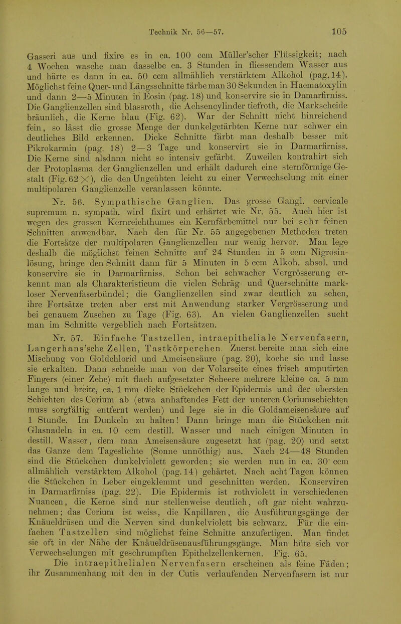 Gasseri aus und fixire es in ca. 100 ccni Müller'sclier Flüssigkeit; nacli 4 Woclien wasche man dasselbe ca. 3 Stunden in fliessendein Wasser aus und härte es dann in ca. 50 ccni allmählich verstärktem Alkohol (pag. 14). Möglichst feine Quer-und Längsschnitte tärbe man 30 Sekunden in Haematoxylin mid dann 2—5 Minuten in Eosin (pag. 18) mid konservire sie in Damai-firniss. Die Ganglienzellen sind blassroth, die Achsencylinder tiefroth, die Markscheide bräunlich, die Kerne blau (Fig. 62), War der Schnitt nicht hinreichend fein, so lässt die grosse Menge der dunkel gefärbten Kerne nur schwer ein deutliches Bild erkennen, Dicke Schnitte färbt man deshalb besser mit Piki-okarmin (pag. 18) 2—3 Tage und konservirt sie in Darmarfirniss. Die Kerne sind alsdann nicht so intensiv gefärbt. Zuweilen koutrahirt sich der Protoplasma der Ganglienzellen und erhält dadurch eine sternförmige Ge- stalt (Fig. 62 X). die den Ungeübten leicht zu einer Verwechselung mit einer midtipolaren Ganglienzelle veranlassen könnte. Nr. 56. Sympathische Ganglien. Das grosse Gangl. cervicale supremum n. sympath. wird fixnt und erhärtet wie Nr. 55, Auch hier ist wegen des grossen Kernreichthumes ein Kernfärbemittel nur bei sehr feinen Schnitten anwendbar. Nach den für Nr, 55 angegebenen Methoden treten die Fortsätze der multipolaren Ganglienzellen nur wenig hervor. Man lege deshalb die möglichst feinen Schnitte auf 24 Stunden in 5 ccm Nigrosin- lösmig, bringe den Schnitt dann für 5 Minuten in 5 ccm Alkoh. absol, und konsei-vire sie in Darmarfu-niss. Schon bei schwacher Vergrösserung er- kennt man als Charakteristicum die vielen Schräg- und Querschnitte mark- loser Nervenfaserbündel; die Ganglienzellen sind zwar deutlich zu sehen, ihre Fortsätze treten aber erst mit Anwendung starker Vergrösserung und bei genauem Zusehen zu Tage (Fig. 68), An vielen Ganglienzellen sucht man im Schnitte vergeblich nach Fortsätzen. Nr. 57. Einfache Tastzellen, intraepitheliale Nervenfasern, Langerhans'sche Zellen, Tastkörperchen. Zuerst bereite man sich eine Mischung von Goldchlorid und Ameisensäure (pag. 20), koche sie und lasse sie erkalten. Dann schneide man von der Volarseite eines frisch amputirten Fingers (einer Zehe) mit flach aufgesetzter Scheere mehrere kleine ca, 5 mm lange und breite, ca, 1 mm dicke Stückchen der Epidermis und der obersten Schichten des Corium ab (etwa anhaftendes Fett der unteren Coriumschichten muss sorgfältig entfernt werden) und lege sie in die Gold am eisen säure auf 1 Stunde, Im Dunkeln zu halten! Dann bringe man die Stückchen mit Glasnadeln in ca. 10 ccm destill, Wasser und nach einigen Minuten in destil], Wasser, dem man Ameisensäure zugesetzt hat (pag. 20) und setzt das Ganze dem Tageslichte (Sonne unnöthig) aus. Nach 24—48 Stunden sind die Stückchen dunkelviolett geworden; sie werden nun in ca. 30' ccm allmählich verstärktem Alkohol (pag. 14) gehärtet. Nach acht Tagen können die Stückchen in Leber eingeklemmt und geschnitten werden, Konserviren in Darmarfirniss (pag, 22), Die Epidermis ist rothviolett in verschiedenen Nuancen, die Kerne sind nur stellenweise deutlich, oft gar nicht wahrzu- nehmen; das Corium ist weiss, die Kapillaren, die Ausführungsgänge der Knäueldrüsen und die Nerven sind dunkelviolett bis scliAvarz, Für die ein- fachen Tastzellen sind möglichst feine Schnitte anzufertigen. Man findet sie oft in der Nähe der Knäueldrüsenausführungsgänge. Man hüte sich vor Verwechselungen mit geschrumpften Epithelzellenkernen. Fig, 65. Die intraepithelialen Nervenfasern erscheinen als feine Fäden; ihr Zusammenhang mit den in der Cutis verlaufenden Nervenfasern ist nur