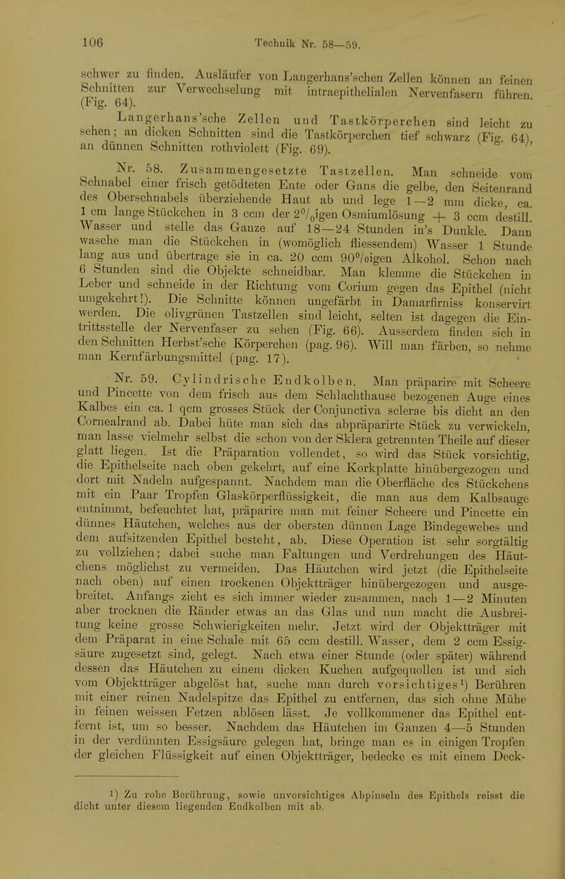 schwer zu finden. Ausläufer von Langerhans'.schen Zellen können an feinen Schnitten zur Verwechselung mit intraepithelialen Nervenfasern führen (Flg. 64). Langerhaus'sche Zellen und Tastkörperchen sind leicht zu sehen; au dicken Schnitten sind die Tastkörperchen tief schwarz (Fig 64) an dünnen Schnitten rothviolett (Fig. G9). Nr. r)8. Zusammengesetzte Tastzellen. Man schneide vom Schnabel einer frisch getödteten Ente oder Gans die gelbe, den Seitenrand des Oberschnabels überziehende Haut ab und lege 1—2 mm dicke, ca. 1 cm lange Stückchen in 3 ccm der 2^l(^\gen Osmiumlösung -f 3 ccm destill' Wasser und stelle das Ganze auf 18—24 Stunden in's Dunkle. Dann wasche man die Stückchen in (womöglich fliessendem) Wasser 1 Stunde laug aus und übertrage sie in ca. 20 ccm 900/oigen Alkohol. Schon nach 6 Stunden sind die Objekte schneidbar. Man klemme die Stückchen in Leber und schneide in der Sichtung vom Corium gegen das Epithel (nicht umgekehrt!). Die Schnitte können ungefärbt in Damarfirniss konservirt werden. Die olivgrünen Tastzellen sind leicht, selten ist dagegen die Ein- trittsstelle der Nervenfaser zu sehen (Fig. 66). Ausserdem finden .sich in den Schnitten Herbst'sche Körperchen (pag. 96). Will man färben, so nehme man Kernfärbungsmittel (pag. 17). Nr. 59. Cylindrische EndkoIben. Man präparire mit Scheere und Pincette von dem frisch aus dem Schlachthause bezogenen Auge eines Kalbes ein ca. 1 qcm grosses Stück der Conjunctiva sclerae bis dicht an den Cornealrand ab. Dabei hüte man sich das abpräparirte Stück zu verwickeln, man ksse vielmehr selbst die schon von der Sklera getrennten Theile auf dieser glatt liegen. ^ Ist die Präparation vollendet, so wird das Stück vorsichtig, die Epithelseite nach oben gekehrt, auf eine Korkplatte hinübergezogen und dort mit Nadeln aufgespannt. Nachdem man die Oberfläche des Stückchens mit ein Paar Tropfen Glaskörperflüssigkeit, die man aus dem Kalbsauge eiitnimint, befeuchtet hat, präparire man mit feiner Scheere und Pincette ein dünnes Häutcheu, welches aus der obersten dünnen Lage Bindegewebes und dem aufsitzenden Epithel besteht, ab. Diese Operation ist sehr sorgfältig zu vollziehen; dabei suche man Faltungen und Verdrehungen des Häut- chens möglichst zu vermeiden. Das Häutchen wird jetzt (die Epithelseite nach oben) auf einen trockenen Objektti-äger hinübergezogen und ausge- breitet. Anfangs zieht es sich immer wieder zusammen, nach 1 — 2 Minuten aber trocknen die Eänder etwas an das Glas und nun macht die Ausbrei- tung keine grosse Schwierigkeiten mehr. Jetzt wird der Objektträger mit dem Präparat in eine Schale mit 65 ccm destill. Wasser, dem 2 ccm Essig- säure zugesetzt sind, gelegt. Nach etwa einer Stunde (oder später) während dessen das Häutchen zu einem dicken Kuchen aufgequollen ist und sich vom Objektträger abgelöst hat, suche man durch vorsichtiges^) Berühren mit einer reinen Nadelspitze das Ei^ithel zu entfernen, das sich ohne Mühe in feinen weissen Fetzen ablösen lässt. Je vollkommener das Epithel ent- fernt ist, um so besser. Nachdem das Häutchen im Ganzen 4—5 Stunden in der verdünnten Essigsäure gelegen hat, bringe man es in einigen Tropfen der gleichen Flüssigkeit auf einen Objektträger, bedecke es mit einem Deck- 1) Zu rolie Berühniug, sowie unvorsichtiges Abpinseln des Epithels reisst die dicht unter diesem liegenden Endkolbeu mit ab.