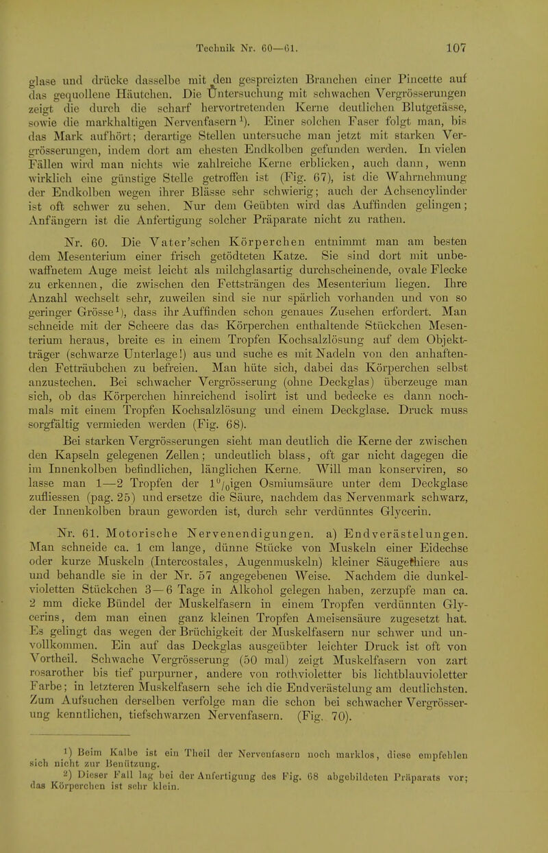 glase und cbücke dasselbe mit deu gespreizten Brauchen einer Pincette auf das gequollene Häutclien. Die Üntersuchung mit schwachen Vergrösserungen zeigt die dm-ch die scharf hervorti-etenden Kerne deutlichen Blutgetässe, sowie die markhaltigen Nervenfasern^). Einer solchen Faser folgt man, bi.s das Mark aufhört; derartige Stellen untersuche man jetzt mit starken Ver- grösserungen, indem dort am ehesten Endkolben gefunden werden. Li vielen Fällen wird man nichts wie zahlreiche Kerne erblickeji, auch dann, wenn wirklich eine günstige Stelle getroffen ist (Fig. 67), ist die Wahrnehmung der Endkolben wegen ihrer Blässe sehr schwierig; auch der Achsencylinder ist oft schwer zu sehen. Nur dem Geübten wird das Auffinden gelingen; Anfängern ist die Anfertigung solcher Präparate nicht zu rathen. Nr. 60. Die Vater'schen Körperchen entnimmt man am besten dem Mesenterium einer frisch getödteten Katze. Sie sind dort mit unbe- waffnetem Auge meist leicht als milchglasartig durchscheinende, ovale Flecke zu erkennen, die zwischen den Fettsträngen des Mesenterium liegen. Ihre Anzahl wechselt sehr, zuweilen sind sie nur spärlich vorhanden und von so geringer Grösse^), dass ihr Auffinden schon genaues Zuselien erfordert. Man schneide mit der Scheere das das Körperchen enthaltende Stückchen Mesen- terium heraus, breite es in einem Tropfen Kochsalzlösung auf dem Objekt- träger (schwarze Unterlage!) aus und suche es mit Nadeln von den anhaften- den Fetträubchen zu befreien. Man hüte sich, dabei das Körperchen selbst anzustechen. Bei schwacher Vergrösserung (ohne Deckglas) überzeuge man sich, ob das Körperchen hinreichend isolirt ist und bedecke es dami noch- mals mit einem Tropfen Kochsalzlösmig und einem Deckglase. Druck muss sorgfältig vermieden werden (Fig. 68). Bei starken Vergrösserungen sieht man deutlich die Kerne der zwischen den Kapseln gelegenen Zellen; undeutlich blass, oft gar nicht dagegen die im Innenkolben befindlichen, länglichen Kerne. Will man konserviren, so lasse man 1—2 Tropfen der l/oigen Osmiumsäure unter dem Deckglase zufliessen (pag. 25) und ersetze die Säure, nachdem das Nervenmark schwarz, der Innenkolben braun geworden ist, durch sehr verdünntes Glycerin. Nr. 61. Motorische Nervenendigungen, a) Endverästelungen. Man schneide ca. 1 cm lauge, dünne Stücke von Muskeln einer Eidechse oder kurze Muskeln (Intercostales, Augenmuskeln) kleiner Säugefihiere aus und behandle sie in der Nr. 57 angegebeneu Weise. Nachdem die dunkel- violetten Stückchen 3—6 Tage in Alkohol gelegen haben, zerzupfe man ca. 2 mm dicke Bündel der Muskelfasern in einem Tropfen verdünnten Gly- cerins, dem man einen ganz kleinen Tropfen Ameisensäure zugesetzt hat. Es gelingt das wegen der Brüchigkeit der Muskelfasern nur schwer und un- vollkommen. Ein auf das Deckglas ausgeübter leichter Druck ist oft von Vortheil. Schwache Vergrösserung (50 mal) zeigt Muskelfasern von zart rosarother bis tief purpurner, andere von rothvioletter bis lichtblauvioletter Farbe; in letzteren Muskelfasern sehe ich die Endverästelung am deutlichsten. Zum Aufsuchen derselben verfolge man die schon bei schwacher Vergrösser- ung kenntlichen, tiefschwarzen Nervenfasern. (Fig. 70). 1) Beim Kalbe ist ein Theil der Nervenfasern noch marldos, diese empfehlen sich nicht zur Heuiitzung. 2) Dieser Fall lag bei der Anfertigung des Fig. 68 abgebildeten Präparats vor; das Körperciien ist sehr klein.