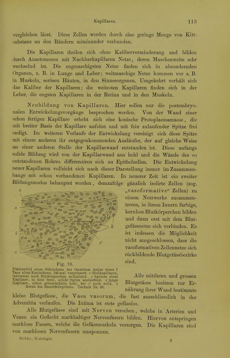 vergleiclien lässt. Diese Zellen werden durch eine geringe Menge von Kitt- substanz an den Rändern miteinander verbunden. Die Kapillaren theilen sicli obne Kaliberverminderung und bilden durch Anastomosen mit Nachbarkapillaren Netze, deren Maschenweite sehr wechselnd ist. Die engmaschigsten Netze finden sich in absondernden Organen, z. B. in Lunge und Leber; weitmaschige Netze kommen vor z. B, in Muskeln, serösen Häuten, in den Sinnesorganen, Umgekehrt verhält sich das Kaliber der Kapillaren; die weitesten Kapillaren finden sich in der Leber, die engsten Kapillaren in der Retina und in den Muskeln. Neubildung von Kapillaren. Hier sollen nur die postembryo- nalen Entwickelungsvorgänge besprochen werden. Von der Wand einer schon fertigen Kapillare erhebt sich eine konische Protoplasmamasse, die mit breiter Basis der Kapillare aufsitzt und mit fein zulaufender Spitze frei endigt. Im weiteren Verlaufe der Entwickelung vereinigt sich diese Spitze mit einem anderen ihr entgegenkommenden Ausläufer, der auf gleiche Weise an einer anderen Stelle der Kapillarwand entstanden ist. Diese anfangs solide Bildung wu-d von der Kapillarwand aus hohl und die Wände des so entstandenen Rohres differenziren sich zu Epithelzellen, Die Entwickelung neuer Kapillaren vollzieht sich nach dieser Darstellung immer im Zusammen- hange mit schon vorhandenen Kapillaren, In neuerer Zeit ist ein zweiter Bildungsmodus behauptet worden, demzufolge gänzlich isolirte Zellen (sog. Fig. 78. Plächentild eines Stückchens des Omentum ma.jus eines 7 Tapro alten Kaninchens. 240mal vorgrössert. c BlutlcapiIlaren, theilweiso noch Blutkörperchen enthaltend, s Sprosse einer Kapillare, in eine freie, solide Spitze auslaufend, i junge Kapillare, schon grösstentheils hohl, bei noch solid, /c Kerne des ßauchfellepithels. Technik Nr. 66. „vasoformative Zellen) zu einem Netzwerke zusammen- treten, in ihrem Innern farbige, kernlose Blutkörperchen bilden und dann erst mit dem Blut- gefässnetze sich verbinden. Es ist indessen die Möglichkeit nicht ausgeschlossen, dass die vasoformativen Zellennetze sich rückbildende Blutgeiässbezirke sind. Alle mittleren und grossen Blutgetässe besitzen zur Er- nährung ihrer Wand bestimmte kleine Blutgefässe, die Vasa vasorum, die fast ausschliesslich in der Adventitia verlaufen. Die Intima ist stets gefässlos. Alle Blutgefässe sind mit Nerven versehen, welche in Arterien und Venen ein Geflecht markhaltiger Nervenfasern bilden. Hiervon entspringen marklose Fasern, welche die Gefässmuskeln versorgen. Die Kapillaren sind von marklosen Nervenfasern umsponnen. Stuhr, Histologie. o
