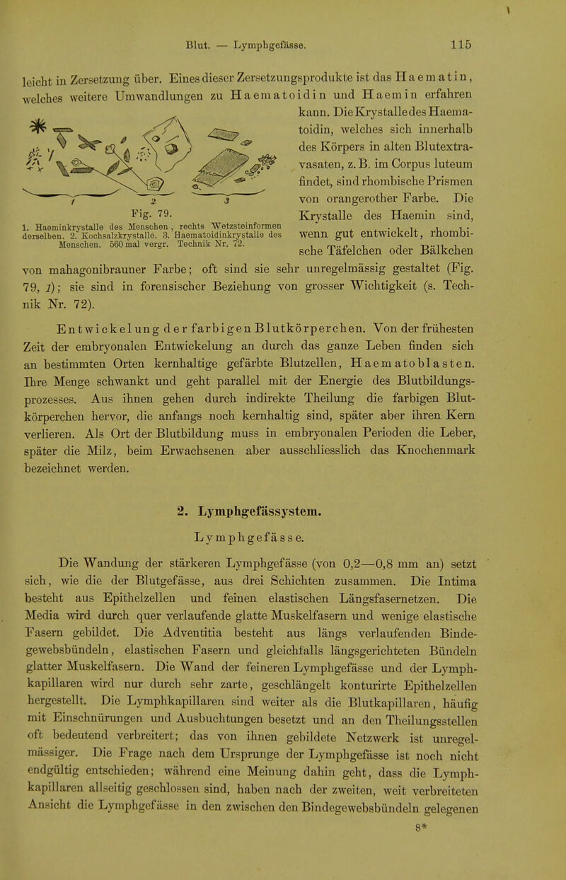 leicht in Zersetzung über. Eines dieser Zersetzungsprodukte ist das H a e m a t i n, welches weitere Umwandlungen zu Haematoidin und Haemin erfahren kann. DieKrystalledes Haema- toidin, Avelches sich innerhalb des Körpers in alten Blutextra- vasaten, z. B. im Corpus luteum findet, sind rhombische Prismen von orangerother Farbe. Die Krystalle des Haemin sind, wenn gut entwickelt, rhombi- sche Täfelchen oder Bälkchen von mahagonibrauner Farbe; oft sind sie sehr unregelmässig gestaltet (Fig. 79, i); sie sind in forensischer Beziehung von grosser Wichtigkeit (s. Tech- nik Nr. 72). Entwickelungder farbigen Blutkörperchen. Von der frühesten Zeit der embryonalen Entwickelung an durch das ganze Leben finden sich an bestimmten Orten kernhaltige gefärbte Blutzellen, Haematoblasten. Ihre Menge schwankt und geht parallel mit der Energie des Blutbildungs- prozesses. Aus ihnen gehen durch indirekte Theilung die farbigen Blut- körperchen hervor, die anfangs noch kernhaltig sind, später aber ihren Kern verlieren. Als Ort der Blutbildung muss in embryonalen Perioden die Leber, später die Milz, beim Erwachsenen aber ausschliesslich das Knochenmark bezeichnet werden. 2. Lymphgefässystem. Ly mphgefäss e. Die Wandung der stärkeren Lymphgefässe (von 0,2—0,8 mm an) setzt sich, wie die der Blutgefässe, aus drei Schichten zusammen. Die Intima besteht aus Epithelzellen und feinen elastischen Längsfasernetzen. Die Media wird durch quer verlaufende glatte Muskelfasern und wenige elastische Fasern gebildet. Die Adventitia besteht aus längs verlaufenden Binde- gewebsbündeln, elastischen Fasern und gleichfalls längsgerichteten Bündeln glatter Muskelfasern. Die Wand der feineren Lymphgefässe und der Lymph- kapillaren wird nur durch sehr zarte, geschlängelt konturirte Epithelzellen hergestellt. Die Lymphkapillaren sind weiter als die Blutkapillaren, häufig mit Einschnürungen und Ausbuchtungen besetzt und an den Theilungsstellen oft bedeutend verbreitert; das von ihnen gebildete Netzwerk ist unregel- mässiger. Die Frage nach dem Ursprünge der Lymphgefässe ist noch nicht endgültig entschieden; während eine Meinung dahin geht, dass die Lymph- kapillaren allseitig geschlossen sind, haben nach der zweiten, weit verbreiteten Ansicht die Lymphgefässe in den zwischen den Bindegewebsbündeln gelegenen 8* / Z 3 Fig. 79. 1. Haeminicrystalle des Menschen , rechts Wetzsteinformen derselben. 2. Kochsalzkrystalle. 3. Haematoidinkrystaile des Menschen. 560 mal vergr. Technik Nr. 72.