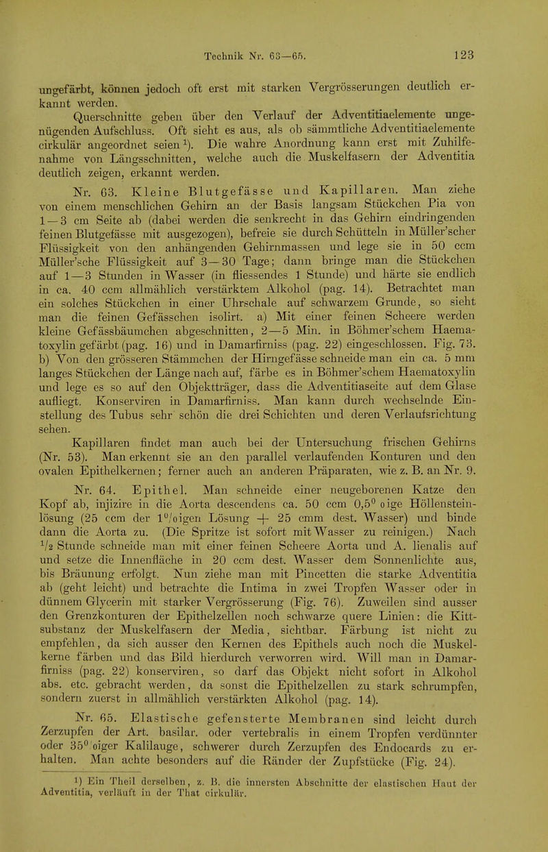 ungefärbt, können jedoch oft erst mit starken Vergrösserungen deutlich er- kannt werden. Querschnitte geben über den Verlauf der Adventitiaeleraente unge- nügenden Aufschluss. Oft sieht es aus, als ob sämmtliche Adventitiaelemente ch-kulär angeordnet seien Die wahre Anordnung kann erst mit Zuhilfe- nahme von Längsschnitten, welche auch die Muskelfasern der Adventitia deutlich zeigen, erkannt werden. Nr. 63. Kleine Blutgefässe und Kapillaren. Man ziehe von einem menschlichen Gehirn an der Basis langsam Stückchen Pia von 1 — 3 cm Seite ab (dabei werden die senkrecht in das Gehirn eindringenden feinen Blutgefässe mit ausgezogen), befreie sie durch Schütteln in Müller'scher Flüssigkeit von den anhängenden Gehirnmassen und lege sie in 50 ccm Müller'sche Flüssigkeit auf 3—30 Tage; dann bringe man die Stückchen auf 1 — 3 Stunden in Wasser (in fliessendes 1 Stunde) und härte sie endlich in ca. 40 ccm allmählich verstärktem Alkohol (pag. 14). Betrachtet man ein solches Stückchen in einer Uhrschale auf schwarzem Grunde, so sieht man die feinen Gefässchen isolirt. a) Mit einer feinen Scheere Averden kleine Gefässbäumchen abgeschnitten, 2 — 5 Min. in Böhmer'schem Haema- toxylin gefärbt (pag. 16) und in Damarfirniss (pag. 22) eingeschlossen. Fig. 73. b) Von den grösseren Stämmchen der Hirngef ässe schneide man ein ca. 5 mm langes Stückchen der Länge nach auf, färbe es in Böhmer'schem Haematoxylin und lege es so auf den Objektträger, dass die Adventitiaseite auf dem Glase aufliegt. Konserviren in Damarfu-niss. Man kann durch wechselnde Ein- stellung des Tubus sehr schön die drei Schichten und deren Verlaufsrichtung sehen. Kapillaren findet man auch bei der Untersuchung frischen Gehirns (Nr. 53). Man erkennt sie an den parallel verlaufenden Konturen und den ovalen Epithelkernen; ferner auch an anderen Präparaten, wie z. B. an Nr. 9. Nr. 64. Epithel. Man schneide einer neugeborenen Katze den Kopf ab, injizire in die Aorta descendens ca. 50 ccm 0,5*^ oige Höllenstein- lösung (25 ccm der l/oigen Lösung -|- 25 cmm dest. Wasser) und binde dann die Aorta zu. (Die Spritze ist sofort mit Wasser zu reinigen.) Nach Stunde schneide man mit einer feinen Scheere Aorta und A. lienalis auf und setze die Lmenfläche in 20 ccm dest. AVasser dem Sonnenlichte aus, bis Bräunung erfolgt. Nun ziehe man mit Pincetten die starke Adventitia ab (geht leicht) mid betrachte die Litima in zwei Tropfen Wasser oder in dünnem Glycerin mit starker Vergrösserung (Fig. 76). Zuweilen sind ausser den Grenzkonturen der Epithelzellen noch schwarze quere Linien: die Kitt- substanz der Muskelfasern der Media, sichtbar. Färbung ist nicht zu empfehlen, da sich ausser den Kernen des Epithels auch noch die Muskel- kerne färben und das Bild hierdurch verworren wird. Will man in Damar- firniss (pag. 22) konserviren, so darf das Objekt nicht sofort in Alkohol abs. etc. gebracht werden, da sonst die Epithelzellen zu stark schrumpfen, sondern zuerst in allmählich verstärkten Alkohol (pag. 14). Nr. 65. Elastische gefensterte Membranen sind leicht durch Zerzupfen der Art. basilar. oder vertebralis in einem Tropfen verdünnter oder 35*^ oiger Kalilauge, schwerer durch Zerzupfen des Endocards zu er- halten. Man achte besonders auf die Ränder der Zupfstücke (Fig. 24). 1) Ein Theil derselben, z. B. die innersten Abschnitte der elastischen Haut der Adventitia, verläuft in der That cirkulilr.