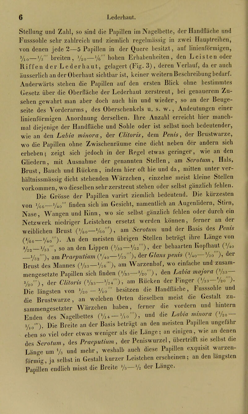 Stellung und Zahl, so sind die Papillen im Nagelbette, der Handfläche und Fusssohle sehr zahlreich und ziemlich regelmässig in zwei Hauptreihen, von denen jede 2—5 Papillen in der Quere besitzt, auf linienförmigen, y10—]/3' breiten, y20—V«' hohen Erhabenheiten, den Leisten oder Riffen der Lederhaut, gelagert (Fig. 3), deren Verlauf, da er auch äusserlich an der Oberhaut sichtbar ist, keiner weitern Beschreibung bedarl. Anderwärts stehen die Papillen auf den ersten Blick ohne bestimmtes Gesetz über die Oberfläche der Lederhaut zerstreut, bei genauerem Zu- sehen gewahrt man aber doch auch hin und wieder, so an der Beuge- seite des Vorderarms, des Oberschenkels u. s. w., Andeutungen einer linienförmigen Anordnung derselben. Ihre Anzahl erreicht hier manch- mal diejenige der Handfläche und Sohle oder ist selbst noch bedeutender, wie an den Labia minora, der Clitoris, dem Penis, der Brustwarze, wo die Papillen ohne Zwischenräume eine dicht neben der andern sich erheben; zeigt sich jedoch in der Regel etwas geringer, wie an den Gliedern, mit Ausnahme der genannten Stellen, am Scrotum, Hals, Brust, Bauch und Rücken, indem hier oft hie und da, mitten unter \er- hältnissmässig dicht stehenden Wärzchen, einzelne meist kleine Stellen Vorkommen, wo dieselben sehr zerstreut stehen oder selbst gänzlich fehlen. Die Grösse der Papillen varirt ziemlich bedeutend. Die kürzesten voa y66—y40' finden sich im Gesicht, namentlich an Augenlidern, Stirn, Nase, Wangen und Kinn, wo sie selbst gänzlich fehlen oder durch ein Netzwerk niedriger Leistchen ersetzt werden können, ferner an der weiblichen Brust (Vso—Veo'), am Scrotmn und der Basis des Penis (ijg6 y40'). An den meisten übrigen Stellen beträgt ihre Länge von y22—V33', so an den Lippen (y32—Vaa'), der behaarten Kopfhaut (y40 ^.yi2'), am Praeputium ('/40- -%5 '), der Glans penis (y40—’Ao )? der Brust des Mannes' (y33—Yae'), am Warzenhof, wo einfache und zusam- mengesetzte Papillen sich Gnden (y83—V20), den Labia majora (Vy— y20') , der Clitoris (y33—x/2/), am Rücken der Finger (x/33—Vao')- Die längsten von y20 — Vlo' besitzen die Handfläche, Fusssohle und die Brustwarze, an welchen Orten dieselben meist die Gestalt zu- sammengesetzter Wärzchen haben, ferner die vordem und hinlern Enden des Nagelbettes (y14 — W), und die Labia minora (V20 — yJ0'). Die Breite an der Basis beträgt an den meisten Papillen ungefähr eben so viel oder etwas weniger als die Länge; an einigen, wie an denen des Scrotum, des Praeputium, der Peniswurzel, überlrifft sic selbst die Län-e um % und mehr, weshalb auch diese Papillen exquisit warzen- förmig, ja selbst in Gestalt kurzer Leistchen erscheinen; an den längsten Papillen endlich misst die Breite J/3—x/2 der Lange.