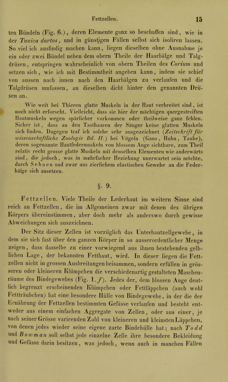 ten Bündeln (Fig. 6.), deren Elemente ganz so beschaffen sind, wie in der Tunica dartos, und in günstigen Fällen selbst sich isoliren lassen. So viel ich ausfindig machen kann, liegen dieselben ohne Ausnahme je ein oder zwei Bündel neben dem obern Theile der Haarbälge und Talg- drüsen, entspringen wahrscheinlich von obern Theilen des Corium und setzen sich , wie ich mit Bestimmtheit angeben kann, indem sie schief von aussen nach innen nach den Haarbälgen zu verlaufen und die Talgdrüsen umfassen, an dieselben dicht hinter den genannten Drü- sen an. Wie weit bei Thieren glatte Muskeln in der Haut verbreitet sind, ist noch nicht erforscht. Vielleicht, dass sie hier der mächtigen quergestreiften Hautmuskeln wegen spärlicher Vorkommen oder theilweise ganz fehlen. Sicher ist, dass an den Tasthaaren der Säuger keine glatten Muskeln sich finden. Dagegen traf ich solche sehr ausgezeichnet {Zeitschrift für wissenschaftliche Zoologie Bd. //.) hei Vögeln (Gans , Huhn, Taube), deren sogenannte Hautfedermuskeln von blossem Auge sichtbare, zum Theil relativ recht grosse glatte Muskeln mit denselben Elementen wie anderwärts sind, die jedoch, was in mehrfacher Beziehung unerwartet sein möchte, durch Sehnen und zwar aus zierlichem elastischen Gewebe an die Feder- bälge sich ansetzen. §. 9. Fettzellen. Viele Theile der Lederhaut im weitern Sinne sind reich an Fellzellen, die im Allgemeinen zwar mit denen des übrigen Körpers übereinstimmen, aber doch mehr als anderswo durch gewisse Abweichungen sich auszeichnen. Der Sitz dieser Zellen ist vorzüglich das Unterhautzellgewebe, in dem sie sich fast über den ganzen Körper in so ausserordentlicher Menge zeigen, dass dasselbe zu einer vorwiegend aus ihnen bestehenden gelb- lichen Lage, der bekannten Fetthaut, wird. In dieser liegen die Fett- zellen nicht in grossen Ausbreitungen beisammen, sondern erfüllen in grös- seren oder kleineren Klümpchen die verschiedenartig gestalteten Maschen- räume des Bindegewebes (Fig. 1./). Jedes der, dem blossen Auge deut- lich begrenzt erscheinenden Klümpchen oder Fettläppchen (auch wohl Fetlträubchen) hat eine besondere Hülle von Bindegewebe, in der die der Ernährung der Fettzellen bestimmten Gefässe verlaufen und besieht ent- weder aus einem einfachen Aggregate von Zellen, oder aus einer, je nach seiner Grösse varirenden Zahl von kleineren und kleinsten Läppchen, von denen jedes wieder seine eigene zarte Bindehülle hat; nach Todd und Bo tvman soll selbst jede einzelne Zelle ihre besondere Bekleidung und Gefässe darin besitzen, was jedoch, wenn auch in manchen Fällen