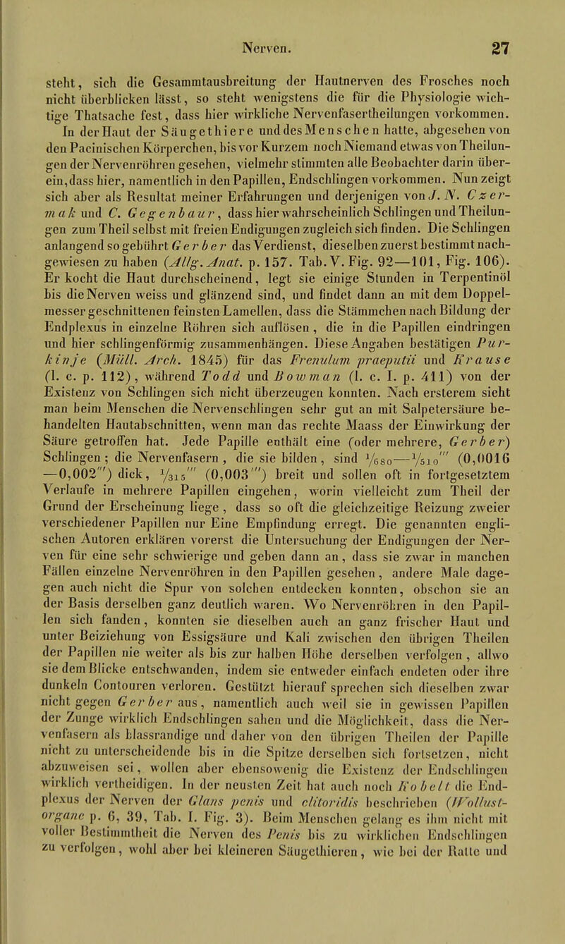 steht, sich die Gesammtausbreitung der Hautnerven des Frosches noch nicht überblicken lässt, so steht wenigstens die für die Physiologie wich- tige Thatsache lest, dass hier wirkliche Nervenfasertheilungen Vorkommen. In der Haut der Süugethiere und desMen sehe n hatte, abgesehen von den Pacinischen Körperchen, bis vor Kurzem noch Niemand etwas von Theilun- gen der Nervenröhren gesehen, vielmehr stimmten alle Beobachter darin über- ein,dass hier, namentlich in den Papillen, Endscldingen Vorkommen. Nun zeigt sich aber als Resultat meiner Erfahrungen und derjenigen von J.N. Czer- mak und C. Gegenbau r, dass hier wahrscheinlich Schlingen und Theilun- gen zum Theil selbst mit freien Endigungen zugleich sich finden. Die Schlingen anlangend so gebührt Gerber das Verdienst, dieselben zuerst bestimmt nach- gewiesen zu haben (Allg. Anat. p. 157. Tab.V. Fig. 92—101, Fig. 106). Er kocht die Haut durchscheinend, legt sie einige Stunden in Terpentinöl bis die Nerven weiss und glänzend sind, und findet dann an mit dem Doppel- messergeschnittenen feinsten Lamellen, dass die Slämmchen nach Bildung der Endplexus in einzelne Röhren sich auflösen , die in die Papillen eindringen und hier schlingenförmig Zusammenhängen. Diese Angaben bestätigen Pur- kinje (Müll. Arch. 1845) für das Frenulum praeputii und Krause (1. c. p. 112), während Todd und Bowman (1. c. I. p. 411) von der Existenz von Schlingen sich nicht überzeugen konnten. Nach ersterem sieht man beim Menschen die Nervenschlingen sehr gut an mit Salpetersäure be- handelten Hautabschnitten, wenn man das rechte Maass der Einwirkung der Säure getrofTen hat. Jede Papille enthält eine (oder mehrere, Gerber) Schlingen ; die Nervenfasern , die sie bilden , sind y680—1/no (0,0016 — 0,002 ') dick, y315' (0,003') breit und sollen oft in fortgesetztem Verlaufe in mehrere Papillen eingehen, worin vielleicht zum Theil der Grund der Erscheinung liege , dass so oft die gleichzeitige Reizung zweier verschiedener Papillen nur Eine Empfindung erregt. Die genannten engli- schen Autoren erklären vorerst die Untersuchung der Endigungen der Ner- ven für eine sehr schwierige und gehen dann an, dass sie zwar in manchen Fällen einzelne Nervenröhren in den Papillen gesehen, andere Male dage- gen auch nicht die Spur von solchen entdecken konnten, obschon sie an der Basis derselben ganz deutlich waren. Wo Nervenröhren in den Papil- len sich fanden , konnten sie dieselben auch an ganz frischer Haut und unter Beiziehung von Essigsäure und Kali zwischen den übrigen Theilen der Papillen nie weiter als bis zur halben Höhe derselben verfolgen , allwo sie dem Blicke entschwanden, indem sie entweder einfach endeten oder ihre dunkeln Conlouren verloren. Gestützt hierauf sprechen sich dieselben zwar nicht gegen Gerber aus, namentlich auch weil sie in gewissen Papillen der Zunge wirklich Endschlingen sahen und die Möglichkeit, dass die Ner- venfasern als blassrandige und daher von den übrigen Theilen der Papille nicht zu unterscheidende bis in die Spitze derselben sich fortsetzen, nicht abzuweisen sei, wollen aber ebensowenig die Existenz der Endschlingen wirklich vertheidigen. ln der neusten Zeit hat auch noch Kobelt. die End- plexus der Nerven der Glans penis und eU.torid.is beschrieben ('Wollust-- organe p. 6, 39, Tab. I. Fig. 3). Beim Menschen gelang es ihm nicht mit voller Bestimmtheit die Nerven des Penis bis zu wirklichen Endschlingen zu verfolgen, wohl aber hei kleineren Säugelhieren, wie hei der Ralle und
